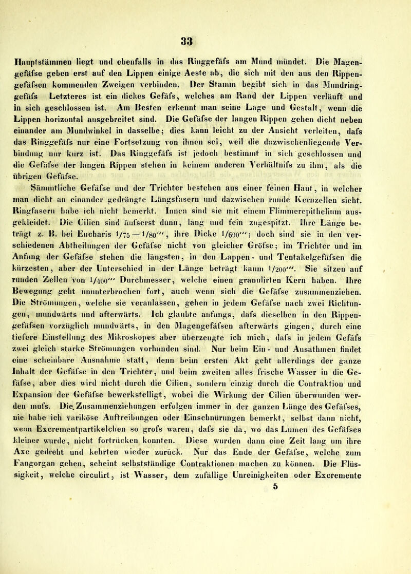 Haupl Stämmen liegt und ebenfalls in das Ringgefäfs am Mund mündet. Die Magcn- gefäfse geben erst auf den Lippen einige Aeste ab, die sich mit den aus den Rippen- gefäfsen kommenden Zweigen verbinden. Der Stamm begibt sich in das Mundring- gefäfs Letzteres ist ein dickes Gefäfs, welches am Rand der Lippen verläuft und in sich geschlossen ist. Am Besten erkennt man seine Lage und Gestalt, wenn die Lippen horizontal ausgebreitet sind. Die Gefäfse der langen Rippen geben dicht neben einander am Mundwinkel in dasselbe; dies kann leicht zu der Ansicht verleiten, dafs das Ringgefäfs nur eine Fortsetzung von ihnen sei, weil die dazwischenliegende Ver- bindung nur kurz ist. Das Ringgefäfs ist jedoch bestimmt in sich geschlossen und die Gefäfse der langen Rippen stehen in keinem anderen Verhältnis zu ihm, als die übrigen Gefäfse. Sämmtliche Gefäfse und der Trichter bestehen aus einer feinen Haut, in welcher man dicht an einander gedrängte Längsfasern und dazwischen runde Kernzellen sieht. Ringfasern habe ich nicht bemerkt. Innen sind sie mit einem Fliinmerepithelinm aus- gekleidet. Die Cilien sind äufserst dünn, lang und fein zugespifzt. Ihre Länge be- trägt z. B. bei Eucharis I/75 —1/80', ihre Dicke 1/600'; doch sind sie in den ver- schiedenen Abtheilungen der Gefäfse nicht von gleicher Gröfse; im Trichter und im Anfang der Gefäfse stehen die längsten, in den Lappen- und Tentakelgefäfsen die kürzesten, aber der Unterschied in der Länge beträgt kaum 1/200'. Sie sitzen auf runden Zellen von I/400' Durchmesser, welche einen granulirten Kern haben. Ihre Bewegung geht ununterbrochen fort, auch wenn sich die Gefäfse zusammenziehen. Die Strömungen, welche sie veranlassen, gehen in jedem Gefäfse nach zwei Richtun- gen, mundwärts und afterwärts. Ich glaubte anfangs, dafs dieselben in den Rippen- gefiifsen vorzüglich mundwärts, in den Magengefäfsen afterwärts gingen, durch eine tiefere Einstellung des Mikroskopes aber überzeugte ich mich, dafs in jedem Gefäfs zwei gleich starke Strömungen vorhanden sind. Nur heim Ein - und Ausathmen findet eine scheinbare Ausnahme statt, denn beim ersten Akt geht allerdings der ganze Inhalt der Gefäfse in den Trichter, und heim zweiten alles frische Wasser in die Ge- fäfse, aber dies wird nicht durch die Cilien, sondern einzig durch die Contraktiou und Expansion der Gefäfse bewerkstelligt, wobei die Wirkung der Cilien überwunden wer- den mufs. Die. Zusammenziehungen erfolgen immer in der ganzen Länge des Gefäfses, nie habe ich variköse Auftreibungen oder Einschnürungen bemerkt, selbst dann nicht, wenn Excrementpartikelchen so grofs waren, dafs sie da, wo das Lumen des Gefäfses kleiner wurde, nicht fortrücken konnten. Diese wurden dann eine Zeit lang um ihre Axe gedreht und kehrten wieder zurück. Nur das Ende der Gefäfse, welche zum Fangorgan gehen, scheint selbstständige Contraktionen machen zu können. Die Flüs- sigkeit, welche circulirt, ist Wasser, dem zufällige Unreinigkeiten oder Excremeute 5