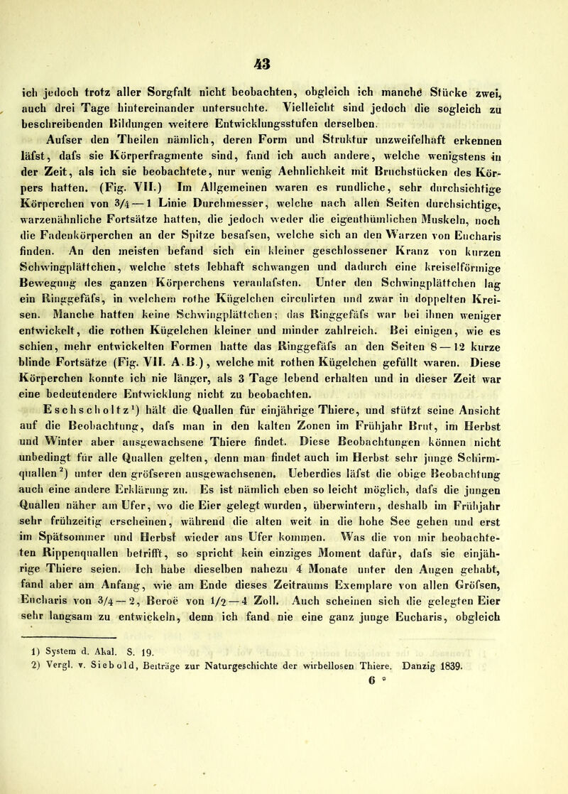 ich jedoch trotz aller Sorgfalt nicht beobachten, obgleich ich manche Stücke zwei, auch drei Tage hintereinander untersuchte. Vielleicht sind jedoch die sogleich zu beschreibenden Bildungen weitere Entwicklungsstufen derselben. Aufser den Theilen nämlich, deren Form und Struktur unzweifelhaft erkennen läfst, dafs sie Körperfragmente sind, fand ich auch andere, welche wenigstens in der Zeit, als ich sie beobachtete, nur wenig Aehnlichkeit mit Bruchstücken des Kör- pers hatten. (Fig. VII.) Im Allgemeinen waren es rundliche, sehr durchsichtige Körperchen von 3/4— 1 Linie Durchmesser, welche nach allen Seiten durchsichtige, warzenähnliche Fortsätze hatten, die jedoch weder die eigentümlichen Muskeln, noch die Fadenkörperchen an der Spitze besafsen, welche sich an den Warzen von Eucharis finden. An den meisten befand sich ein kleiner geschlossener Kranz von kurzen Schwingplättchen, welche stets lebhaft schwangen und dadurch eine kreiselförmige Bewegung des ganzen Körperchens veranlafstcn. Unter den Schwingplättchen lag ein Ringgefäfs, in welchem rothe Kügelchen circulirten und zwar in doppelten Krei- sen. Manche hatten keine Schwingplättchen; das Ringgefäfs war hei ihnen weniger entwickelt, die rothen Kügelchen kleiner und minder zahlreich. Bei einigen, wie es schien, mehr entwickelten Formen hatte das Hinggefäfs an den Seiten 8 —12 kurze blinde Fortsätze (Fig. VH. AB), welche mit rothen Kügelchen gefüllt waren. Diese Körperchen konnte ich nie länger, als 3 Tage lebend erhalten und in dieser Zeit war eine bedeutendere Entwicklung nicht zu beobachten. Eschs choltz1) hält die Quallen für einjährige Thiere, und stützt seine Ansicht auf die Beobachtung, dafs man in den kalten Zonen im Frühjahr Brut, im Herbst und Winter aber ausgewachsene Thiere findet. Diese Beobachtungen können nicht unbedingt für alle Quallen gelten, denn man findet auch im Herbst sehr junge Schirm- quallen2) unter den gröfseren ausgewachsenen. Ueberdics läfst die obige Beobachtung auch eine andere Erklärung zu. Es ist nämlich eben so leicht möglich, dafs die jungen Quallen näher am Ufer, wo die Eier gelegt wurden, überwintern, deshalb im Frühjahr sehr frühzeitig erscheinen, während die alten weit in die hohe See gehen und erst im Spätsommer und Herbst wieder ans Ufer kommen. Was die von mir beobachte- ten Rippenquallen betrifft, so spricht kein einziges Moment dafür, dafs sie einjäh- rige Thiere seien. Ich habe dieselben nahezu 4 Monate unter den Augen gehabt, fand aber am Anfang, wie am Ende dieses Zeitraums Exemplare von allen Gröfsen, Eucharis von 3/4 — 2, Beroe von 1/2 — 4 Zoll. Auch scheinen sich die gelegten Eier sehr langsam zu entwickeln, denn ich fand nie eine ganz junge Eucharis, obgleich 1) System d. Altai. S. 19. 2) Vergl. v. Sieb old, Beitrage zur Naturgeschichte der wirbellosen Thiere, Danzig 1839. 6 *