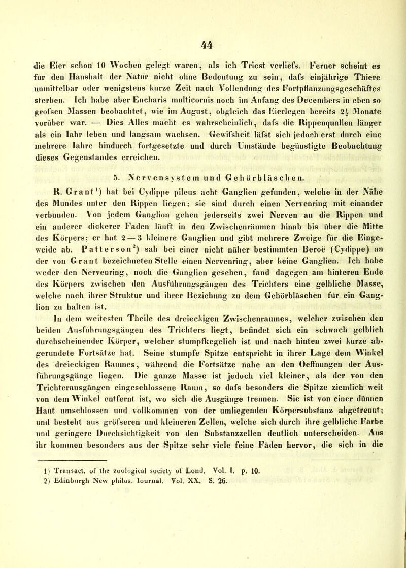 die Eier schon 10 Wochen gelebt, waren, als ich Triest vcrliefs. Ferner scheint es für den Haushalt der Natur nicht, ohne Bedeutung zu sein, dafs einjährige Thiere unmittelbar oder wenigstens kurze Zeit nach Vollendung des Fortpflanzungsgeschäftes sterben. Ich habe aber Eucharis multicornis noch im Anfang des Decembers in eben so grofsen Massen beobachtet, wie im August, obgleich das Eierlegen bereits 2^ Monate vorüber war. — Dies Alles macht es wahrscheinlich, dafs die Rippenquallen länger als ein Iahr leben und langsam wachsen. Gewifsheit läfst sich jedoch erst durch eine mehrere Iahre hindurch fortgesetzte und durch Umstände begünstigte Beobachtung dieses Gegenstandes erreichen. 5. Nervensystem und Gehörbläschen. R. Grant1) hat bei Cydippe pileus acht Ganglien gefunden, welche in der Nähe des Mundes unter den Rippen liegen; sie sind durch einen Nervenring mit einander verbunden. \ on jedem Ganglion gehen jederseits zwei Nerven an die Rippen und ein anderer dickerer Faden läuft in den Zwischenräumen hinab bis über die Mitte des Körpers; er hat 2 — 3 kleinere Ganglien und gibt mehrere Zweige für die Einge- weide ab. Patterson2) sah bei einer nicht näher bestimmten Beroe (Cydippe) an der von Grant bezeichneten Stelle einen Nervenring, aber keine Ganglien. Ich habe weder den Nerveuring, noch die Ganglien gesehen, fand dagegen am hinteren Ende des Körpers zwischen den Ausführungsgängen des Trichters eine gelbliche Masse, welche nach ihrer Struktur und ihrer Beziehung zu dem Gehörbläschen für ein Gang- lion zu halten ist. ln dem weitesten Theile des dreieckigen Zwischenraumes, welcher zwischen den beiden Ausführungsgängen des Trichters liegt, befindet sich ein schwach gelblich durchscheinender Körper, welcher stuinpfkegelich ist und nach hinten zwei kurze ab- gerundete Fortsätze hat. Seine stumpfe Spitze entspricht in ihrer Lage dem Winkel des dreieckigen Raumes, während die Fortsätze nahe an den Oeffnungen der Aus- führungsgänge liegen. Die ganze Masse ist jedoch viel kleiner, als der von den Trichterausgängen eingeschlossene Raum, so dafs besonders die Spitze ziemlich weit von dem Winkel entfernt ist, wo sich die Ausgänge trennen. Sie ist von einer dünnen Haut umschlossen und vollkommen von der umliegenden Körpersubstanz abgetrennt; und besteht aus gröfseren und kleineren Zellen, welche sich durch ihre gelbliche Farbe und geringere Durchsichtigkeit von den Substanzzellen deutlich unterscheiden. Aus ihr kommen besonders aus der Spitze sehr viele feine Fäden hervor, die sich in die 1) Transact. of the zoological society of Lond. Vol. I. p. 10. 2) Edinburgh New philos. Iournal, Vol. XX. S, 26.