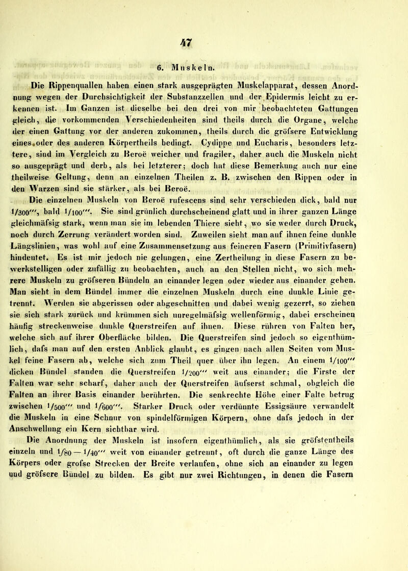6. Muskeln. Die Rippenquallen haben einen stark ausgeprägten Muskelapparat, dessen Anord- nung wegen der Durchsichtigkeit der Substanzzellen und der Epidermis leicht zu er- kennen ist. Im Ganzen ist dieselbe bei den drei von mir beobachteten Gattungen gleich, die vorkommenden Verschiedenheiten sind theils durch die Organe, welche der einen Gattung vor der anderen zukommen, theils durch die gröfsere Entwicklung eines«oder des anderen Körpertheils bedingt. Cydipne und Eucharis, besonders letz- tere, sind im Vergleich zu Beroe weicher und fragiler, daher auch die Muskeln nicht so ausgeprägt und derb, als hei letzterer; doch hat diese Bemerkung auch nur eine theilweise Geltung, denn an einzelnen Theilen z. B. zwischen den Rippen oder in den Warzen sind sie stärker, als bei Beroe. Die einzelnen Muskeln von Beroe rufescens sind sehr verschieden dick, bald nur 1/300', bald 1 /100'- Sie sind grünlich durchscheinend glatt und in ihrer ganzen Länge gleichmäfsig stark, wenn man sie im lebenden Thicre siebt, wo sie weder durch Druck, noch durch Zerrung verändert worden sind. Zuweilen sieht man auf ihnen feine dunkle Längslinien, was wohl auf eine Zusammensetzung aus feineren Fasern (Primitivfasern) hindeutet. Es ist mir jedoch nie gelungen, eine Zertheilung in diese Fasern zu be- werkstelligen oder zufällig zu beobachten, auch an den Stellen nicht, wo sich meh- rere Muskeln zu gröfseren Bündeln an einander legen oder wieder aus einander gehen. Man sieht in dem Bündel immer die einzelnen Muskeln durch eine dunkle Linie ge- trennt. Werden sic abgerissen oder abgeschnitten und dabei wenig gezerrt, so ziehen sie sich stark zurück und krümmen sich unregelmäfsig wellenförmig, dabei erscheinen häufig streckenweise dunkle Querstreifen auf ihnen. Diese rühren von Falten her, welche sich auf ihrer Oberfläche bilden. Die Querstreifen sind jedoch so eigcnthüin- lich, dafs man auf den ersten Anblick glaubt, es gingen nach allen Seiten vom Mus- kel feine Fasern ab, welche sich zum Theil quer über ihn legen. An einem l/ioo' dicken Bündel standen die Querstreifen 1/200' weit aus einander; die Firste der Falten war sehr scharf, daher auch der Querstreifen äufserst schmal, obgleich die Falten an ihrer Basis einander berührten. Die senkrechte Höbe einer Falte betrug zwischen I/500' und 1/600'. Starker Druck oder verdünnte Essigsäure verwandelt die Muskeln in eine Schnur von spindelförmigen Körpern, ohne dafs jedoch in der Anschwellung ein Kern sichtbar wird. Die Anordnung der Muskeln ist insofern eigenthiimlich, als sie gröfstentheils einzeln und l/so—1/40' weit von einander getrennt, oft durch die ganze Länge des Körpers oder grofse Strecken der Breite verlaufen, ohne sich an einander zu legen uud gröfsere Bündel zu bilden. Es gibt nur zwei Richtungen, in denen die Fasern