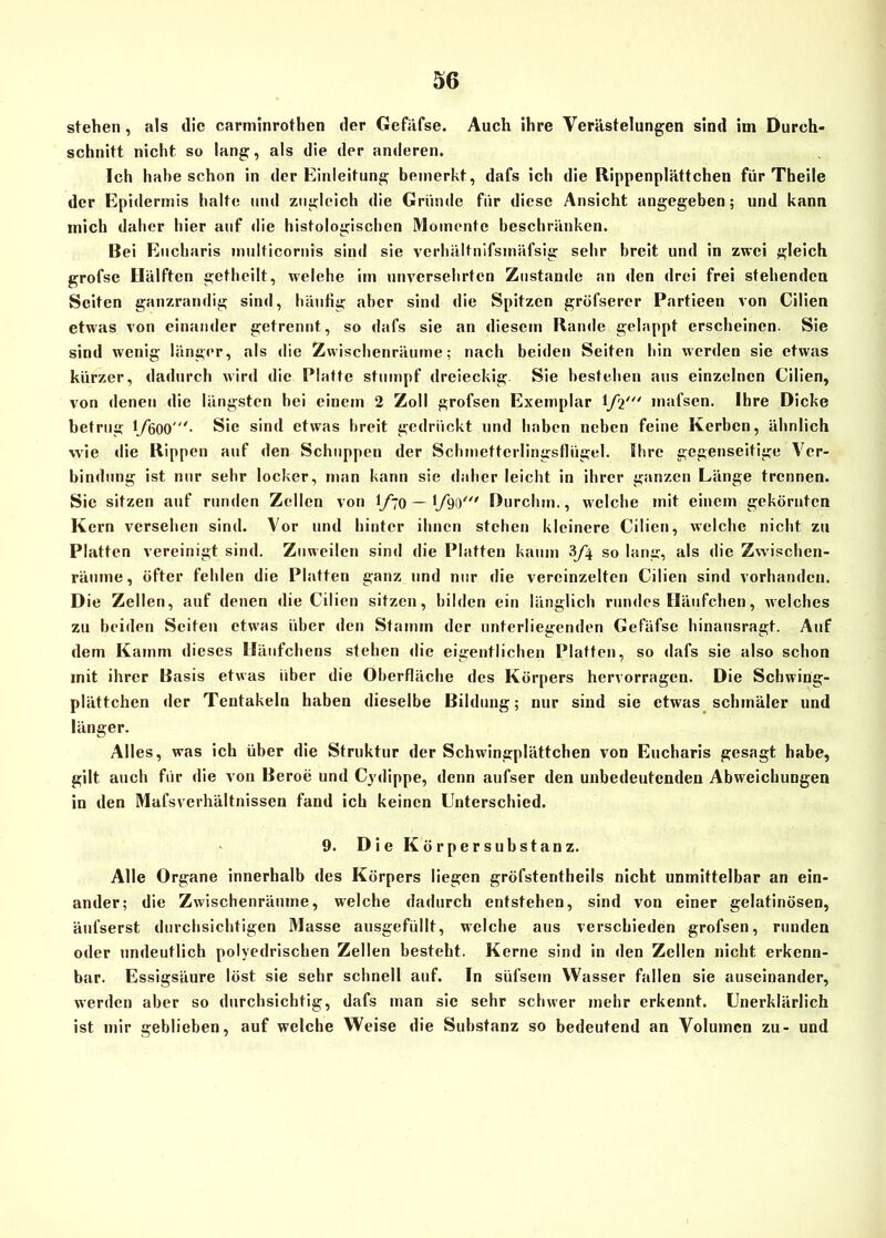 stehen, als die carminrothen der Gefäfse. Auch ihre Verästelungen sind im Durch- schnitt nicht so lang, als die der anderen. Ich habe schon in der Einleitung bemerkt, dafs ich die Rippenplättchen für Theile der Epidermis halte und zugleich die Gründe für diese Ansicht angegeben; und kann mich daher hier auf die histologischen Momente beschränken. Bei Eucharis multicornis sind sie verhältnifsmäfsig sehr breit und in zwei gleich grofse Hälften getheilt, welche im unversehrten Zustande an den drei frei stehenden Seiten ganzrandig sind, häutig aber sind die Spitzen gröfserer Partieen von Cilien etwas von einander getrennt , so dafs sie an diesem Rande gelappt erscheinen. Sie sind wenig länger, als die Zwischenräume; nach beiden Seiten hin werden sie etwas kürzer, dadurch wird die Platte stumpf dreieckig. Sie bestehen aus einzelnen Cilien, von denen die längsten hei einem 2 Zoll grofsen Exemplar 1/2' mafsen. Ihre Dicke betrug 1/600'- Sic sind etwas breit gedrückt und haben neben feine Kerben, ähnlich wie die Rippen auf den Schuppen der Schmetterlingsflügel. Ihre gegenseitige Ver- bindung ist nur sehr locker, man kann sie daher leicht in ihrer ganzen Länge trennen. Sic sitzen auf runden Zellen von 1/70 —1/90' Durchm., welche mit einem gekörnten Kern versehen sind. Vor und hinter ihnen stehen kleinere Cilien, welche nicht zu Platten vereinigt sind. Zuweilen sind die Platten kaum 3/4 so lang, als die Zwischen- räume, öfter fehlen die Platten ganz und nur die vereinzelten Cilien sind vorhanden. Die Zellen, auf denen die Cilien sitzen, bilden ein länglich rundes Häufchen, welches zu beiden Seifen etwas über den Stamm der unterliegenden Gefäfse hinausragt. Auf dem Kamm dieses Häufchens stehen die eigentlichen Platten, so dafs sie also schon mit ihrer Basis etwas über die Oberfläche des Körpers hervorragen. Die Schwing- plättchen der Tentakeln haben dieselbe Bildung; nur sind sie etwas schmäler und länger. Alles, was ich über die Struktur der Schwingplättchen von Eucharis gesagt habe, gilt auch für die von Beroe und Cydippe, denn aufser den unbedeutenden Abweichungen in den Mafsverhältnissen fand ich keinen Unterschied. 9. Die Körpersubstanz. Alle Organe innerhalb des Körpers liegen gröfstentheils nicht unmittelbar an ein- ander; die Zwischenräume, welche dadurch entstehen, sind von einer gelatinösen, äufserst durchsichtigen Masse ausgefüllt, welche aus verschieden grofsen, runden oder undeutlich polyedrischen Zellen besteht. Kerne sind in den Zellen nicht erkenn- bar. Essigsäure löst sie sehr schnell auf. In süfsem Wasser fallen sie auseinander, werden aber so durchsichtig, dafs man sic sehr schwer mehr erkennt. Unerklärlich ist mir geblieben, auf welche Weise die Substanz so bedeutend an Volumen zu- und