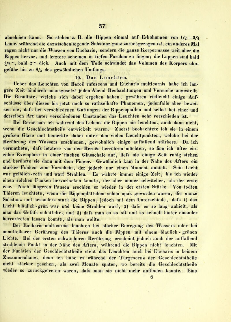 abnehmen kann. So stehen z. B. die Rippen einmal anf Erhöhungen von 1/2 — 3/4 Linie, während die dazwischenliegende Substanz ganz zurückgezogen ist, ein anderes Mal ragen nicht nur die Warzen von Eucharis, sondern die ganze Körperinasse weit über die Rippen hervor, und letztere scheinen in tiefen Furchen zu liegen; die Lappen sind bald 1/2', bald 2' dick. Auch mit dem Tode schwindet das Volumen des Körpers ohn- gefähr bis zu 4/5 des gewöhnlichen Umfangs. 10. Das Leuchten. Ueber das Leuchten von Beroe rufescens und Eucharis multicornis habe ich län- gere Zeit hindurch unausgesetzt jeden Abend Beobachtungen und Versuche angestellt. Die Resultate, welche sich dabei ergeben haben, gewähren vielleicht einige Auf- schlüsse über dieses bis jetzt noch so räthselhaftc Phänomen, jedenfalls aber bewei- sen sie, dafs bei verschiedenen Gattungen der Rippenquallen und selbst bei einer und derselben Art unter verschiedenen Umständen das Leuchten sehr verschieden ist. Bei Beroe sah ich während des Lebens die Rippen nie leuchten, auch dann nicht, wenn die Geschlechtstheile entwickelt waren. Zuerst beobachtete ich sie in einem grofsen Glase und bemerkte dabei unter den vielen Leuchtpunkten, Avelche bei der Berührung des Wassers erschienen, gewöhnlich einige auffallend stärkere. Da ich vermuthete, dafs letztere von den Beroen herrühren möchten, so fing ich öfter ein- zelne Exemplare in einer flachen Glasschale auf, liefs sie einige Zeit ruhig stehen und berührte sie dann mit dem Finger. Gewöhnlich kam in der Nähe des Afters ein starker Funken zum Vorschein, der jedoch nur einen Moment anhielt. Sein Licht war gelblich - roth und warf Strahlen. Es währte immer einige Zeit, bis ich wieder einen solchen Funken hervorlocken konnte, der aber immer schwächer, als der erste war. Nach längeren Pausen erschien er wieder in der ersten Stärke. Von todten Thieren leuchtete, wenn die Rippenplättchen schon opak geworden waren, die ganze Substanz und besonders stark die Rippen, jedoch mit dem Unterschiede, dafs l) das Licht bläulich-grün war uftd keine Strahlen warf, 2) dafs es so lang anhielt, als man das Gefäfs schüttelte, und 3) dafs man es so oft und so schnell hinter einander hervortreten lassen konnte, als man wollte. Bei Eucharis multicornis leuchten bei starker Bewegung des Wassers oder bei unmittelbarer Berührung des Thieres auch die Rippen mit einem bläulich - grünen Lichte. Bei der ersten schwächeren Berührung erscheint jedoch auch der auffallend strahlende Punkt in der Nähe des Afters, während die Rippen nicht leuchten. Mit der Funktion der Geschlechtstheile steht das Leuchten auch bei Eucharis in keinem Zusammenhang, denn ich habe es während der Turgescenz der Geschlechtstheile nicht stärker gesehen, als zwei Mouate später, wo bereits die Geschlechtstheile wieder so zurückgetreten waren, dafs man sie nicht mehr auffindcu konnte. Eine 8