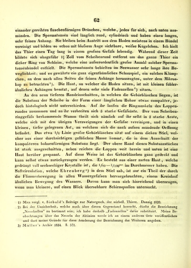 einander gereihten flaschenförmigen Dräschen, welche, jedes für sich, nach unten aus- nüinden. Die Spermatozoen sind länglich rund, cylindrisch und haben einen langen, sehr feinen Anhang. Sie bleiben beim Austritt aus dem Hoden meistens in einem Bündel vereinigt und bilden so schon mit blofsem Auge sichtbare, weifse Kügelchen. Ich hielt das Thier einen Tag lang in einem grofsen Gefäfs lebendig. Während dieser Zeit bildete sich ohngefähr 1£- Zoll vom Scheibenrand entfernt um das ganze Thier ein dicker Ring von Schleim, welche eine aufserordeutlich grofse Anzahl solcher Sperma- tozoenbündel enthielt. Die Spermatozoen behielten im Seewasser sehr lange ihre Be- weglichkeit; und es gewährte ein ganz eigenthümliches Schauspiel, ein solches Klümp- chen, an dem nach allen Seiten die feinen Anhänge herausragten, unter dem Mikros- kop zu betrachten1). Die Haut, an welcher die Hoden sitzen, ist mit kleinen fühler- ähnlichen Anhängen besetzt, auf denen sehr viele Fadenzellen2) sitzen. An den neun tieferen Randeinschnitten, in welchen die Gehörbläschen liegen, ist die Substanz der Scheibe in der Form einer länglichen Bohne etwas compukter, je- doch histologisch nicht unterschieden. Auf ihr laufen die Ringmuskeln des Lappen- randes zusammen und an ihr verbreiten sich 3 starke Gcfäfsäste. Der vom Scheiben- ringgefäfs herkommende Stamm theilt sich nämlich auf ihr selbt in 2 starke Acste, welche sich mit den übrigen Verzweigungen der Gefäfse vereinigen, und in einen kleinen, tiefer gelegenen Ast, an welchem sich die nach aufsen inüudeude Oeffhung befindet. Das etwa l/o Linie grofse Gehörbläschen silzt auf einem dicken Stiel, wel- cher aus einer durchsichtigen gelblichen Masse kommt, die in dem Ausschnitt der kompakteren boknenförmigen Substanz liegt. Der obere Rand dieses Substanzstückes ist stark ausgeschnitten, neben reichen die Lappen weit herein und unten ist eine Haut herüber gespannt. Auf diese Weise ist das Gehörbläschen ganz gedeckt und kann selbst etwas zurückgezogen werden. Es besteht aus einer zarten Haut, welche gedrängt voll sechseckiger Krystallc ist, die 1/80 — VlOO' im Durchmesser haben. Die Saftcirculation, welche Ehrenberg3) in dem Stiel sah, ist nur ein Theil der durch die Flimmerbewegung in allen Wassergefäfsen hervorgebrachten, einem Kreislauf ähnlichen Bewegung des Wassers. Davon kann man sich hinreichend überzeugen, wenn man kleinere, auf einen Blick übersehbare Schirmquallen untersucht. 1) Man vergl. v. Siebold’s Beiträge zur Naturgesch. der wirbelt. Thiere. Danzig 1839. 2) Bei der Unsicherheit, welche noch über diesen Gegenstand herrscht, dürfte die Bezeichnung „Nesselzellen” zu bestimmt sein; ich habe deshalb „Fadenzellen” dafür suhstituirt. Meine Be- obachtungen über das Nesseln der Aktinien werde ich an einem anderen Orte veröffentlichen und dort meine Gründe für diese Aenderung der Bezeichnung des Weiteren angeben. 3) Müller’s Archiv 1834. S. 571.