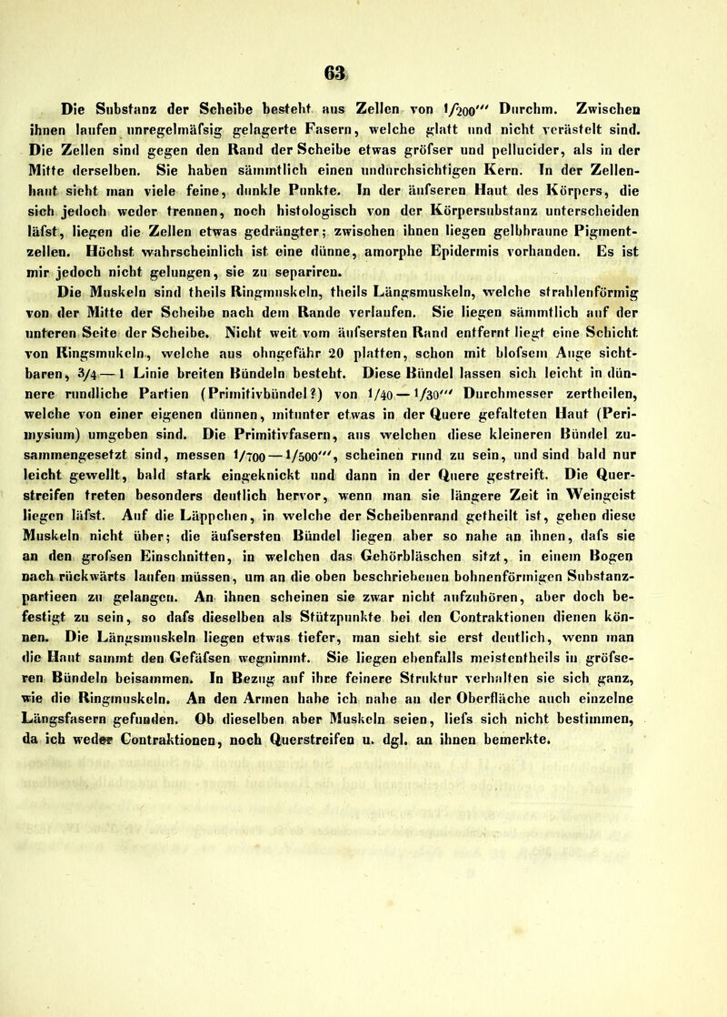 Die Substanz der Scheibe besteht aus Zellen von I/200' Durchm. Zwischen ihnen laufen unregelmäfsig gelagerte Fasern, welche glatt und nicht verästelt sind. Die Zellen sind gegen den Rand der Scheibe etwas gröfser und pellucider, als in der Mitte derselben. Sie haben säinintlich einen undurchsichtigen Kern. Tn der Zellen- haut sieht inan viele feine, dunkle Punkte, ln der äufseren Haut des Körpers, die sich jedoch weder trennen, noch histologisch von der Körpersubstanz unterscheiden läfst, liegen die Zellen etwas gedrängter; zwischen ihnen liegen gelbhraune Pigment- zellen. Höchst wahrscheinlich ist eine diinne, amorphe Epidermis vorhanden. Es ist mir jedoch nicht gelungen, sie zu separiren. Die Muskeln sind theils Ringmuskcln, theils Längsmuskeln, welche strahlenförmig von der Mitte der Scheibe nach dem Rande verlaufen. Sie liegen sämmtlich auf der unteren Seite der Scheibe. Nicht weit vom äufsersten Rand entfernt liegt eine Schicht von Ringsmukcln, welche aus ohngefähr 20 platten, schon mit blofscm Auge sicht- baren, 3/4—l Linie breiten Bündeln besteht. Diese Bündel lassen sich leicht in dün- nere rundliche Partien (Primitivbündel?) von I/40 —1/30' Durchmesser zertheilen, welche von einer eigenen dünnen, mitunter etwas in der Quere gefalteten Haut (Peri- mysium) umgeben sind. Die Primitivfasern, aus welchen diese kleineren Bündel zu- sammengesetzt sind, messen I/700 —1/500% scheinen rund zu sein, und sind bald nur leicht gewellt, bald stark eingeknickt und dann in der Quere gestreift. Die Quer- streifen treten besonders deutlich hervor, wenn man sie längere Zeit in Weingeist liegen läfst. Auf die Läppchen, in welche der Scheibenrand getheilt ist, gehen diese Muskeln nicht über; die äufsersten Bündel liegen aber so nahe an ihnen, dafs sie an den grofsen Einschnitten, in welchen das Gehörbläschen sitzt, in einem Bogen nach rückwärts laufen müssen, um an die oben beschriebenen bohnenförmigen Substanz- partieen zu gelangen. An ihnen scheinen sie zwar nicht aufzuhören, aber doch be- festigt zu sein, so dafs dieselben als Stützpunkte bei den Contraktionen dienen kön- nen. Die Längsmuskeln liegen etwas tiefer, man sieht sic erst deutlich, wenn man die Haut sauimt den Gefäfsen weg,nimmt. Sie liegen ebenfalls meistentheils in gröfse- ren Bündeln beisammen. In Bezug auf ihre feinere Struktur verhalten sie sich ganz, wie die Ringmuskeln. An den Armen habe ich nahe an der Oberfläche auch einzelne Längsfasern gefunden. Ob dieselben aber Muskeln seien, liefs sich nicht bestimmen, da ich weder Contraktionen, noch Querstreifen u. dgl. an ihnen bemerkte.