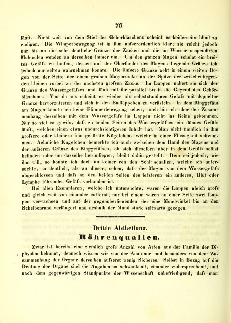 läuft. Nicht weit von dem Stiel des Gchörbläsehens scheint es beiderseits blind zu endigen. Die Wimperbewegung ist in ihm aufserordentlich klar; sie reicht jedoch nur bis an die sehr deutliche Gränze der Zacken und die im Wasser suspendirten Molecülen wenden an derselben immer um. Um den ganzen Magen scheint ein brei- tes Gefäfs zu laufen, dessen auf der Oberfläche des Magens liegende Gränze ich jedoch nur selten wahrnehmen konnte. Die äufserc Gränze geht in einem weiten Bo- gen von der Seite der einen grofsen Magenzacke an der Spitze der zwischenliegen- den kleinen vorbei zu der nächsten grofsen Zacke. Im Lappen nähert sie sich der Gränze des Wassergefäfses und läuft mit ihr parallel bis in die Gegend des Gehör- bläschens. Von da aus scheint es wieder als selbstständiges Gefäfs mit doppelter Gränze hervorzutreten und sich in den Endläppchen zu verästeln, ln dem Ilinggefäfs am Magen konnte ich keine Flimmerbeweguug sehen, auch bin ich über den Zusam- menhang desselben mit dem Wassergefäfs im Lappen nicht ins Reine gekommen. Nur so viel ist gewifs, dafs zu beiden Seiten des Wassergefäfses ein dünnes Gefäfs läuft, welches einen etwas undurchsichtigeren Inhalt hat. Man sieht nämlich in ihm gröfsere oder kleinere fein gekörnte Kügelchen, welche in einer Flüssigkeit schwim- men Aehnliche Kügelchen bemerkte ich auch zwischen dem Rand des Magens und der äufseren Gränze des Ringgefäfses, ob sich dieselben aber in dem Gefäfs seihst befinden oder um dasselbe herumliegen, bleibt dahin gestellt. Dem sei jedoch, wie ihm will, so konnte ich doch an keiner von den Schirmquallen, welche ich unter- suchte, so deutlich, als an dieser, sehen, dafs der Magen von dem Wassergefäfs abgeschlossen und dafs an den beiden Seiten des letzteren ein anderes, Blut oder Lymphe führendes Gefäfs vorhanden ist. Bei allen Exemplaren, welche ich untersuchte, waren die Lappen gleich grofs und gleich weit von einander entfernt, nur bei einem waren an einer Seite zwei Lap- pen verwachsen und auf der gegenüberliegenden der eine Mundwinkel bis an den Scheibenrand verlängert und deshalb der Mund stark seitwärts gezogen. Dritte Abtheilung. R ö h r e u q n a 11 e n. Zwar ist bereits eine ziemlich grofe Anzahl von Arten aus der Familie der Di- / phyiden bekannt, dennoch wissen wir von der Anatomie und besonders von dem Zu- sammenhang der Organe derselben äufserst wenig Sicheres. Selbst in Bezug auf die Deutung der Organe sind die Angaben so schwankend, einander widersprechend, und nach dem gegenwärtigen Standpunkte der Wissenschaft unbefriedigend, dafs man