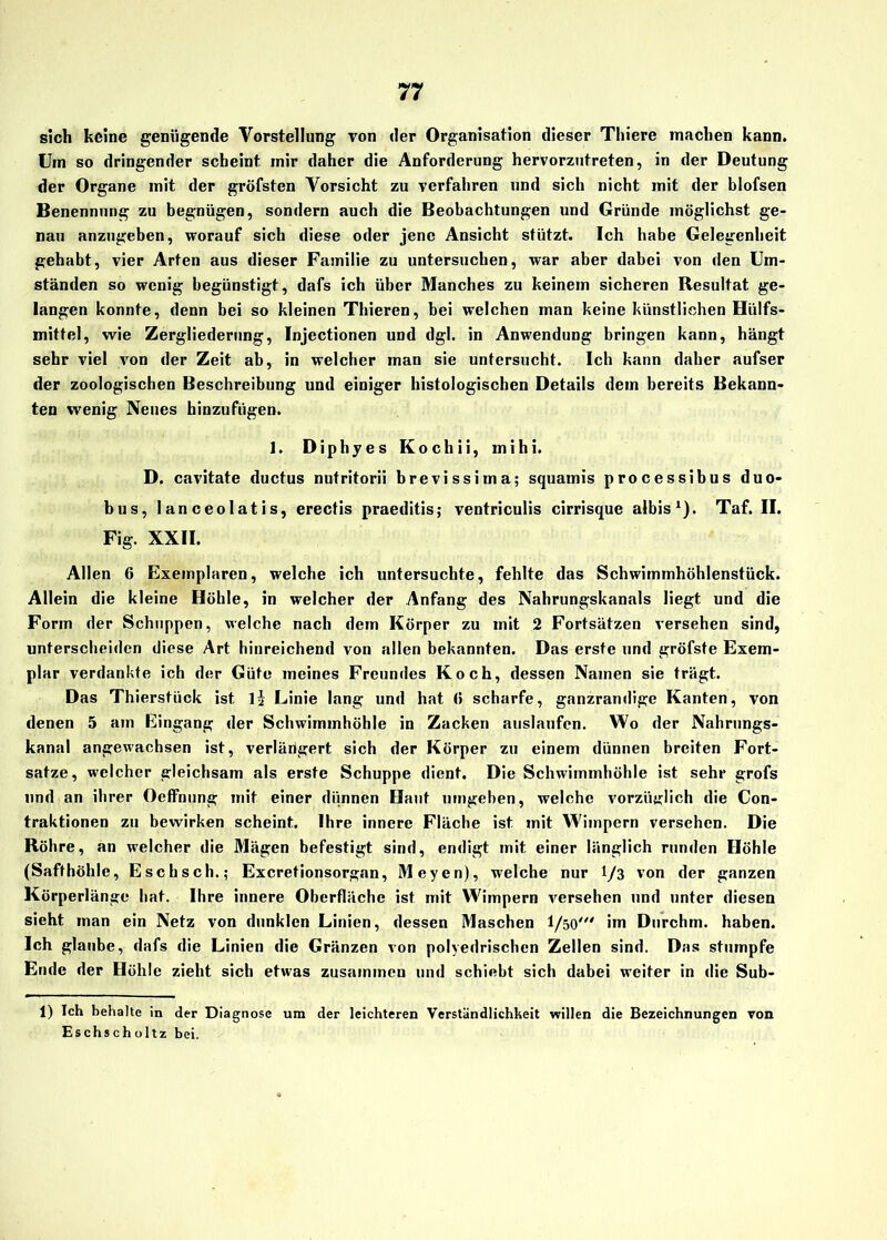 sich keine genügende Vorstellung von der Organisation dieser Thiere machen kann. Um so dringender scheint mir daher die Anforderung hervorzutreten, in der Deutung der Organe mit der gröfsten Vorsicht zu verfahren und sich nicht mit der blofsen Benennung zu begnügen, sondern auch die Beobachtungen und Gründe möglichst ge- nau anzugeben, worauf sich diese oder jene Ansicht stützt. Ich habe Gelegenheit gehabt, vier Arten aus dieser Familie zu untersuchen, war aber dabei von den Um- ständen so wenig begünstigt, dafs ich über Manches zu keinem sicheren Resultat ge- langen konnte, denn bei so kleinen Thieren, bei welchen man keine künstlichen Hiilfs- mittel, wie Zergliederung, Injectionen und dgl. in Anwendung bringen kann, hängt sehr viel von der Zeit ab, in welcher man sie untersucht. Ich kann daher aufser der zoologischen Beschreibung und einiger histologischen Details dem bereits Bekann- ten wenig Neues hinzufügen. 1. Diphyes Kochii, mihi. D. cavitate ductus nutritorii brevissima; squamis processibus duo- bus, lanceolatis, erectis praeditis; ventriculis cirrisque albis1). Taf. II. Fig. XXII. Allen 6 Exemplaren, welche ich untersuchte, fehlte das Schwimmhöhlenstück. Allein die kleine Höhle, in welcher der Anfang des Nahrungskanals liegt und die Form der Schuppen, welche nach dem Körper zu mit 2 Fortsätzen versehen sind, unterscheiden diese Art hinreichend von allen bekannten. Das erste und gröfste Exem- plar verdankte ich der Güte meines Freundes Koch, dessen Namen sie trägt. Das Thierstück ist \\ Linie lang und hat (> scharfe, ganzrandige Kanten, von denen 5 am Eingang der Schwimmhöhle in Zacken auslaufen. Wo der Nahrungs- kanal angewachsen ist, verlärigert sich der Körper zu einem dünnen breiten Fort- satze, welcher gleichsam als erste Schuppe dient. Die Schwimmhöhle ist sehr grofs und an ihrer Oeffnung mit einer dünnen Haut umgeben, welche vorzüglich die Con- traktionen zu bewirken scheint. Ihre innere Fläche ist. mit Wimpern versehen. Die Röhre, an welcher die Mägen befestigt sind, endigt mit einer länglich runden Höhle (Safthöhle, Esc lisch.; Excretionsorgan, Meyen), welche nur 1/3 von der ganzen Körperlänge hat. Ihre innere Oberfläche ist mit Wimpern versehen und unter diesen sieht man ein Netz von dunklen Linien, dessen Maschen I/50' im Durchm. haben. Ich glaube, dafs die Linien die Gränzen von polyedriseben Zellen sind. Das stumpfe Ende der Höhle zieht sich etwas zusammen und schiebt sich dabei weiter in die Sub- 1) Ich behalte in der Diagnose um der leichteren Verständlichkeit willen die Bezeichnungen von Eschscholtz bei.