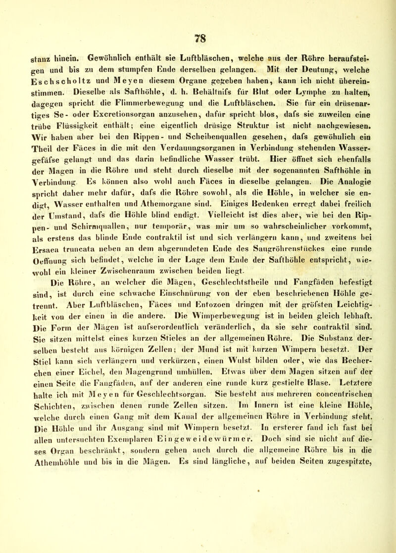 stanz hinein. Gewöhnlich enthält sie Luftbläschen, welche aus der Röhre beraufstei- gen und bis zu dem stumpfen Ende derselben gelangen. Mit der Deutung, welche Eschscholtz und Meyen diesem Organe gegeben haben, kann ich nicht überein- stimmen. Dieselbe als Safthöhle, d. h. Behältnifs für Blut oder Lymphe zu halten, dagegen spricht die Flimmerbewegung und die Luftbläschen. Sie für ein drüsenar- tiges Se- oder Excretionsorgan anzusehen, dafür spricht blos, dafs sie zuweilen eine trübe Flüssigkeit enthält; eine eigentlich drüsige Struktur ist nicht nachgewiesen. Wir haben aber bei den Rippen- und Scheibenquallen gesehen, dafs gewöhnlich ein Theil der Fäces in die mit den Verdauungsorganen in Verbindung stehenden Wasser- gefäfse gelangt und das darin befindliche Wasser trübt. Hier öffnet sich ebenfalls der Magen in die Röhre und steht durch dieselbe mit der sogenannten Safthöhle in Verbindung Es können also wohl auch Fäces in dieselbe gelangen. Die Analogie spricht daher mehr dafür, dafs die Röhre sowohl, als die Höhle, in welcher sie en- digt, Wasser enthalten und Athemorgane sind. Einiges Bedenken erregt dabei freilich der Umstand, dafs die Höhle blind endigt. Vielleicht ist dies aber, wie bei den Rip- pen- und Schirmquallen, nur temporär, was mir um so wahrscheinlicher vorkominf, als erstens das blinde Ende contraktil ist und sich verlängern kann, und zweitens bei Ersaea truncata neben an dein abgerundeten Ende des Saugröhrenstückes eine runde Oeffnung sich befindet, welche in der Lage dem Ende der Safthöhle entspricht, wie- wohl ein kleiner Zwischenraum zwischen beiden liegt. Die Röhre, an welcher die Mägen, Geschlechtstheile und Fangfäden befestigt sind, ist durch eine schwache Einschnürung von der eben beschriebenen Höhle ge- trennt. Aber Luftbläschen, Fäces und Entozoen dringen mit der gröfsten Leichtig- keit vou der einen in die andere. Die Wimperbewegung ist in beiden gleich lebhaft. Die Form der Mägen ist aufserordentlich veränderlich, da sie sehr contraktil sind. Sie sitzen mittelst eines kurzen Stieles an der allgemeinen Röhre. Die Substanz der- selben besteht aus körnigen Zellen; der Mund ist mit kurzen Wimpern besetzt. Der Stiel kann sich verlängern und verkürzen, einen Wulst bilden oder, wie das Recher- chen einer Eichel, den Magengrund umhüllen. Etwas über dem Magen sitzen auf der einen Seite die Fangfäden, auf der anderen eine runde kurz gestielte Blase. Letztere halte ich mit Meyen für Geschlechtsorgan. Sie bestellt aus mehreren concentrischen Schichten, zwischen denen runde Zellen sitzen. Im Innern ist eine kleine Höhle, ■welche durch einen Gang mit dem Kanal der allgemeinen Rühre in Verbindung steht. Die Höhle und ihr Ausgang sind mit Wimpern besetzt. In ersterer fand ich fast bei allen untersuchten Exemplaren Eingeweidewürmer. Doch sind sie nicht auf die- ses Organ beschränkt, sondern gehen auch durch die allgemeine Röhre bis in die Athemhühle und bis in die Mägen. Es sind längliche, auf beiden Seiten zugespitzte,