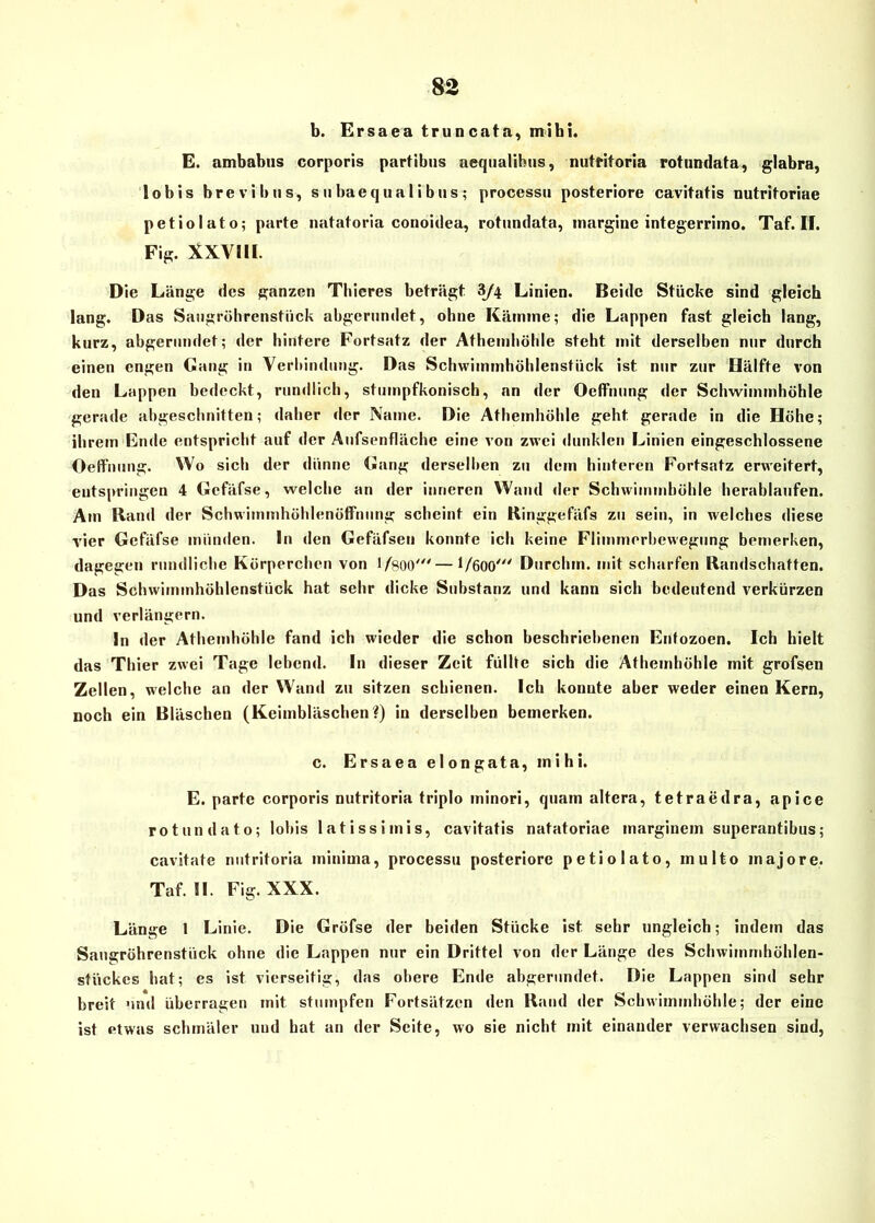 b. Ersaea truncata, mihi. E. ambabus corporis partibus aequaübus, nutritoria rotundata, glabra, lobis brevibns, subaequalibus; processu posteriore cavitatis nutritoriae petiolato; parte natatoria conoidea, rotundata, marginc integerrimo. Taf. II. Fig. XXVIH. Die Länge des ganzen Thieres beträgt 3/4 Linien. Beide Stücke sind gleich lang. Das Sangröhrenstiick abgerundet, ohne Kämme; die Lappen fast gleich lang, kurz, abgerundet; der hintere Fortsatz der Athemhöhle steht mit derselben nur durch einen engen Gang in Verbindung. Das Schwimmhöhlenstiick ist nur zur Hälfte von den Lappen bedeckt, rundlich, stumpfkonisch, an der Ocffnung der Schwimmhöhle gerade abgeschnitten; daher der Name. Die Athemhöhle geht gerade in die Höhe; ihrem Ende entspricht auf der Aufsenflächc eine von zwei dunklen Linien eingeschlossene Oeffnung. Wo sich der dünne Gang derselben zu dem hinteren Fortsatz erweitert, entspringen 4 Gefäfse, welche an der inneren Wand der Schwimmböhle herablaufen. Am Rand der SchwimmhöhlenöfFnung scheint ein Ringgefäfs zu sein, in welches diese vier Gefäfse münden. In den Gefäfsen konnte ich keine Flimmerhewegung bemerken, dagegen rundliche Körperchen von 1/800' — 1/600' Durchrn. mit scharfen Randschatten. Das Schwimmhöhlenstück hat sehr dicke Substanz und kann sich bedeutend verkürzen und verlängern. ln der Athemhöhle fand ich wieder die schon beschriebenen Entozoen. Ich hielt das Thier zwei Tage lebend. In dieser Zeit füllte sich die Athemhöhle mit grofsen Zellen, welche an der Wand zu sitzen schienen. Ich konute aber weder einen Kern, noch ein Bläschen (Keimbläschen?) in derselben bemerken. c. Ersaea elongata, mihi. E. parte corporis nutritoria triplo ininori, quam altera, tetraedra, apice ro tun dato; lobis latissimis, cavitatis natatoriae marginem superantibus; cavitate nutritoria minima, processu posteriore petiolato, multo majore. Taf. II. Fig. XXX. Länge 1 Linie. Die Gröfse der beiden Stücke ist sehr ungleich; indem das Sangröhrenstiick ohne die Lappen nur ein Drittel von der Länge des Schwimmhöhlen- stückes hat; es ist vierseitig, das obere Ende abgerundet. Die Lappen sind sehr breit und überragen mit stumpfen Fortsätzen den Rand der Schwimmhöble; der eine ist etwas schmäler und hat an der Seite, wo sie nicht mit einander verwachsen sind,