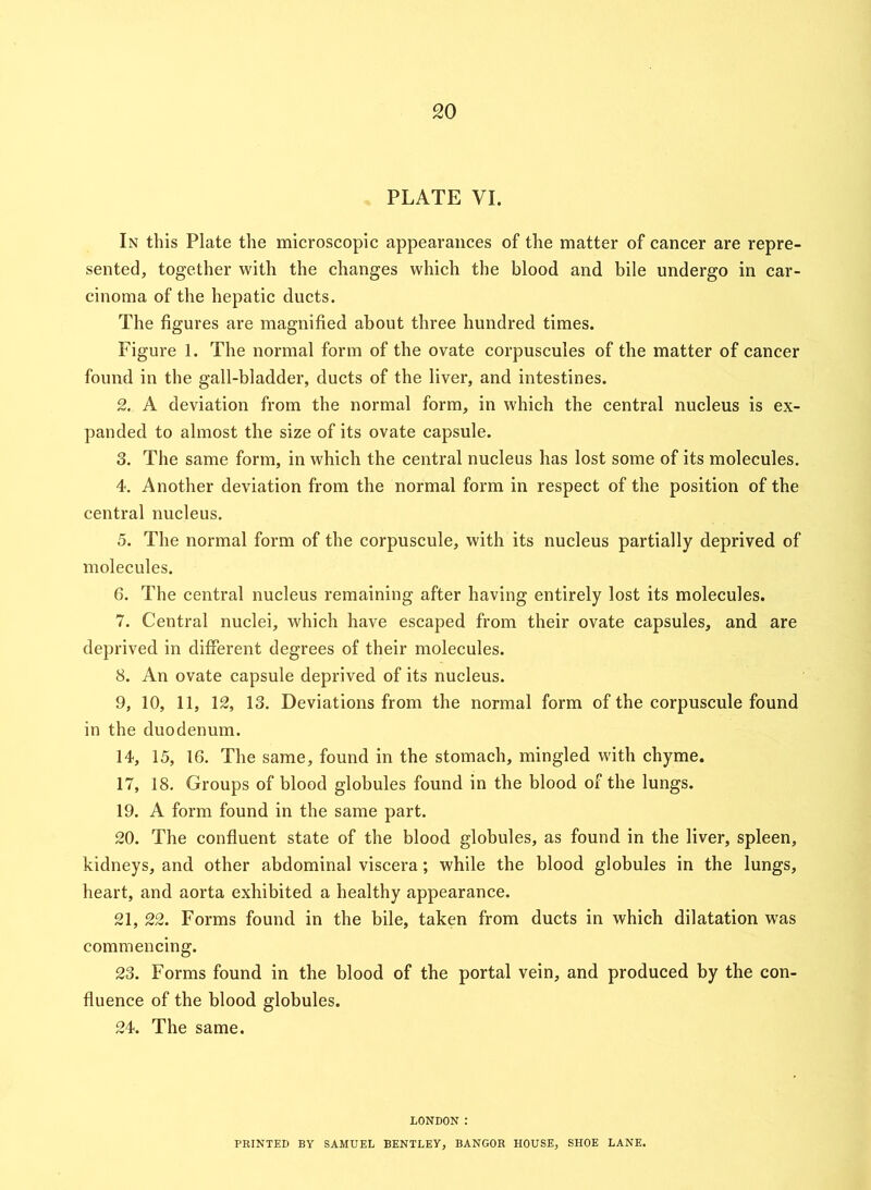 PLATE VI. In this Plate the microscopic appearances of the matter of cancer are repre- sented, together with the changes which the blood and bile undergo in car- cinoma of the hepatic ducts. The figures are magnified about three hundred times. Figure 1. The normal form of the ovate corpuscules of the matter of cancer found in the gall-bladder, ducts of the liver, and intestines. 2. A deviation from the normal form, in which the central nucleus is ex- panded to almost the size of its ovate capsule. 3. The same form, in which the central nucleus has lost some of its molecules. 4. Another deviation from the normal form in respect of the position of the central nucleus. 5. The normal form of the corpuscule, with its nucleus partially deprived of molecules. 6. The central nucleus remaining after having entirely lost its molecules. 7. Central nuclei, which have escaped from their ovate capsules, and are deprived in different degrees of their molecules. 8. An ovate capsule deprived of its nucleus. 9. 10, 11, 12, 13. Deviations from the normal form of the corpuscule found in the duodenum. 14, 15, 16. The same, found in the stomach, mingled with chyme. 17, 18. Groups of blood globules found in the blood of the lungs. 19. A form found in the same part. 20. The confluent state of the blood globules, as found in the liver, spleen, kidneys, and other abdominal viscera; while the blood globules in the lungs, heart, and aorta exhibited a healthy appearance. 21. 22. Forms found in the bile, taken from ducts in which dilatation was commencing. 23. Forms found in the blood of the portal vein, and produced by the con- fluence of the blood globules. 24. The same. LONDON : PRINTED BY SAMUEL BENTLEY, BANGOR HOUSE, SHOE LANE.