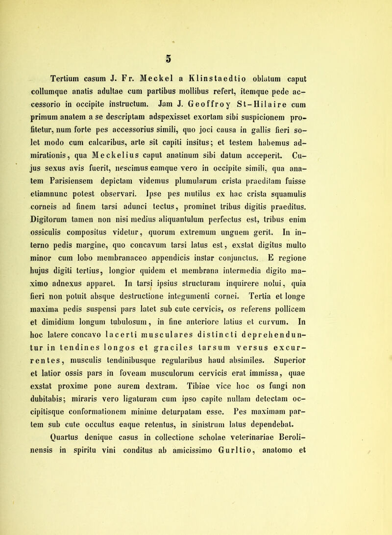 Tertium casum J. Fr. Meckel a Klinstaedtio oblalum caput collumque anatis adullae cum partibus mollibus refert, itemque pede ac- cessorio in occipite instructum. Jam J. Geoffroy St-Hilaire cum primum anatem a se descriptam adspexisset exortam sibi suspicionem pro- fitetur, num forte pes accessorius simili, quo joci causa in gallis fieri so- let modo cum calcaribus, arte sit capiti insitus; et testem habemus ad- mirationis, qua Meckelius caput anatinum sibi datum acceperit. Cu- jus sexus avis fuerit, nescimus eamque vero in occipite simili, qua ana- tem Parisiensem depictam videmus plumularum crista praeditam fuisse etiamnunc potest observari. Ipse pes mutilus ex hac crista squamulis corneis ad finem tarsi adunci tectus, prominet tribus digitis praeditus. Digitorum tarnen non nisi medius aliquantulum perfectus est, tribus enim ossiculis compositus videtur, quorum extremum unguem gerit. In in- terno pedis margine, quo concavum tarsi latus est, exstat digitus multo minor cum lobo membranaceo appendicis instar conjunctus. E regione hujus digiti tertius, longior quidem et membrana intermedia digito ma- ximo adnexus apparet. In tarsi ipsius structuram inquirere nolui, quia fieri non potuit absque destructione integumenti cornei. Tertia et longe maxima pedis suspensi pars latet sub cute cervicis, os referens pollicem et dimidium longum tubulosum, in fine anteriore latius et curvum. In hoc latere concavo lacerti musculares distincti deprehendun- tur in tendines longos et graciles tarsum versus excur- rentes, musculis tendinibusque regularibus haud absimiles. Superior et latior ossis pars in foveam musculorum cervicis erat immissa, quae exstat proxime pone aurem dextram. Tibiae vice hoc os fungi non dubitabis; miraris vero ligaluram cum ipso capite nullam detectam oc- cipitisque conformationem minime deturpatam esse. Pes maximam par- tem sub cute occultus eaque retentus, in sinistrum latus dependebat. Quartus denique Casus in collectione scholae veterinariae Beroli- nensis in spiritu vini conditus ab amicissimo Gurltio, anatomo et