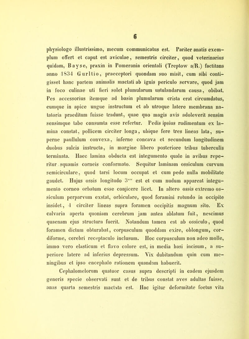 physiologo illustrissimo, mecum communicatus est. Pariter anatis exem- plum offert et caput est aviculae, seinestris circiter, quod veterinarius quidam, Bayse, praxin in Pomerania orientali (Treptow a/R.) factitans anno 1834 Gurltio, praeceptori quondam suo misit, cum sibi conti- gisset hanc partem aniinalis mactati ab ignis periculo servare, quod jam in foco culinae uti fieri solet plumularum ustulandarum causa, obibat. Pes accessorius itenique ad basin plumularum crista erat circumdatus, eumque in apice ungue instructum et ab utroque latere membrana na- tatoria praeditum fuisse tradunt, quae quo magis avis adoleverit sensim sensimque labe consumta esse refertur. Pedis ipsius rudimentum ex la- mina constat, pollicem circiter longa, ubique fere tres lineas lata, su- perne paullulum convexa, inferne concava et secundum longitudinem duobus sulcis instructa, in margine libero posteriore tribus tuberculis terminata. Haec lamina obducta est integumento quäle in avibus repe- ritur squamis corneis conformato. Sequitur laminam ossiculum curvum semicirculare, quod tarsi locum occupat et cum pede nulla mobilitate gaudet. Hujus ossis longitudo 3' est et cum nudum appareat integu- mento corneo orbatum esse conjicere licet. In altero ossis extremo os- siculum perparvum exstat, orbiculare, quod foramini rotundo in occipite insidet, 4 circiter lineas supra foramen occipitis magnum sito. Ex calvaria aperta quoniam cerebrum jam antea ablatum fuit, nescimus quaenam ejus structura fuerit. Notandum tarnen est ab ossiculo, quod foramen dictum obturabat, corpusculum quoddam exire, oblongum, cor- diforme, cerebri receptaculo inclusum. Hoc corpusculum non adeo molle, immo yero elasticum et flavo colore est, in media basi incisum, a su- periore latere ad inferius depressum. Yix dubitandum quin cum me- ningibus et ipso encephalo rationem quandam habuerit. Cephalomelorum quatuor casus supra descripti in eadem ejusdeni generis specie observati sunt et de tribus constat aves adultas fuisse, anas quarta semestris mactata est. Hac igitur deformitate foetus vita