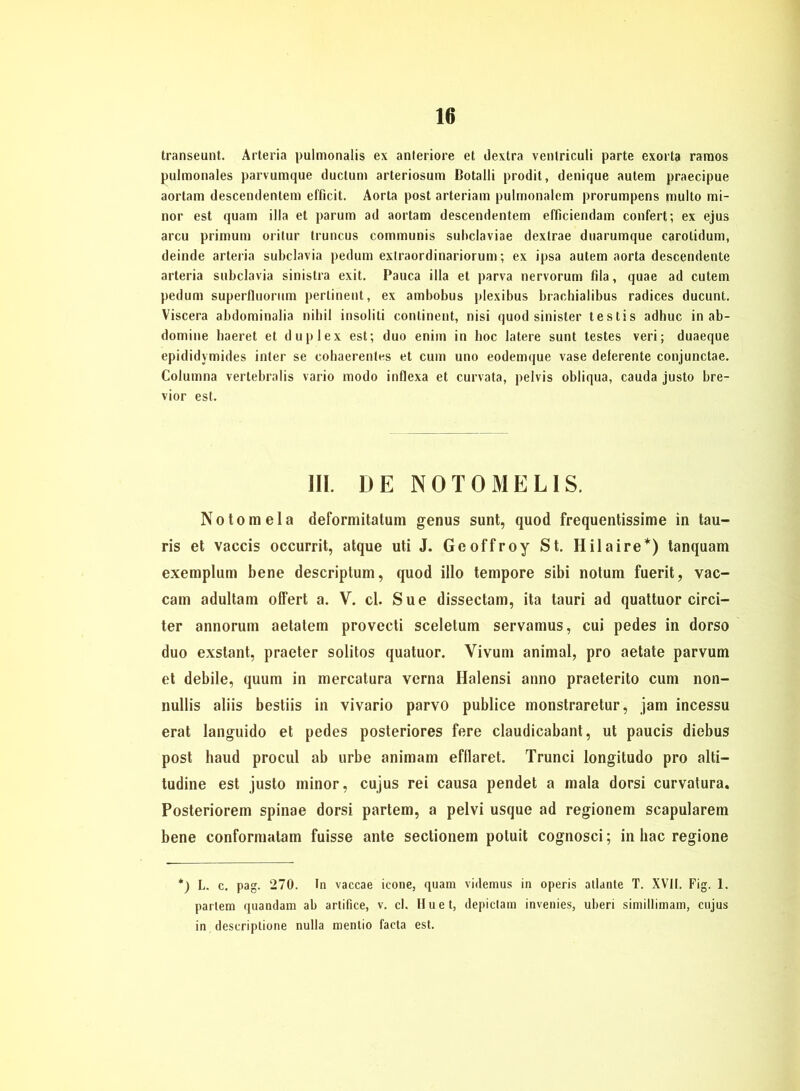 transeunt. Arteria pulmonalis ex anteriore et dextra ventriculi parte exorta ramos pulmonales parvumque ductum arteriosum Botalli prodit, denique autem praecipue aortam descendentem efficit. Aorta post arteriam pulmonalem prorumpens multo mi- nor est quam illa et parum ad aortam descendentem efficiendam confert; ex ejus arcu primum oritur truncus communis suhclaviae dexlrae duarumque carolidum, deinde arteria subclavia pedum extraordinariorum; ex ipsa autem aorta descendente arteria subclavia sinistra exit. Pauca illa et parva nervorum fda, quae ad cutem pedum superfluorum pertinent, ex ambobus plexibus brachialibus radices ducunt. Viscera abdominalia nihil insoliti continent, nisi quod sinister testäs adhuc in ab- domine baeret et duplex est; duo eniin in hoc latere sunt testes veri; duaeque epididymides inter se cohaerentes et cum uno eodemque vase deferente conjunctae. Columna vertebralis vario modo inflexa et curvata, pelvis obliqua, cauda justo bre- vior est. III. DE NOTOMEL1S. Notomela deformitatum genus sunt, quod frequentissime in tau- ris et vaccis occurrit, atque uti J. Geoffroy St. Hilaire*) tanquam exemplum bene descriptum, quod illo tempore sibi notum fuerit, vac- cam adultam offert a. V. cl. Sue dissectam, ita tauri ad quattuor circi- ter annorum aetatem provecti sceletum servamus, cui pedes in dorso duo exstant, praeter solitos quatuor. Yivum animal, pro aetate parvum et debile, quum in mercatura verna Halensi anno praeterito cum non- nullis aliis bestiis in vivario parvo publice monstraretur, jam incessu erat languido et pedes posteriores fere claudicabant, ut paucis diebus post haud procul ab urbe animam efllaret. Trunci longitudo pro alti- tudine est justo minor, cujus rei causa pendet a mala dorsi curvatura. Posteriorem spinae dorsi partem, a pelvi usque ad regionem scapularem bene conformalam fuisse ante sectionem potuit cognosci; in hac regione *) L. c. pag. 270. In vaccae icone, quam videmus in operis atlante T. XVII. Fig. 1. partem quandam ab artifice, v. cl. Huet, depiclam invenies, uberi simillimam, cujus in descriptione nulla mentio facta est.