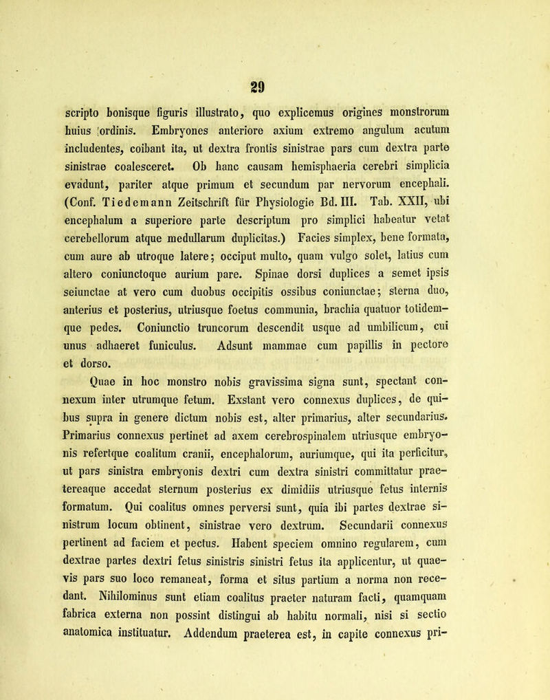 scripto bonisque figuris illustrato, quo explicemus origines monstrorum huius 'ordinis. Embryones anteriore axium extremo angulum acutum includentes, coibant ita, ut dextra frontis sinistrae pars cum dextra parte sinistrae coalesceret. Ob hanc causam hemisphaeria cerebri simplicia evadunt, pariter atque primum et secundum par nervorum encephali. (Conf. Tiedemann Zeitschrift fur Physiologie Bd. III. Tab. XXII, ubi encephalum a superiore parte descriptum pro simplici habeatur vetat cerebellorum atque medullarum duplicitas.) Facies simplex, bene formata, cum aure ab utroque latere; occiput multo, quam vulgo solet, latius cum altero coniunctoque aurium pare. Spinae dorsi duplices a semet ipsis seiunctae at vero cum duobus occipitis ossibus coniunctae; sterna duo, anterius et posterius, utriusque foetus communia, brachia quatuor totidem- que pedes. Coniunctio truncorum descendit usque ad umbilicum, cui unus adhaeret funiculus. Adsunt mammae cum papillis in pectore et dorso. Quae in hoc monstro nobis gravissima signa sunt, spectant con- nexum inter utrumque fetum. Exstant vero connexus duplices, de qui- bus supra in genere dictum nobis est, alter primarius, alter secundarius. Primarius connexus pertinet ad axem cerebrospinalem utriusque embryo- nis refertque coalitum cranii, encephalorum, auriumque, qui ita perficitur, ut pars sinistra embryonis dextri cum dextra sinistri committatur prae- tereaque accedat sternum posterius ex dimidiis utriusque fetus internis formatum. Qui coalitus omnes perversi sunt, quia ibi partes dextrae si- nistrum locum obtinent, sinistrae vero dextrum. Secundarii connexus pertinent ad faciem et pectus. Habent speciem omnino regularem, cum dextrae partes dextri fetus sinistris sinistri fetus ita applicentur, ut quae- vis pars suo loco remaneat, forma et situs partium a norma non rece- dant. Nihilominus sunt etiam coalitus praeter naturam facti, quamquam fabrica externa non possint distingui ab habitu normali, nisi si sectio anatomica instituatur. Addendum praeterea est, in capite connexus pri-