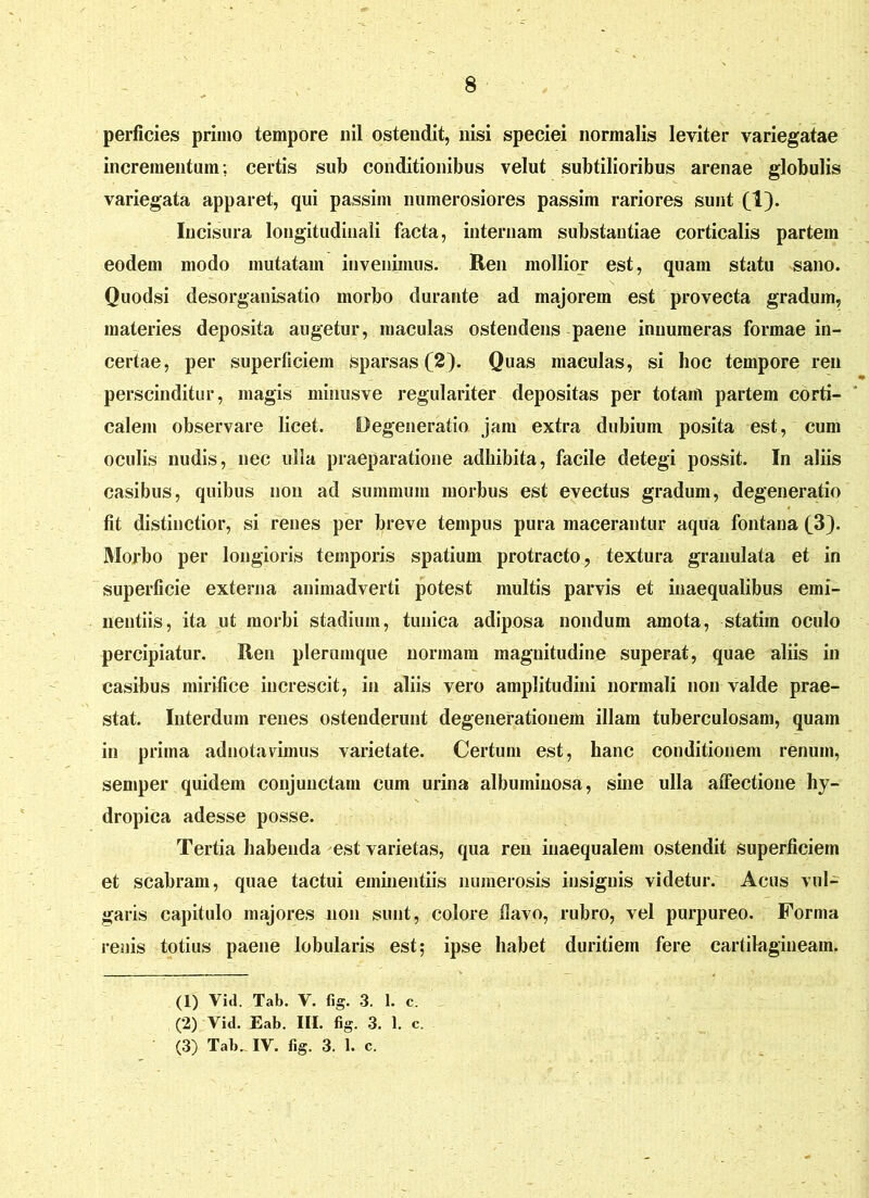 perficies primo tempore nil ostendit, nisi speciei normalis leviter variegatae incrementum: certis sub conditionibus velut subtilioribus arenae globulis variegata apparet, qui passim numerosiores passim rariores sunt (1). Incisura longitudinali facta, internam substantiae corticalis partem eodem modo mutatam invenimus. Ren mollior est, quam statu sano. Quodsi desorganisatio morbo durante ad majorem est provecta gradum, materies deposita augetur, maculas ostendens paene innumeras formae in- certae, per superficiem sparsas (2). Quas maculas, si hoc tempore ren perscinditur, magis minusve regulariter depositas per totam partem corti- calem observare licet. Degeneratio jam extra dubium posita est, cum oculis nudis, nec ulla praeparatione adhibita, facile detegi possit. In aliis casibus, quibus non ad summum morbus est evectus gradum, degeneratio fit distinctior, si renes per breve tempus pura macerantur aqua fontana (3). Morbo per longioris temporis spatium protracto, textura granulata et in superficie externa animadverti potest multis parvis et inaequalibus emi- nentiis, ita ut morbi stadium, tunica adiposa nondum amota, statim oculo percipiatur. Ren plerumque normam magnitudine superat, quae aliis in casibus mirifice increscit, in aliis vero amplitudini normali non valde prae- stat. Interdum renes ostenderunt degenerationem illam tuberculosam, quam in prima adnotavimus varietate. Certum est, hanc conditionem renum, semper quidem conjunctam cum urina albuminosa, sine ulla affectione hy- dropica adesse posse. Tertia habenda est varietas, qua reu inaequalem ostendit superficiem et scabram, quae tactui eminentiis numerosis insignis videtur. Acus vul- garis capitulo majores non sunt, colore flavo, rubro, vel purpureo. Forma renis totius paene lobularis est; ipse habet duritiem fere cartilagineam. (1) Vid. Tab. Y. fig. 3. i. c. (2) Vid. Eab. III. fig. 3. 1. c. (3) Tab. IV. fig. 3. 1. c.