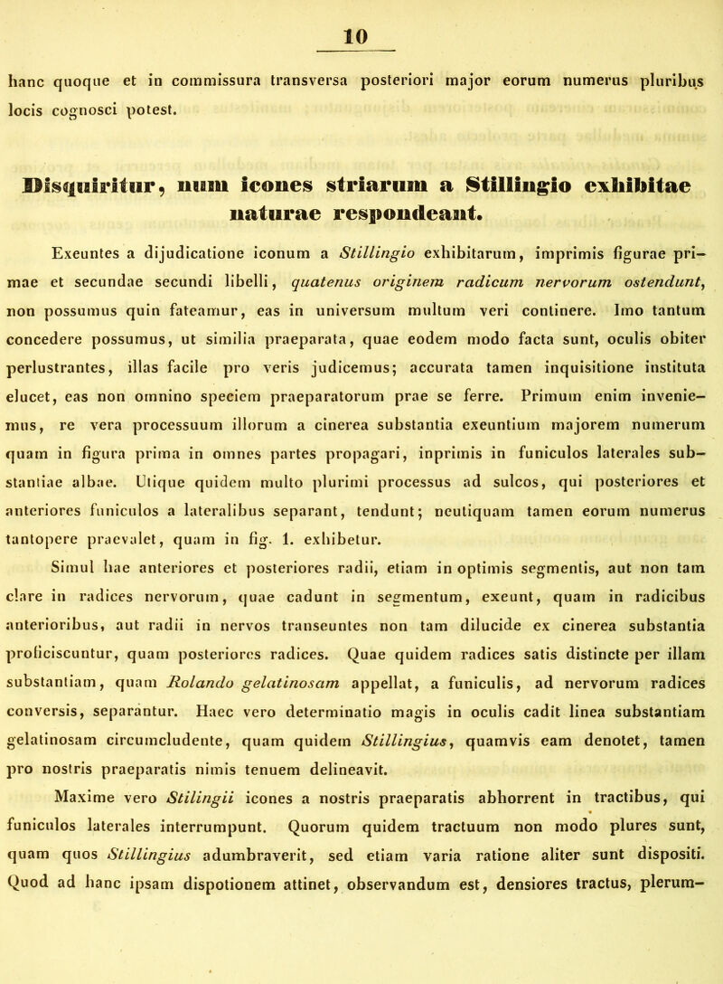 hanc quoque et in commissura transversa posteriori major eorum numerus pluribus locis cognosci potest. Disquiritur, sium Icones striarum a Stllllnglo exhibitae naturae respondeant. Exeuntes a dijudicatione iconum a Stillingio exhibitarum, imprimis figurae pri- mae et secundae secundi libelli, quatenus originem radicum nervorum ostendunt, non possumus quin fateamur, eas in universum multum veri continere. Imo tantum concedere possumus, ut similia praeparata, quae eodem modo facta sunt, oculis obiter perlustrantes, illas facile pro veris judicemus; accurata tamen inquisitione instituta elucet, eas non omnino speciem praeparatorum prae se ferre. Primum enim invenie- mus, re vera processuum illorum a cinerea substantia exeuntium majorem numerum quam in figura prima in omnes partes propagari, inprimis in funiculos laterales sub- stantiae albae. Utique quidem multo plurimi processus ad sulcos, qui posteriores et anteriores funiculos a lateralibus separant, tendunt; neutiquam tamen eorum numerus tantopere praevalet, quam in fig. 1. exhibetur. Simul hae anteriores et posteriores radii, etiam in optimis segmentis, aut non tam clare in radices nervorum, quae cadunt in segmentum, exeunt, quam in radicibus anterioribus, aut radii in nervos transeuntes non tam dilucide ex cinerea substantia proficiscuntur, quam posteriores radices. Quae quidem radices satis distincte per illam substantiam, quam Rotando gelatinosam appellat, a funiculis, ad nervorum radices conversis, separantur. Haec vero determinatio magis in oculis cadit linea substantiam gelatinosam circumcludente, quam quidem Stillingius, quamvis eam denotet, tamen pro nostris praeparatis nimis tenuem delineavit. Maxime vero Stilingii icones a nostris praeparatis abhorrent in tractibus, qui funiculos laterales interrumpunt. Quorum quidem tractuum non modo plures sunt, quam quos Stillingius adumbraverit, sed etiam varia ratione aliter sunt dispositi. Quod ad hanc ipsam dispotionem attinet, observandum est, densiores tractus, plerum-