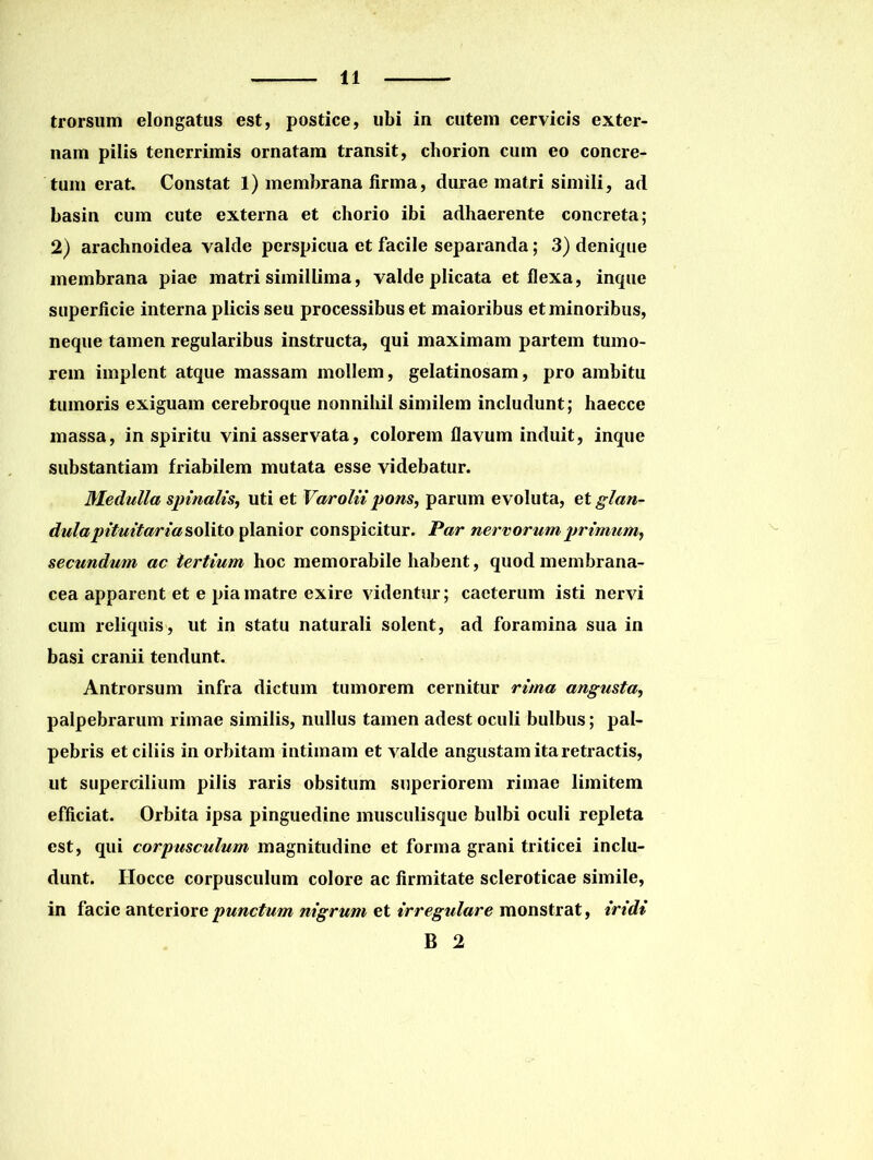 trorsum elongatus est, postice, ubi in cutem cervicis exter- nam pilis tenerrimis ornatam transit, chorion cum eo concre- tum erat. Constat 1) membrana firma, durae matri simili, ad basin cum cute externa et chorio ibi adhaerente concreta; 2) arachnoidea valde perspicua et facile separanda; 3) denique membrana piae matri simillima, valde plicata et flexa, inque superficie interna plicis seu processibus et maioribus et minoribus, neque tamen regularibus instructa, qui maximam partem tumo- rem implent atque massam mollem, gelatinosam, pro ambitu tumoris exiguam cerebroque nonnihil similem includunt; haecce massa, in spiritu vini asservata, colorem flavum induit, inque substantiam friabilem mutata esse videbatur. Medulla spinalis, uti et Varoliipons, parum evoluta, et glan- dulapituitaria solito planior conspicitur. Par nervorum primum, secundum ac tertium hoc memorabile habent, quod membrana- cea apparent et e pia matre exire videntur; cacterum isti nervi cum reliquis, ut in statu naturali solent, ad foramina sua in basi cranii tendunt. Antrorsum infra dictum tumorem cernitur rima angusta, palpebrarum rimae similis, nullus tamen adest oculi bulbus; pal- pebris et ciliis in orbitam intimam et valde angustam ita retractis, ut supercilium pilis raris obsitum superiorem rimae limitem efficiat. Orbita ipsa pinguedine musculisque bulbi oculi repleta est, qui corpusculum magnitudine et forma grani triticei inclu- dunt. Hocce corpusculum colore ac firmitate scleroticae simile, in facie anteriore punctum nigrum et irregulare monstrat, iridi B 2