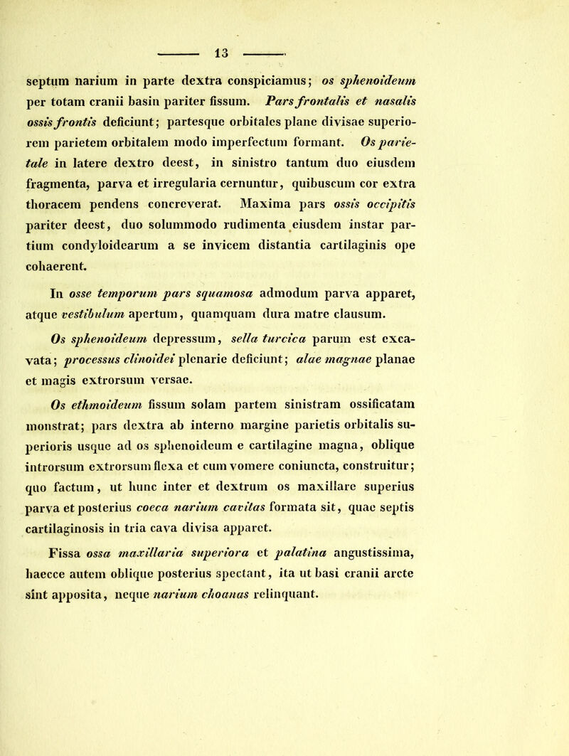 septum narium in parte dextra conspiciamus; os sphenoideum per totam cranii basin pariter fissum. Pars frontalis et nasalis ossis frontis deficiunt; partesque orbitales plane divisae superio- rem parietem orbitalem modo imperfectum formant. Os parie- tale in latere dextro deest, in sinistro tantum duo eiusdem fragmenta, parva et irregularia cernuntur, quibuscum cor extra thoracem pendens concreverat. Maxima pars ossis occipitis pariter deest, duo solummodo rudimenta eiusdem instar par- tium condyloidearum a se invicem distantia cartilaginis ope cohaerent. In osse temporum pars squamosa admodum parva apparet, atque vestibulum apertum, quamquam dura matre clausum. Os sphenoideum depressum, sella turcica parum est exca- vata; processus clinoidei plenarie deficiunt; alae magnae planae et magis extrorsum versae. Os ethmoideum fissum solam partem sinistram ossificatam monstrat; pars dextra ab interno margine parietis orbitalis su- perioris usque ad os sphenoideum e cartilagine magna, oblique introrsum extrorsum flexa et cum vomere coniuncta, construitur; quo factum, ut hunc inter et dextrum os maxillare superius parva et posterius coeca narium cavitas formata sit, quae septis cartilaginosis in tria cava divisa apparet. Fissa ossa maxillaria superiora et palatina angustissima, haecce autem oblique posterius spectant, ita ut basi cranii arcte sint apposita, neque narium choanas relinquant.