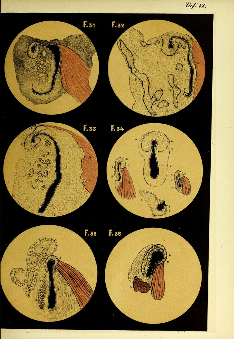 No text description is available for this image