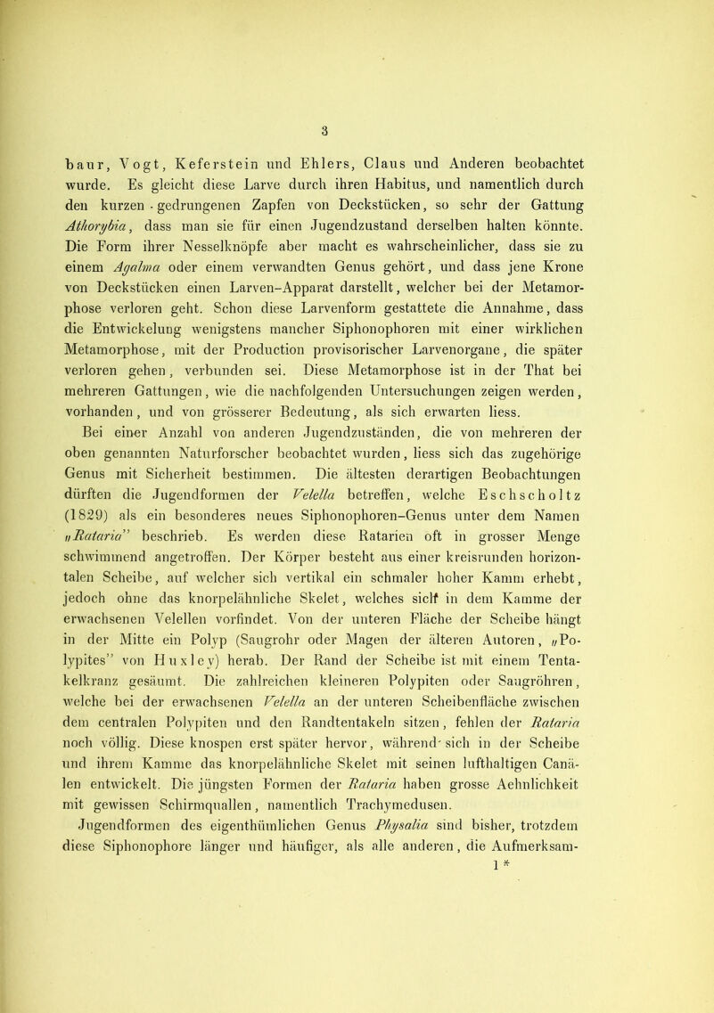 baur, Vogt, Keferstein und Ehlers, Claus und Anderen beobachtet wurde. Es gleicht diese Larve durch ihren Habitus, und namentlich durch den kurzen - gedrungenen Zapfen von Deckstücken, so sehr der Gattung Athorybia, dass man sie für einen Jugendzustand derselben halten könnte. Die Form ihrer Nesselknöpfe aber macht es wahrscheinlicher, dass sie zu einem Agalma oder einem verwandten Genus gehört, und dass jene Krone von Deckstücken einen Larven-Apparat darstellt, welcher bei der Metamor- phose verloren geht. Schon diese Larvenform gestattete die Annahme, dass die Entwickelung wenigstens mancher Siphonophoren mit einer wirklichen Metamorphose, mit der Production provisorischer Larvenorgane, die später verloren gehen, verbunden sei. Diese Metamorphose ist in der That bei mehreren Gattungen, wie die nachfolgenden Untersuchungen zeigen werden, vorhanden, und von grösserer Bedeutung, als sich erwarten liess. Bei einer Anzahl von anderen Jugendzuständen, die von mehreren der oben genannten Naturforscher beobachtet wurden, liess sich das zugehörige Genus mit Sicherheit bestimmen. Die ältesten derartigen Beobachtungen dürften die Jugendformen der Velella betreffen, welche Eschscholtz (1829) als ein besonderes neues Siphonophoren-Genus unter dem Namen u Rataria” beschrieb. Es werden diese Ratarien oft in grosser Menge schwimmend angetroffen. Der Körper besteht aus einer kreisrunden horizon- talen Scheibe, auf welcher sich vertikal ein schmaler hoher Kamm erhebt, jedoch ohne das knorpelähnliche Skelet, welches sicff in dem Kamme der erwachsenen Velellen vorfindet. Von der unteren Fläche der Scheibe hängt in der Mitte ein Polyp (Saugrohr oder Magen der älteren Autoren, r/Po- lypites” von IJuxley) herab. Der Rand der Scheibe ist mit einem Tenta- kelkranz gesäumt. Die zahlreichen kleineren Polypiten oder Saugröhren, welche bei der erwachsenen Velella an der unteren Scheibenfläche zwischen dem centralen Polypiten und den Randtentakeln sitzen, fehlen der Rataria noch völlig. Diese knospen erst später hervor, während' sich in der Scheibe und ihrem Kamme das knorpelähnliche Skelet mit seinen lufthaltigen Canä- len entwickelt. Die jüngsten Formen der Rataria haben grosse Aehnlichkeit mit gewissen Schirmquallen, namentlich Trachymedusen. Jugendformen des eigenthümlichen Genus Physalia sind bisher, trotzdem diese Siphonophore länger und häufiger, als alle anderen, die Aufmerksam- 1 *