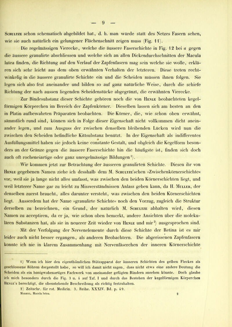 Schültze schon schematisch abgebildet hat, d. h. man würde statt des Netzes Fasern sehen, wie sie auch natürlich ein gelungener Flächenschnitt zeigen muss (Fig. 11). Die regelmässigen Vierecke, welche die äussere Faserschichte in Fig. 12 bei a gegen die äussere granulirte abschliessen und welche sich an allen Dickendurchschnitten der Macula lutea finden, die Richtung auf den Verlauf der Zapfenfasern mag sein welche sie wolle, erklä- ren sich sehr leicht aus dem oben erwähnten Verhalten der letzteren. Diese treten recht- winkelig in die äussere granulirte Schichte ein und die Scheiden müssen ihnen folgen. Sie legen sich also fest aneinander und bilden so auf ganz natürliche Weise, durch die schiefe Richtung der nach aussen liegenden Scheidenstücke abgegränzt, die erwähnten Vierecke. Zur Bindesubstanz dieser Schichte gehören noch die von Henle beobachteten kegel- förmigen Körperchen im Bereich der Zapfenkörner. Dieselben lassen sich am besten an den in Platin aufbewahrten Präparaten beobachten. Die Körner, die, wie schon oben erwähnt, sämmtlich rund sind, können sich in Folge dieser Eigenschaft nicht vollkommen dicht anein- ander legen, und zum Ausguss der zwischen denselben bleibenden Lücken wird nun die zwischen den Scheiden befindliche Kittsubstanz benützt. In der Eigenschaft als indifferentes Ausfüllungsmittel haben sie jedoch keine constante Gestalt, und obgleich die Kegelform beson- ders an der Gränze gegen die äussere Faserschichte hin die häufigste ist, finden sich doch auch oft rocheneiartige oder ganz unregelmässige Bildungen1). Wir kommen jetzt zur Betrachtung der äusseren granulirten Schichte. Diesen ihr von Henle gegebenen Namen ziehe ich desshalb dem M. ScmjLTZE’schen »Zwischenkörnerschichte« vor, weil sie ja lange nicht alles umfasst, was zwischen den beiden Körnerschichten liegt, und weil letzterer Name gar zu leicht zu Missverständnissen Anlass geben kann, da H. Müller, der denselben zuerst braucht, alles darunter versteht, was zwischen den beiden Körnerschichten liegt. Ausserdem hat der Name »granulirte Schichte« noch den Vorzug, zugleich die Struktur derselben zu bezeichnen, ein Grund, der natürlich M. Schültze abhalten wird, diesen Namen zu acceptiren, da er ja, wie schon oben bemerkt, andere Ansichten über die moleku- laren Substanzen hat, als sie in neuerer Zeit wieder von Henle und mir2) ausgesprochen sind. Mit der Verfolgung der Nervenelemente durch diese Schichte der Retina ist es mir leider auch nicht besser ergangen, als anderen Beobachtern. Die abgerissenen Zapfenfasern konnte ich nie in klarem Zusammenhang mit Nervenfäserchen der inneren Körnerschichte 1) Wenn ich hier den eigentümlichen Stützapparat der äusseren Schichten des gelben Fleckes als geschlossene Röhren dargestellt habe, so will ich damit nicht sagen, dass nicht etwa eine andere Deutung die Scheiden als ein honigwabenartiges Fachwerk von aneinander gefügten Bändern ansehen könnte. Doch glaube ich mich besonders durch die Fig. 3 u. 4 auf Taf. I und durch das Bestehen der kegelförmigen Körperchen Henle’s berechtigt, die obenstehende Beschreibung als richtig festzuhalten. 2) Zeitschr. für rat. Medicin. 3. Reihe. XXXIV. Bd. p. 49. Merkel, Macula lutea. 2