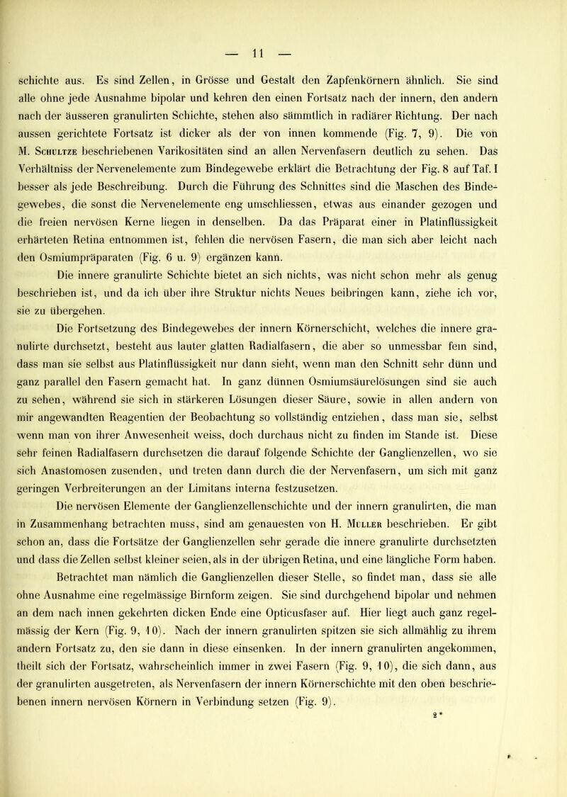 schichte aus. Es sind Zellen, in Grösse und Gestalt den Zapfenkörnern ähnlich. Sie sind alle ohne jede Ausnahme bipolar und kehren den einen Fortsatz nach der innern, den andern nach der äusseren granulirten Schichte, stehen also sämmtlich in radiärer Richtung. Der nach aussen gerichtete Fortsatz ist dicker als der von innen kommende (Fig. 7, 9). Die von M. Schultze beschriebenen Varikositäten sind an allen Nervenfasern deutlich zu sehen. Das Verhältniss der Nervenelemente zum Bindegewebe erklärt die Betrachtung der Fig. 8 auf Taf. I besser als jede Beschreibung. Durch die Führung des Schnittes sind die Maschen des Binde- gewebes, die sonst die Nervenelemente eng umschliessen, etwas aus einander gezogen und die freien nervösen Kerne liegen in denselben. Da das Präparat einer in Platinflüssigkeit erhärteten Retina entnommen ist, fehlen die nervösen Fasern, die man sich aber leicht nach den Osmiumpräparaten (Fig. 6 u. 9) ergänzen kann. Die innere granulirte Schichte bietet an sich nichts, was nicht schon mehr als genug beschrieben ist, und da ich über ihre Struktur nichts Neues beibringen kann, ziehe ich vor, sie zu übergehen. Die Fortsetzung des Bindegewebes der innern Körnerschicht, welches die innere gra- nulirte durchsetzt, besteht aus lauter glatten Radialfasern, die aber so unmessbar fein sind, dass man sie selbst aus Platinflüssigkeit nur dann sieht, wenn man den Schnitt sehr dünn und ganz parallel den Fasern gemacht hat. In ganz dünnen Osmiumsäurelösungen sind sie auch zu sehen, während sie sich in stärkeren Lösungen dieser Säure, sowie in allen andern von mir angewandten Reagentien der Beobachtung so vollständig entziehen, dass man sie, selbst wenn man von ihrer Anwesenheit weiss, doch durchaus nicht zu finden im Stande ist. Diese sehr feinen Radialfasern durchsetzen die darauf folgende Schichte der Ganglienzellen, wo sie sich Anastomosen zusenden, und treten dann durch die der Nervenfasern, um sich mit ganz geringen Verbreiterungen an der Limitans interna festzusetzen. Die nervösen Elemente der Ganglienzellenschichte und der innern granulirten, die man in Zusammenhang betrachten muss, sind am genauesten von H. Müller beschrieben. Er gibt schon an, dass die Fortsätze der Ganglienzellen sehr gerade die innere granulirte durchsetzten und dass die Zellen selbst kleiner seien, als in der übrigen Retina, und eine längliche Form haben. Betrachtet man nämlich die Ganglienzellen dieser Stelle, so findet man, dass sie alle ohne Ausnahme eine regelmässige Birnform zeigen. Sie sind durchgehend bipolar und nehmen an dem nach innen gekehrten dicken Ende eine Opticusfaser auf. Hier liegt auch ganz regel- mässig der Kern (Fig. 9, 10). Nach der innern granulirten spitzen sie sich allmählig zu ihrem andern Fortsatz zu, den sie dann in diese einsenken. In der innern granulirten angekommen, theilt sich der Fortsatz, wahrscheinlich immer in zwei Fasern (Fig. 9, 10), die sich dann, aus der granulirten ausgetreten, als Nervenfasern der innern Körnerschichte mit den oben beschrie- benen innern nervösen Körnern in Verbindung setzen (Fig. 9). 2*