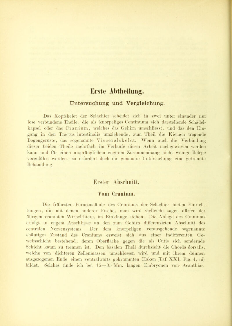 Erste Abtheilung. Untersuchung und Vergleichung. Das Kopfskelet der Selachier scheidet sich in zwei unter einander nur lose verbundene Theile: die als knorpeliges Continuum sich darstellende Schädel- kapsel oder das Cr an i um, welches das Gehirn umschliesst, und das den Ein- gang in den Tractus intestinalis umziehende, zum Theil die Kiemen tragende Bogengerüste, das sogenannte Visceralskelet. Wenn auch die Verbindung dieser beiden Theile mehrfach im Verlaufe dieser Arbeit nachgewiesen werden kann und für einen ursprünglichen engeren Zusammenhang nicht wenige Belege vorgeführt werden, so erfordert doch die genauere Untersuchung eine getrennte Behandlung. Erster Abschnitt. Vom Cranium. Die frühesten Formzustände des Craniums der Selachier bieten Einrich- tungen, die mit denen anderer Fische, man wird vielleicht sagen dürfen der übrigen cranioten Wirbelthiere, im Einklänge stehen. Die Anlage des Craniums erfolgt in engem Anschlüsse an den zum Gehirn differenzirten Abschnitt des centralen Nervensystems. Der dem knorpeligen vorausgehende sogenannte »häutige« Zustand des Craniums erweist sich aus einer indifferenten Ge- websschicht bestehend, deren Oberfläche gegen die als Cutis sich sondernde Schicht kaum zu trennen ist. Den basalen Theil durchzieht die Chorda dorsalis, welche von dichteren Zellenmassen umschlossen wird und mit ihrem dünnen ausgezogenen Ende einen ventralwärts gekrümmten Haken (Taf. XXI, Fig. 4, ch) bildet. Solches finde ich bei 15—35 Mm. langen Embryonen von- Acanthias.