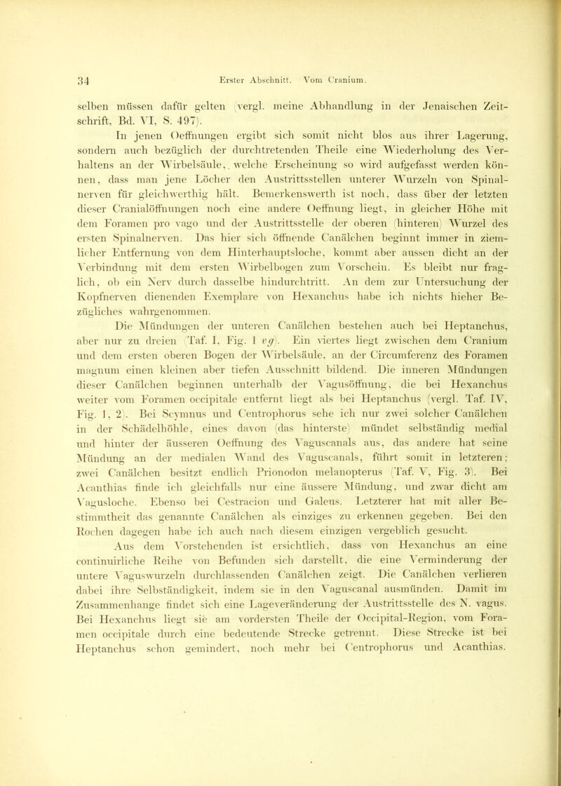 selben müssen dafür gelten (vergl. meine Abhandlung in der Jenaischen Zeit- schrift, Bd. VI, S. 497). In jenen Oeffnungen ergibt sich somit nicht blos aus ihrer Lagerung, sondern auch bezüglich der durch tretenden Theile eine Wiederholung des Ver- haltens an der Wirbelsäule,. welche Erscheinung so wird aufgefasst werden kön- nen, dass man jene Löcher den Austrittsstellen unterer Wurzeln von Spinal- nerven für gleich'werthig hält. Bemerkenswerth ist noch, dass über der letzten dieser Cranialöffnungen noch eine andere Oeffnung liegt, in gleicher Höhe mit dem Foramen pro vago und der Austrittsstelle der oberen (hinteren) Wurzel des ersten Spinalnerven. Das hier sich öffnende Canälchen beginnt immer in ziem- licher Entfernung von dem Hinterhauptsloche, kommt aber aussen dicht an der Verbindung mit dem ersten Wirbelbogen zum Vorschein. Es bleibt nur frag- lich, ob ein Nerv durch dasselbe hindurchtritt. An dem zur Untersuchung der Kopfnerven dienenden Exemplare von Hexanchus habe ich nichts hieher Be- zügliches wahrgenommen. Die Mündungen der unteren Canälchen bestehen auch bei Heptanchus, aber nur zu dreien Taf. I, Fig. 1 vg). Ein viertes liegt zwischen dem Cranium und dem ersten oberen Bogen der Wirbelsäule, an der Circumferenz des Foramen magnum einen kleinen aber tiefen Ausschnitt bildend. Die inneren Mündungen dieser Canälchen beginnen unterhalb der Vagusöffnung, die bei Hexanchus weiter vom Foramen occipitale entfernt liegt als bei Heptanchus (vergl. Taf. IV, Fig. 1, 2). Bei Scymnus und Centrophorus sehe ich nur zwei solcher Canälchen in der Schädelhöhle, eines davon (das hinterste) mündet selbständig medial und hinter der äusseren Oeffnung des Vaguscanals aus, das andere hat seine Mündung an der medialen Wand des Vaguscanals, führt somit in letzteren; zwei Canälchen besitzt endlich Prionodon melanopterus (Taf. V, Fig. 3). Bei Acanthias finde ich gleichfalls nur eine äussere Mündung, und zwar dicht am Vagusloche. Ebenso bei Cestracion und Galeus. Letzterer hat mit aller Be- stimmtheit das genannte Canälchen als einziges zu erkennen gegeben. Bei den Rochen dagegen habe ich auch nach diesem einzigen vergeblich gesucht. Aus dem Vorstehenden ist ersichtlich, dass von Hexanchus an eine continuirliche Reihe von Befunden sich darstellt, die eine Verminderung der untere Vaguswurzeln durchlassenden Canälchen zeigt. Die Canälchen verlieren dabei ihre Selbständigkeit, indem sie in den Vaguscanal ausmünden. Damit im Zusammenhänge findet sich eine Lageveränderung der Austrittsstelle des N. vagus. Bei Hexanchus liegt sie am vordersten Theile der Occipital-Region, vom Fora- men occipitale durch eine bedeutende Strecke getrennt. Diese Strecke ist bei Heptanchus schon gemindert, noch mehr bei Centrophorus und Acanthias.