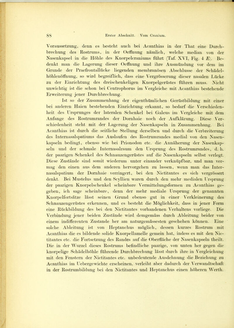 Voraussetzung, denn es besteht auch bei Acanthias in der That eine Durch- brechung des Rostrums, in der Oeffnung nämlich, welche median von der Nasenkapsel in die Höhle des Knorpelcraniums führt (Taf. XVI, Fig. 4 E). Be- denkt man die Lagerung dieser Oeffnung und ihre Ausmündung vor dem im Grunde der Praefrontallücke liegenden membranösen Abschlüsse der Schädel- höhlenöffnung, so wird begreiflich, dass eine Vergrösserung dieser nasalen Lücke zu der Einrichtung des dreischenkeligen Knorpelgerüstes führen muss. Nicht unwichtig ist die schon bei Centrophorus im Vergleiche mit Acanthias bestehende Erweiterung jener Durchbrechung. Ist so der Zusammenhang der eigenthümlichen Gerüstbildung mit einer bei anderen Haien bestehenden Einrichtung erkannt, so bedarf die Verschieden- heit des Ursprunges der lateralen Schenkel bei Galeus im Vergleiche mit dem Anfänge des Rostrumrandes der Dornhaie noch der Aufklärung. Diese Ver- schiedenheit steht mit der Lagerung der Nasenkapseln in Zusammenhang. Bei Acanthias ist durch die seitliche Stellung derselben und durch die Verbreiterung des Internasalspatiums das Auslaufen des Rostrumrandes medial von den Nasen- kapseln bedingt, ebenso wie bei Prionodon etc. die Annäherung der Nasenkap- seln und der schmale Internasalraum den Ursprung des Rostrumrandes, d. h. der paarigen Schenkel des Schnauzengerüstes auf die Nasenkapseln selbst verlegt. Diese Zustände sind somit wiederum unter einander verknüpfbar, und man ver- mag den einen aus dem anderen hervorgehen zu lassen, wenn man das Inter- nasalspatium der Dornhaie verringert, bei den Nictitantes es sich vergrössert denkt. Bei Mustelus und den Scyllien waren durch den mehr medialen Ursprung der paarigen Knorpelschenkel scheinbare Vermittelungsformen zu Acanthias ge- geben, ich sage scheinbare, denn der mehr mediale Ursprung der genannten Knorpelfortsätze lässt seinen Grund ebenso gut in einer Verkleinerung des Schnauzengerüstes erkennen, und es besteht die Möglichkeit, dass in jener Form eine Rückbildung des bei den Nictitantes vorhandenen Verhaltens vorliege. Die Verbindung jener beiden Zustände wird demgemäss durch Ableitung beider von einem indifferenten Zustande her am naturgemässesten geschehen können. Eine solche Ableitung ist von Heptanchus möglich, dessen kurzes Rostrum mit Acanthias die es bildende solide Knorpellamelle gemein hat, indess es mit den Nic- titantes etc. die Fortsetzung des Randes auf die Oberfläche der Nasenkapseln theilt. Die in der Wurzel dieses Rostrums befindliche paarige, von unten her gegen die knorpelige Schädelhöhle führende Durchbrechung lässt durch ihre in Vergleichung mit den Fenstern der Nictitantes etc. unbedeutende Ausdehnung die Beziehung zu Acanthias im Uebergewichte erscheinen, verleiht aber dadurch der Verwandtschaft in der Rostrumbildung bei den Nictitantes und Heptanchus einen höheren Werth.