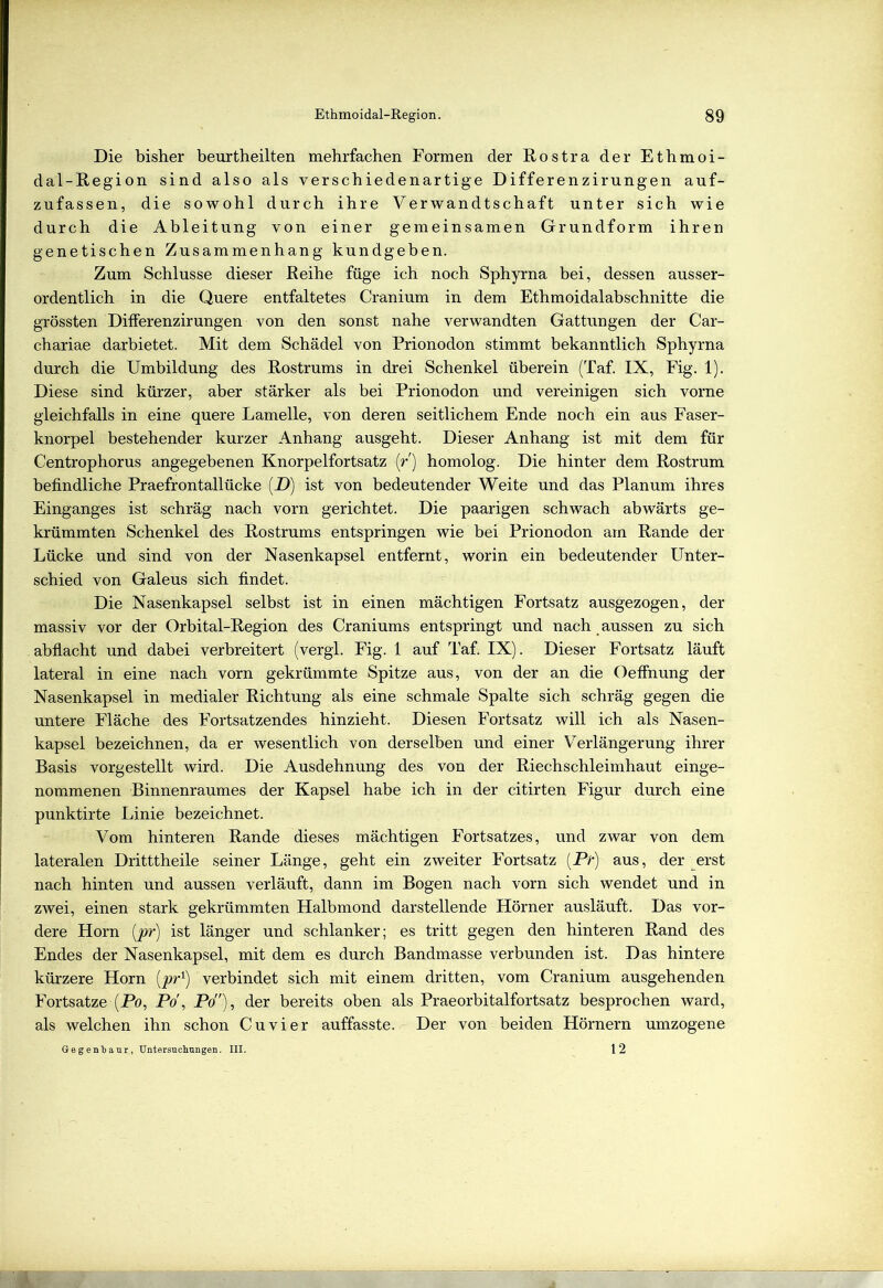 Die bisher beurtheilten mehrfachen Formen der Rostra der Ethmoi- dal-Region sind also als verschiedenartige Differenzirungen auf- zufassen, die sowohl durch ihre Verwandtschaft unter sich wie durch die Ableitung von einer gemeinsamen Grundform ihren genetischen Zusammenhang kundgeben. Zum Schlüsse dieser Reihe füge ich noch Sphyrna bei, dessen ausser- ordentlich in die Quere entfaltetes Cranium in dem Ethmoidalabschnitte die grössten Differenzirungen von den sonst nahe verwandten Gattungen der Car- chariae darbietet. Mit dem Schädel von Prionodon stimmt bekanntlich Sphyrna durch die Umbildung des Rostrums in drei Schenkel überein (Taf. IX, Fig. 1). Diese sind kürzer, aber stärker als bei Prionodon und vereinigen sich vorne gleichfalls in eine quere Lamelle, von deren seitlichem Ende noch ein aus Faser- knorpel bestehender kurzer Anhang ausgeht. Dieser Anhang ist mit dem für Centrophorus angegebenen Knorpelfortsatz (/) homolog. Die hinter dem Rostrum befindliche Praefrontallücke (D) ist von bedeutender Weite und das Planum ihres Einganges ist schräg nach vorn gerichtet. Die paarigen schwach abwärts ge- krümmten Schenkel des Rostrums entspringen wie bei Prionodon am Rande der Lücke und sind von der Nasenkapsel entfernt, worin ein bedeutender Unter- schied von Galeus sich findet. Die Nasenkapsel selbst ist in einen mächtigen Fortsatz ausgezogen, der massiv vor der Orbital-Region des Craniums entspringt und nach aussen zu sich abflacht und dabei verbreitert (vergl. Fig. 1 auf Taf. IX). Dieser Fortsatz läuft lateral in eine nach vorn gekrümmte Spitze aus, von der an die Oeffnung der Nasenkapsel in medialer Richtung als eine schmale Spalte sich schräg gegen die untere Fläche des Fortsatzendes hinzieht. Diesen Fortsatz will ich als Nasen- kapsel bezeichnen, da er wesentlich von derselben und einer Verlängerung ihrer Basis vorgestellt wird. Die Ausdehnung des von der Riechschleimhaut einge- nommenen Binnenraumes der Kapsel habe ich in der citirten Figur durch eine punktirte Linie bezeichnet. Vom hinteren Rande dieses mächtigen Fortsatzes, und zwar von dem lateralen Dritttheile seiner Länge, geht ein zweiter Fortsatz [Pr) aus, der erst nach hinten und aussen verläuft, dann im Bogen nach vorn sich wendet und in zwei, einen stark gekrümmten Halbmond darstellende Hörner ausläuft. Das vor- dere Horn [pr) ist länger und schlanker; es tritt gegen den hinteren Rand des Endes der Nasenkapsel, mit dem es durch Bandmasse verbunden ist. Das hintere kürzere Horn [pr1) verbindet sich mit einem dritten, vom Cranium ausgehenden Fortsatze (Po, Po, Po”), der bereits oben als Praeorbitalfortsatz besprochen ward, als welchen ihn schon Cu vier auffasste. Der von beiden Hörnern umzogene