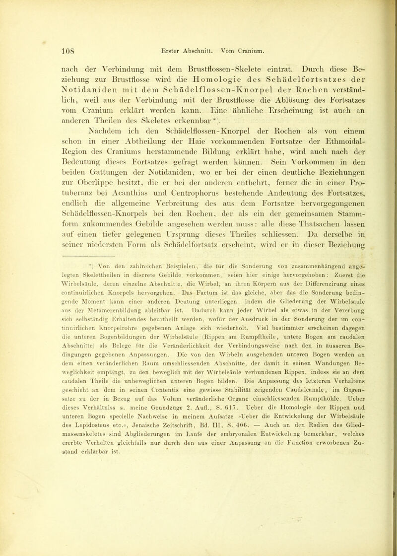 nach der Verbindung mit dem Brustflossen-Skelete eintrat. Durch diese Be- ziehung zur Brustflosse wird die Homologie des Schädelfortsatzes der Notidaniden mit dem Schädelflossen-Knorpel der Rochen verständ- lich, weil aus der Verbindung mit der Brustflosse die Ablösung des Fortsatzes vom Cranium erklärt werden kann. Eine ähnliche Erscheinung ist auch an anderen Theilen des Skeletes erkennbar *). Nachdem ich den Schädelflossen-Knorpel der Kochen als von einem schon in einer Abtheilung der Haie Vorkommen den Fortsätze der Ethmoidal- Kegion des Craniums herstammende Bildung erklärt habe, wird auch nach der Bedeutung dieses Fortsatzes gefragt werden können. Sein Vorkommen in den beiden Gattungen der Notidaniden, wo er bei der einen deutliche Beziehungen zur Oberlippe besitzt, die er bei der anderen entbehrt, ferner die in einer Pro- tuberanz bei Acanthias und Centrophorus bestehende Andeutung des Fortsatzes, endlich die allgemeine Verbreitung des aus dem Fortsatze hervorgegangenen Schädelflossen-Knorpels bei den Rochen, der als ein der gemeinsamen Stamm- form zukommendes Gebilde angesehen werden muss: alle diese Thatsachen lassen auf einen tiefer gelegenen Ursprung dieses Theiles schliessen. Da derselbe in seiner niedersten Form als Schädelfortsatz erscheint, wird er in dieser Beziehung ■*) Von den zahlreichen Beispielen, die für die Sonderung von zusammenhängend ange- legten Skelettheilen in discrete Gebilde Vorkommen, seien hier einige hervorgehoben: Zuerst die Wirbelsäule, deren einzelne Abschnitte, die Wirbel, an ihren Körpern aus der Differenzirung eines continuirlichen Knorpels hervorgehen. Das Factum ist das gleiche, aber das die Sonderung bedin- gende Moment kann einer anderen Deutung unterliegen, indem die Gliederung der Wirbelsäule aus der Metamerenbildung ableitbar ist. Dadurch kann jeder Wirbel als etwas in der Vererbung sich selbständig Erhaltendes beurtheilt werden, wofür der Ausdruck in der Sonderung der im con- tinuirlichen Knorpelrohre gegebenen Anlage sich wiederholt. Viel bestimmter erscheinen dagegen die unteren Bogenbildungen der Wirbelsäule (Rippen am Rumpftheile, untere Bogen am caudalen Abschnitte) als Belege für die Veränderlichkeit der Verbindungs weise nach den in äusseren Be- dingungen gegebenen Anpassungen. Die von den Wirbeln ausgehenden unteren Bogen werden an dem einen veränderlichen Raum umschliessenden Abschnitte, der damit in seinen Wandungen Be- weglichkeit empfängt, zu den beweglich mit der Wirbelsäule verbundenen Rippen, indess sie an dem caudalen Theile die unbeweglichen unteren Bogen bilden. Die Anpassung des letzteren Verhaltens geschieht an dem in seinen Contentis eine gewisse Stabilität zeigenden Caudalcanale, im Gegen- sätze zu der in Bezug auf das Volum veränderliche Organe einschliessenden Rumpfhöhle. Ueber dieses Verhältniss s. meine Grundzüge 2. Aufl., S. 617. Ueber die Homologie der Rippen und unteren Bogen specielle Nachweise in meinem Aufsatze »Ueber die Entwickelung der Wirbelsäule des Lepidosteus etc.«, Jenaische Zeitschrift, Bd. III, S. 406. — Auch an den Radien des Glied- massenskeletes sind Abgliederungen im Laufe der embryonalen Entwickelung bemerkbar, welches ererbte Verhalten gleichfalls nur durch den aus einer Anpassung an die Function erworbenen Zu- stand erklärbar ist.