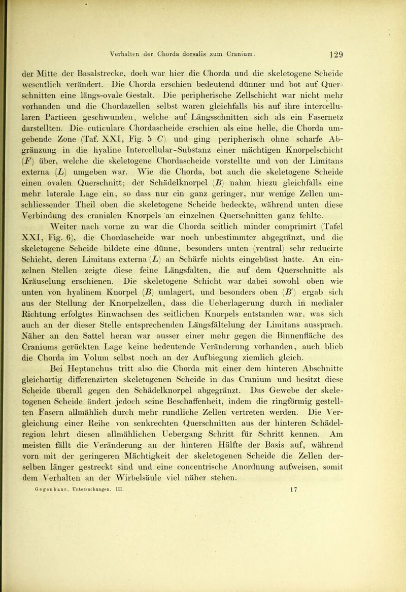 der Mitte der Basalstrecke, doch war hier die Chorda und die skeletogene Scheide wesentlich verändert. Die Chorda erschien bedeutend dünner und bot auf Quer- schnitten eine längs-ovale Gestalt. Die peripherische Zellschicht war nicht mehr vorhanden und die Chordazellen selbst waren gleichfalls bis auf ihre intercellu- laren Partieen geschwunden, welche auf Längsschnitten sich als ein Fasernetz darstellten. Die cuticulare Chordascheide erschien als eine helle, die Chorda um- gebende Zone (Taf. XXI, Fig. 5 C) und ging peripherisch ohne scharfe Ab- gränzung in die hyaline Intercellular-Substanz einer mächtigen Knorpelschicht (F) über, welche die skeletogene Chordascheide vorstellte und von der Limitans externa [L) umgeben war. Wie die Chorda, bot auch die skeletogene Scheide einen ovalen Querschnitt; der Schädelknorpel (B) nahm hiezu gleichfalls eine mehr laterale Lage ein, so dass nur ein ganz geringer, nur wenige Zellen um- schliessender Theil oben die skeletogene Scheide bedeckte, während unten diese Verbindung- des cranialen Knorpels an einzelnen Querschnitten ganz fehlte. Weiter nach vorne zu war die Chorda seitlich minder comprimirt (Tafel XXI, Fig. 6), die Chordascheide war noch unbestimmter abgegränzt, und die skeletogene Scheide bildete eine dünne, besonders unten (ventral) sehr reducirte Schicht, deren Limitans externa (L) an Schärfe nichts eingebüsst hatte. An ein- zelnen Stellen zeigte diese feine Längsfalten, die auf dem Querschnitte als Kräuselung erschienen. Die skeletogene Schicht war dabei sowohl oben wie unten von hyalinem Knorpel (B) umlagert, und besonders oben [B') ergab sich aus der Stellung der Knorpelzellen, dass die Leberlagerung durch in medialer Richtung erfolgtes Ein wachsen des seitlichen Knorpels entstanden war, was sich auch an der dieser Stelle entsprechenden Längsfältelung der Limitans aussprach. Näher an den Sattel heran war ausser einer mehr gegen die Binnenfläche des Craniums gerückten Lage keine bedeutende Veränderung vorhanden, auch blieb die Chorda im Volum selbst noch an der Aufbiegung ziemlich gleich. Bei Heptanchus tritt also die Chorda mit einer dem hinteren Abschnitte gleichartig diflerenzirten skeletogenen Scheide in das Cranium und besitzt diese Scheide überall gegen den Schädelknorpel abgegränzt. Das Gewebe der skele- togenen Scheide ändert jedoch seine Beschaffenheit, indem die ringförmig gestell- ten Fasern allmählich durch mehr rundliche Zellen vertreten werden. Die Ver- gleichung einer Reihe von senkrechten Querschnitten aus der hinteren Schädel- region lehrt diesen allmählichen Uebergang Schritt für Schritt kennen. Am meisten fällt die Veränderung an der hinteren Hälfte der Basis auf, während vorn mit der geringeren Mächtigkeit der skeletogenen Scheide die Zellen der- selben länger gestreckt sind und eine concentrische Anordnung aufweisen, somit dem Verhalten an der Wirbelsäule viel näher stehen. Gegenhaur, Untersuchungen. III. 17