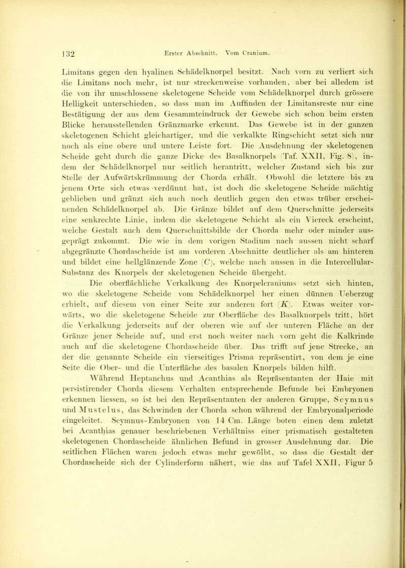 Limitans gegen den hyalinen Schädelknorpel besitzt. Nach vorn zn verliert sich die Limitans noch mehr, ist nur streckenweise vorhanden, aber bei alledem ist die von ihr umschlossene skeletogene Scheide vom Schädelknorpel durch grössere Helligkeit unterschieden, so dass man im Auffinden der Limitansreste nur eine Bestätigung der aus dem Gesammteindruck der Gewebe sich schon beim ersten Blicke herausstellenden Gränzmarke erkennt. Das Gewebe ist in der ganzen skeletogenen Schicht gleichartiger, und die verkalkte Ringschicht setzt sich nur noch als eine obere und untere Leiste fort. Die Ausdehnung der skeletogenen Scheide geht durch die ganze Dicke des Basalknorpels (Taf. XXII, Fig. 8), in- dem der Schädelknorpel nur seitlich heran tritt, welcher Zustand sich bis zur Stelle der Aufwärtskrümmung der Chorda erhält. Obwohl die letztere bis zu jenem Orte sich etwas -verdünnt hat, ist doch die skeletogene Scheide mächtig geblieben und gränzt sich auch noch deutlich gegen den etwas trüber erschei- nenden Schädelknorpel ab. Die Gränze bildet auf dem Querschnitte jederseits eine senkrechte Linie, indem die skeletogene Schicht als ein Viereck erscheint, welche Gestalt auch dem Querschnittsbilde der Chorda mehr oder minder aus- geprägt zukommt. Die wie in dem vorigen Stadium nach aussen nicht scharf ahgegränzte Chordascheide ist am vorderen Abschnitte deutlicher als am hinteren und bildet eine hellglänzende Zone (C), welche nach aussen in die Intercellular- Substanz des Knorpels der skeletogenen Scheide übergeht. Die oberflächliche Verkalkung des Knorpelcraniums setzt sich hinten, wo die skeletogene Scheide vom Schädelknorpel her einen dünnen Ueberzug erhielt, auf diesem von einer Seite zur anderen fort (K). Etwas weiter vor- wärts, wo die skeletogene Scheide zur Oberfläche des Basalknorpels tritt, hört die Verkalkung jederseits auf der oberen wie auf der unteren Fläche an der Gränze jener Scheide auf, und erst noch weiter nach vorn geht die Kalkrinde auch auf die skeletogene Chordascheide über. Das trifft auf jene Strecke, an der die genannte Scheide ein vierseitiges Prisma repräsentirt, von dem je eine Seite die Ober- und die Unterfläche .des basalen Knorpels bilden hilft. Während Heptanchus und Acanthias als Repräsentanten der Haie mit persistirender Chorda diesem Verhalten entsprechende Befunde bei Embryonen erkennen Hessen, so ist bei den Repräsentanten der anderen Gruppe, Scymnus und Mustelus, das Schwinden der Chorda schon während der Embryonalperiode eingeleitet. Scymnus-Embryonen von 14 Cm. Länge boten einen dem zuletzt bei Acanthias genauer beschriebenen Verhältniss einer prismatisch gestalteten skeletogenen Chordascheide ähnlichen Befund in grosser Ausdehnung dar. Die seitlichen Flächen waren jedoch etwas mehr gewölbt, so dass die Gestalt der Chordascheide sich der Cylinderform nähert, wie das auf Tafel XXII, Figur 5