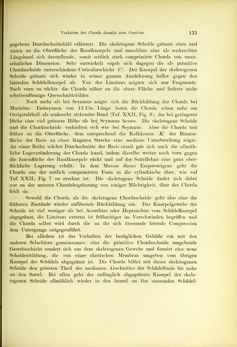 gegebene Durchschnittsbild erläutert. Die skeletogene Scheide gränzte oben und unten an die Oberfläche des Basalknorpels und umschloss eine als senkrechtes Längsband sich darstellende, somit seitlich stark comprimirte Chorda von unan- sehnlicher Dimension. Sehr entwickelt ergab sich dagegen die als primitive Chordascheide unterschiedene Cuticularschicht (C). Der Knorpel der skeletogenen Scheide gränzte sich wieder in seiner ganzen Ausdehnung heller gegen den lateralen Schädelknorpel ab. Von der Limitans zeigten sich nur Fragmente. Nach vorn zu rückte die Chorda näher an die obere Fläche und lieferte mehr scheibenförmige Querschnittsbilder. Noch mehr als bei Scymnus zeigte sich die Rückbildung der Chorda bei Mustelus. Embryonen von 13 Cm. Länge boten die Chorda schon nahe am Occipitaltheil als senkrecht stehendes Band (Taf. XXII, Fig. 6), das bei geringerer Dicke eine viel grössere Höhe als bei Scymnus besass. Die skeletogene Scheide und die Chordascheide verhielten sich wie bei Scymnus. Aber die Chorda trat früher an die Oberfläche, dem entsprechend die Kalkkruste (K) der Binnen- fläche der Basis an einer längeren Strecke eine mediane Unterbrechung zeigte. An einer Reihe solcher Durchschnitte der Basis cranii gab sich auch die allmäh- liche Lageveränderung der Chorda kund, indem dieselbe weiter nach vorn gegen die Innenfläche des Basalknorpels rückt und auf der Sattellehne eine ganz ober- flächliche Lagerung erhält. In dem Maasse dieses Emporsteigens geht die Chorda aus der seitlich comprimirten Form in die cylindrische über, wie auf Taf. XXII, Fig. 7 zu ersehen ist. Die skeletogene Scheide findet sich dabei nur an der unteren Chordabegränzung von einiger Mächtigkeit, über der Chorda fehlt sie. Sowohl die Chorda als die skeletogene Chordascheide geht also eine die früheren Zustände wieder auf lösende Rückbildung ein. Das Knorpelgewebe der Scheide ist viel weniger als bei Acanthias oder Heptanchus vom Schädelknorpel abgegränzt, die Limitans externa ist frühzeitiger im Verschwinden begriffen und die Chorda selbst wird durch die an ihr sich äussernde laterale Compression dem Untergange entgegenführt. Bei alledem ist das Verhalten der bezüglichen Gebilde ein mit den anderen Selachiern gemeinsames: eine die primitive Chordascheide umgebende Gewebsschicht sondert sich aus dem skeletogenen Gewebe und formirt eine neue Scheidenbildung, die von einer elastischen Membran umgeben vom übrigen Knorpel des Schädels abgegränzt ist. Die Chorda bildet mit dieser skeletogenen Scheide den grössten Theil des medianen Abschnittes der Schädelbasis bis nahe an • den Sattel. Bei allen geht der anfänglich abgegränzte Knorpel der skele- togenen Scheide allmählich wieder in den lateral an ihn stossenden Schädel-