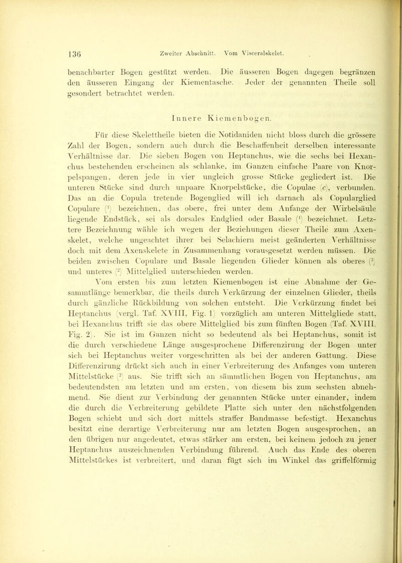 benachbarter Bogen gestützt werden. Die äusseren Bogen dagegen begränzen den äusseren Eingang der Kiementasche. Jeder der genannten Theile soll gesondert betrachtet werden. Innere Kiemenbogen. Für diese Skelettheile bieten die Notidaniden nicht bloss durch die grössere Zahl der Bogen, sondern auch durch die Beschaffenheit derselben interessante Verhältnisse dar. Die sieben Bogen von Heptanchus, wie die sechs bei Hexan- chus bestehenden erscheinen als schlanke, im Ganzen einfache Paare von Knor- pelspangen, deren jede in vier ungleich grosse Stücke gegliedert ist. Die unteren Stücke sind durch unpaare Knorpelstücke, die Copulae (c), verbunden. Das an die Copula tretende Bogenglied will ich darnach als Copularglied Copulare (') bezeichnen, das obere, frei unter dem Anfänge der Wirbelsäule liegende Endstück, sei als dorsales Endglied oder Basale (4) bezeichnet. Letz- tere Bezeichnung wähle ich wegen der Beziehungen dieser Theile zum Axen- skelet, welche ungeachtet ihrer bei Selachiern meist geänderten Verhältnisse doch mit dem Axenskelete in Zusammenhang vorausgesetzt werden müssen. Die beiden zwischen Copulare und Basale liegenden Glieder können als oberes (3) und unteres (2) Mittelglied unterschieden werden. Vom ersten bis zum letzten Kiemenbogen ist eine Abnahme der Ge- sammtlänge bemerkbar, die theils durch Verkürzung der einzelnen Glieder, theils durch gänzliche Rückbildung von solchen entsteht. Die Verkürzung findet bei Heptanchus (vergl. Taf. XVIII, Fig. 1) vorzüglich am unteren Mittelglie.de statt, bei Hexanchus trifft sie das obere Mittelglied bis zum fünften Bogen (Taf. XVII1, Fig. 2). Sie ist im Ganzen nicht so bedeutend als bei Heptanchus, somit ist die durch verschiedene Länge ausgesprochene Differenzirung der Bogen unter sich bei Heptanchus weiter vorgeschritten als bei der anderen Gattung. Diese Differenzirung drückt sich auch in einer Verbreiterung des Anfanges vom unteren Mittelstücke (2) aus. Sie trifft sich an sämmtlichen Bogen von Heptanchus, am bedeutendsten am letzten und am ersten, von diesem bis zum sechsten abneh- mend. Sie dient zur Verbindung der genannten Stücke unter einander, indem die durch die Verbreiterung gebildete Platte sich unter den nächstfolgenden Bogen schiebt und sich dort mittels straffer Bandmasse befestigt. Hexanchus besitzt eine derartige Verbreiterung nur am letzten Bogen ausgesprochen, an den übrigen nur angedeutet, etwas stärker am ersten, bei keinem jedoch zu jener Heptanchus auszeichnenden Verbindung führend. Auch das Ende des oberen Mittelstückes ist verbreitert, und daran fügt sich im Winkel das griffelförmig