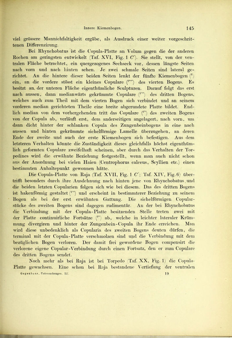 viel grössere Mannichfaltigkeit ergäbe, als Ausdruck einer weiter vorgeschrit- tenen Differenzirung. Bei Rhynchobatus ist die Copula-Platte an Volum gegen die der anderen Rochen am geringsten entwickelt (Taf. XVI, Fig. 1 C'). Sie stellt, von der ven- tralen Fläche betrachtet, ein quergezogenes Sechseck vor, dessen längste Seiten nach vorn und nach hinten sehen. Je zwei schmale Seiten sind lateral ge- richtet. An die hintere dieser beiden Seiten lenkt der fünfte Kiemenbogen (v) ein, an die vordere stösst ein kleines Copulare (1) des vierten Bogens. Es besitzt an. der unteren Fläche eigenthümliche Sculpturen. Darauf folgt das erst nach aussen, dann medianwärts gekrümmte Copulare ;des dritten Bogens, welches auch zum Theil mit dem vierten Bogen sich verbindet und an seinem vorderen median gerichteten Theile eine breite abgerundete Platte bildet. End- lich median von dem vorhergehenden tritt das Copulare (l,/) des zweiten Bogens von der Copula ab, verläuft erst, dem anderseitigen angelagert, nach vorn, um dann dicht hinter der schlanken Copula des Zungenbeinbogens in eine nach aussen und hinten gekrümmte sichelförmige Lamelle überzugehen, an deren Ende der zweite und auch der erste Kiemenbogen sich befestigen. Aus dem letzteren Verhalten könnte die Zuständigkeit dieses gleichfalls höchst eigenthüm- lich geformten Copulare zweifelhaft scheinen, aber durch das Verhalten der Tor- pedines wird die erwähnte Beziehung festgestellt, wenn man auch nicht schon aus der Anordnung bei vielen Haien (Centrophorus calceus, Scyllien etc.) einen bestimmten Anhaltepunkt gewonnen hätte. Die Copula-Platte von Raja (Taf. XVII, Fig. 1 C'; Taf. XIV, Fig. 6) über- trifft besonders durch ihre Ausdehnung nach hinten jene von Rhynchobatus . und die beiden letzten Copularien folgen sich wie bei diesem. Das des dritten Bogens ist hakenförmig gestaltet (1') und erscheint in bestimmterer Beziehung zu seinem Bogen als bei der erst erwähnten Gattung. Die sichelförmigen Copular- stücke des zweiten Bogens sind dagegen rudimentär. An der bei Rhynchobatus die Verbindung mit der Copula-Platte besitzenden Stelle treten zwei mit der Platte continuirliche Fortsätze (l) ab, welche in leichter lateraler Krüm- mung divergiren und hinter der Zungenbein-Copula ihr Ende erreichen. Man wird diese unbedenklich als Copularia des zweiten Bogens deuten dürfen, die terminal mit der Copula-Platte verschmolzen sind und die Verbindung mit dem bezüglichen Bogen verloren. Der damit frei gewordene Bogen compensirt die verlorene eigene Copular -Verbindung durch einen Fortsatz, den er zum Copulare des dritten Bogens sendet. Noch mehr als bei Raja ist bei Torpedo (Taf. XX, Fig. 1) die Copula- Platte gewachsen. Eine schon bei Raja bestandene Vertiefung der ventralen Gegenbaur, Untersuchungen. III. 19