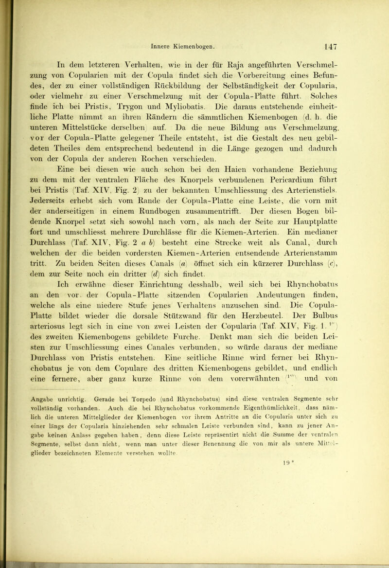 In dem letzteren Verhalten, wie in der für Raja angeführten Verschmel- zung von Copularien mit der Copula findet sich die Vorbereitung eines Befun- des, der zu einer vollständigen Rückbildung der Selbständigkeit der Copularia, oder vielmehr zu einer Verschmelzung mit der Copula-Platte führt. Solches finde ich bei Pristis, Trygon und Myliobatis. Die daraus entstehende einheit- liche Platte nimmt an ihren Rändern die sämmtlichen Kiemenbogen (d. h. die unteren Mittelstücke derselben auf. Da die neue Bildung aus Verschmelzung, vor der Copula-Platte gelegener Theile entsteht, ist die Gestalt des neu gebil- deten Theiles dem entsprechend bedeutend in die Länge gezogen und dadurch von der Copula der anderen Rochen verschieden. Eine bei diesen wie auch schon bei den Haien vorhandene Beziehung zu dem mit der ventralen Fläche des Knorpels verbundenen Pericardium führt bei Pristis (Taf. XIV. Fig. 2) zu der bekannten Umschliessung des Arterienstiels. Jederseits erhebt sich vom Rande der Copula-Platte eine Leiste, die vorn mit der anderseitigen in einem Rundbogen zusammentrifft. Der diesen Bogen bil- dende Knorpel setzt sich sowohl nach vorn, als nach der Seite zur Hauptplatte fort und umschliesst mehrere Durchlässe für die Kiemen-Arterien. Ein medianer Durchlass (Taf. XIV, Fig. 2 ab) besteht eine Strecke weit als Canal, durch welchen der die beiden vordersten Kiemen-Arterien entsendende Arterienstamm tritt. Zu beiden Seiten dieses Canals (a) öffnet sich ein kürzerer Durchlass (c), dem zur Seite noch ein dritter (d) sich findet. Ich erwähne dieser Einrichtung desshalb, weil sich bei Rhynchobatus an den vor, der Copula-Platte sitzenden Copularien Andeutungen finden, welche als eine niedere Stufe jenes Verhaltens anzusehen sind. Die Copula- Platte bildet wieder die dorsale Stützwand für den Herzbeutel. Der Bulbus arteriosus legt sich in eine von zwei Leisten der Copularia (Taf. XIV, Fig. 1. des zweiten Kiemenbogens gebildete Furche. Denkt man sich die beiden Lei- sten zur Umschliessung eines Canales verbunden, so würde daraus der mediane Durchlass von Pristis entstehen. Eine seitliche Rinne wird ferner bei Rhyn- chobatus je von dem Copulare des dritten Kiemenbogens gebildet, und endlich eine fernere, aber ganz kurze Rinne von dem vorerwähnten 1'' und von Angabe unrichtig. Gerade bei Torpedo (und Rhynchobatus) sind diese ventralen Segmente sehr vollständig vorhanden. Auch die bei Rhynchobatus vorkommende Eigenthümlichkeit, dass näm- lich die unteren Mittelglieder der Kiemenbogen vor ihrem Antritte an die Copularia unter sich zu einer längs der Copularia hinziehenden sehr schmalen Leiste verbunden sind, kann zu jener An- gabe keinen Anlass gegeben haben, denn diese Leiste repräsentirt nicht die Summe der ventralen Segmente, selbst dann nicht, wenn man unter dieser Benennung die von mir als untere Mittel- glieder bezeichneten Elemente verstehen wollte. 19