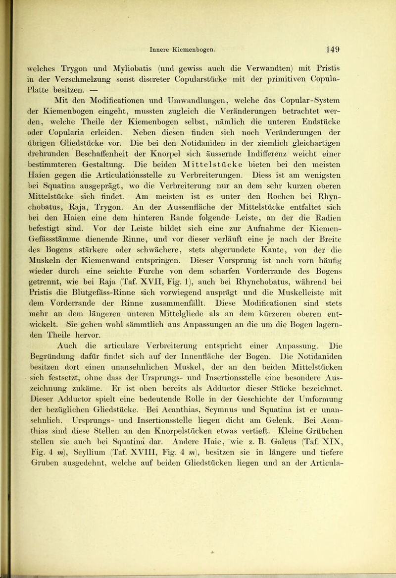 welches Trygon und Myliobatis (und gewiss auch die Verwandten) mit Pristis in der Verschmelzung sonst discreter Copularstücke mit der primitiven Copula- Platte besitzen. — Mit den Modificationen und Umwandlungen, welche das Copular-System der Kiemenbogen eingeht, mussten zugleich die Veränderungen betrachtet wer- den, welche Theile der Kiemenbogen selbst, nämlich die unteren Endstücke oder Copularia erleiden. Neben diesen finden sich noch Veränderungen der übrigen Gliedstücke vor. Die bei den Notidaniden in der ziemlich gleichartigen drehrunden Beschaffenheit der Knorpel sich äussernde Indifferenz weicht einer bestimmteren Gestaltung. Die beiden Mittelstücke bieten bei den meisten Haien gegen die Articulatiönsstelle zu Verbreiterungen. Diess ist am wenigsten bei Squatina ausgeprägt, wo die Verbreiterung nur an dem sehr kurzen oberen Mittelstücke sich findet. Am meisten ist es unter den Kochen bei Rhyn- chobatus, Raja, Trygon. An der Aussenfläche der Mittelstücke entfaltet sich bei den Plaien eine dem hinteren Rande folgende- Leiste, an der die Radien befestigt sind. Vor der Leiste bildet sich eine zur Aufnahme der Kiemen- Gefässstämme dienende Rinne, und vor dieser verläuft eine je nach der Breite des Bogens stärkere oder schwächere, stets abgerundete Kante, von der die Muskeln der Kiemen wand entspringen. Dieser Vorsprung ist nach vorn häufig wieder durch eine seichte Furche von dem scharfen Vorderrande des Bogens getrennt, wie bei Raja (Taf. XVII, Fig. 1), auch bei Rhynchobatus, während bei Pristis die Blutgefäss-Rinne sich vorwiegend ausprägt und die Muskelleiste mit dem Vorderrande der Rinne zusammenfällt. Diese Modificationen sind stets mehr an dem längeren unteren Mittelgliede als an dem kürzeren oberen ent- wickelt. Sie gehen wohl sämmtlich aus Anpassungen an die um die Bogen lagern- den Theile hervor. Auch die articulare Verbreiterung entspricht einer Anpassung. Die Begründung dafür findet sich auf der Innenfiäche der Bogen. Die Notidaniden besitzen dort einen unansehnlichen Muskel, der an den beiden Mittelstücken sich festsetzt, ohne dass der Ursprungs- und Insertionsstelle eine besondere Aus- zeichnung zukäme. Er ist oben bereits als Adductor dieser Stücke bezeichnet. Dieser Adductor spielt eine bedeutende Rolle in der Geschichte der Umformung der bezüglichen Gliedstücke. Bei Acanthias, Scymnus und Squatina ist er unan- sehnlich. Ursprungs- und Insertionsstelle liegen dicht am Gelenk. Bei Acan- thias sind diese Stellen an den Knorpelstücken etwas vertieft. Kleine Grübchen stellen sie auch bei Squatina dar. Andere Haie, wie z. B. Galeus (Taf. XIX, Fig. 4 m), Scyllium (Taf. XVIII, Fig. 4 m), besitzen sie in längere und tiefere Gruben ausgedehnt, welche auf beiden Gliedstücken liegen und an der Articula-