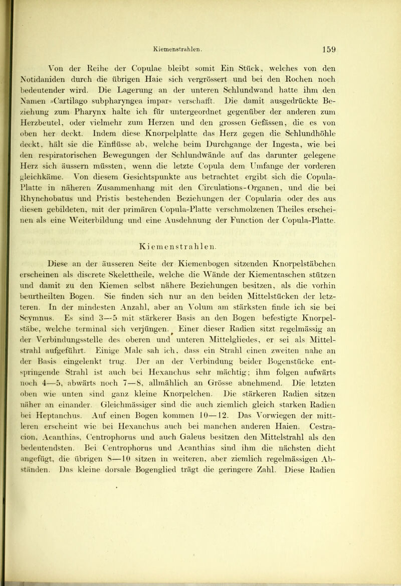 Yon der Reihe der Copulae bleibt somit Ein Stück, welches von den Notidaniden durch die übrigen Haie sich vergrössert und bei den Rochen noch bedeutender wird. Die Lagerung an der unteren Schlund wand hatte ihm den Namen »Cartilago subpharyngea impar« verschafft. Die damit ausgedrückte Be- ziehung zum Pharynx halte ich für untergeordnet gegenüber der anderen zum Herzbeutel, oder vielmehr zum Herzen und den grossen Gefässen, die es von oben her deckt. Indem diese Knorpelplatte das Herz gegen die Schlundhöhle deckt, hält sie die Einflüsse ab, welche beim Durchgänge der Ingesta, wie bei den respiratorischen Bewegungen der Schlundwände auf das darunter gelegene Herz sich äussern müssten, wenn die letzte Copula dem Umfange der vorderen gleichkäme. Von diesem Gesichtspunkte aus betrachtet ergibt sich die Copula- Platte in näheren Zusammenhang mit den Circulations-Organen, und die bei Rhynchobatus und Pristis bestehenden Beziehungen der Copularia oder des aus diesen gebildeten, mit der primären Copula-Platte verschmolzenen Theiles erschei- nen als eine Weiterbildung und eine Ausdehnung der Function der Copula-Platte. Ki emenstrahlen. Diese an der äusseren Seite der Kiemenbogen sitzenden Knorpelstäbchen erscheinen als discrete Skelettheile, welche die Wände der Kiementaschen stützen und damit zu den Kiemen selbst nähere Beziehungen besitzen, als die vorhin beurtheilten Bogen. Sie finden sich nur an den beiden Mittelstücken der letz- teren. In der mindesten Anzahl, aber an Volum am stärksten finde ich sie bei Scymnus. Es sind 3—5 mit stärkerer Basis an den Bogen befestigte Knorpel- stäbe, welche terminal sich verjüngen. Einer dieser Radien sitzt regelmässig an der Verbindungsstelle des oberen und unteren Mittelgliedes, er sei als Mittel- strahl aufgeführt. Einige Male sah ich, dass ein Strahl einen zweiten nahe an der Basis eingelenkt trug. Der an der Verbindung beider Bogenstücke ent- springende Strahl ist auch bei Hexanchus sehr mächtig; ihm folgen aufwärts noch 4—5, abwärts noch 7—8, allmählich an Grösse abnehmend. Die letzten oben wie unten sind ganz kleine Knorpelchen. Die stärkeren Radien sitzen näher an einander. Gleichmässiger sind die auch ziemlich gleich starken Radien bei Heptanchus. Auf einen Bogen kommen 10—12. Das Vorwiegen der mitt- leren erscheint wie bei Hexanchus auch bei manchen anderen Haien. Cestra- cion, Acanthias, Centrophorus und auch Galeus besitzen den Mittelstrahl als den bedeutendsten. Bei Centrophorus und Acanthias sind ihm die nächsten dicht angefügt, die übrigen 8—10 sitzen in weiteren, aber ziemlich regelmässigen Ab- ständen. Das kleine dorsale Bogenglied trägt die geringere Zahl. Diese Radien