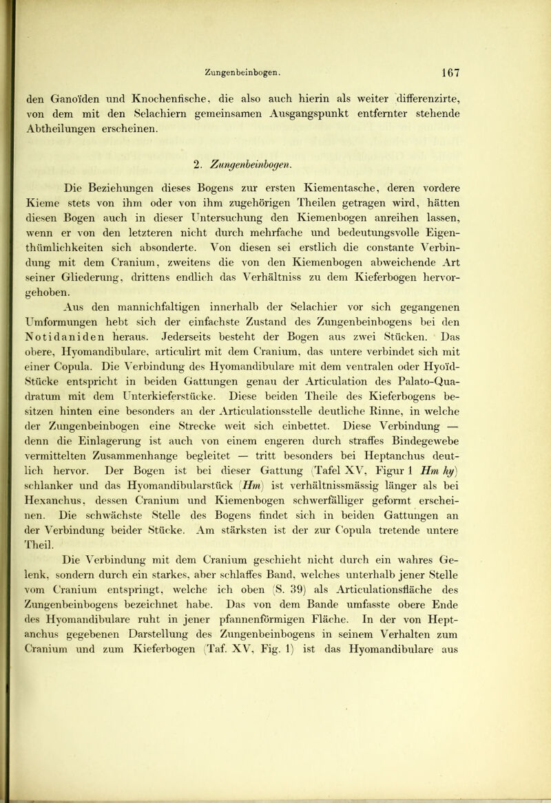 den Ganoiden und Knochenfische, die also auch hierin als weiter differenzirte, von dem mit den Selachiern gemeinsamen Ausgangspunkt entfernter stehende Abtheilungen erscheinen. 2. Zungenbeinbogen. Die Beziehungen dieses Bogens zur ersten Kiementasche, deren vordere Kieme stets von ihm oder von ihm zugehörigen Theilen getragen wird, hätten diesen Bogen auch in dieser Untersuchung den Kiemenbogen anreihen lassen, wenn er von den letzteren nicht durch mehrfache und bedeutungsvolle Eigen- thümlichkeiten sich absonderte. Von diesen sei erstlich die constante Verbin- dung mit dem Cranium, zweitens die von den Kiemenbogen abweichende Art seiner Gliederung, drittens endlich das Verhältniss zu dem Kieferbogen hervor- gehoben. Aus den mannichfaltigen innerhalb der Selachier vor sich gegangenen Umformungen hebt sich der einfachste Zustand des Zungenbeinbogens bei den Notidaniden heraus. Jederseits besteht der Bogen aus zwei Stücken. Das obere, Hyomandibulare, articulirt mit dem Cranium, das untere verbindet sich mit einer Copula. Die Verbindung des Hyomandibulare mit dem ventralen oder Hyo'id- Stücke entspricht in beiden Gattungen genau der Articulation des Palato-Qua- dratum mit dem Unterkieferstücke. Diese beiden Theile des Kieferbogens be- sitzen hinten eine besonders an der Articulationsstelle deutliche Kinne, in welche der Zungenbeinbogen eine Strecke weit sich einbettet. Diese Verbindung — denn die Einlagerung ist auch von einem engeren durch straffes Bindegewebe vermittelten Zusammenhänge begleitet — tritt besonders bei Heptanchus deut- lich hervor. Der Bogen ist bei dieser Gattung (Tafel XV, Figur 1 Hm hg) schlanker und das Hyomandibularstück (Hm) ist verhältnissmässig länger als bei Hexanchus, dessen Cranium und Kiemenbogen schwerfälliger geformt erschei- nen. Die schwächste Stelle des Bogens findet sich in beiden Gattungen an der Verbindung beider Stücke. Am stärksten ist der zur Copula tretende untere Theil. Die Verbindung mit dem Cranium geschieht nicht durch ein wahres Ge- lenk, sondern durch ein starkes, aber schlaffes Band, welches unterhalb jener Stelle vom Cranium entspringt, welche ich oben (S. 39) als Articulationsfläche des Zungenbeinbogens bezeichnet habe. Das von dem Bande umfasste obere Ende des Hyomandibulare ruht in jener pfannenförmigen Fläche. In der von Hept- anchus gegebenen Darstellung des Zungenbeinbogens in seinem Verhalten zum Cranium und zum Kieferbogen (Taf. XV, Fig. 1) ist das Hyomandibulare aus