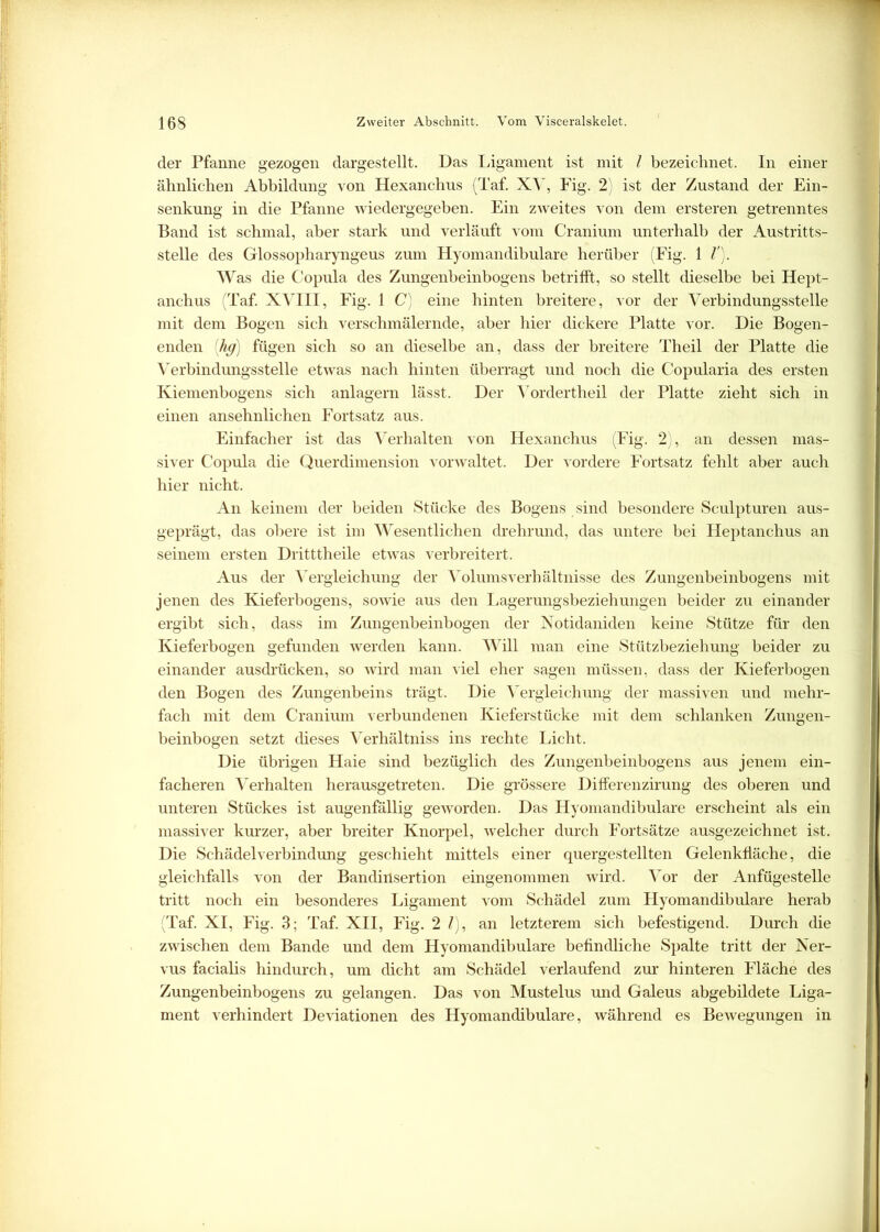 der Pfanne gezogen dargestellt. Das Ligament ist mit l bezeichnet. In einer ähnlichen Abbildung von Hexanchus (Taf. XV, Fig. 2) ist der Zustand der Ein- senkung in die Pfanne Aviedergegeben. Ein zweites von dem ersteren getrenntes Band ist schmal, aber stark und verläuft vom Cranium unterhalb der Austritts- stelle des Glossopharyngeus zum Hyomandibulare herüber (Fig. 1 V). Was die Copula des Zungenbeinbogens betrifft, so stellt dieselbe bei Hept- anchus (Taf. XVIII, Fig. 1 C) eine hinten breitere, vor der Verbindungsstelle mit dem Bogen sich verschmälernde, aber hier dickere Platte vor. Die Bogen- enden [hg) fügen sich so an dieselbe an, dass der breitere Theil der Platte die Verbindungsstelle etwas nach hinten überragt und noch die Copularia des ersten Kiemenbogens sich anlagern lässt. Der Vordertheil der Platte zieht sich in einen ansehnlichen Fortsatz aus. Einfacher ist das Verhalten von Hexanchus (Fig. 2), an dessen mas- siver Copula die Querdimension vorwaltet. Der vordere Fortsatz fehlt aber auch hier nicht. An keinem der beiden Stücke des Bogens sind besondere Sculpturen aus- geprägt, das obere ist im Wesentlichen drehrund, das untere bei Heptanchus an seinem ersten Dritttheile etwas verbreitert. Aus der Vergleichung der Volums Verhältnisse des Zungenbeinbogens mit jenen des Kieferbogens, soAvie aus den Lagerungsbeziehungen beider zu einander ergibt sich, dass im Zungenbeinbogen der Notidaniden keine Stütze für den Kieferbogen gefunden werden kann. Will man eine Stützbeziehung beider zu einander ausdrücken, so Avird man viel eher sagen müssen, dass der Kieferbogen den Bogen des Zungenbeins trägt. Die Vergleichung der massiven und mehr- fach mit dem Cranium verbundenen Kieferstücke mit dem schlanken Zungen- beinbogen setzt dieses Verhältniss ins rechte Licht. Die übrigen Haie sind bezüglich des Zungenbeinbogens aus jenem ein- facheren Verhalten herausgetreten. Die grössere Differenzirung des oberen und unteren Stückes ist augenfällig geAvorden. Das Hyomandibulare erscheint als ein massiver kurzer, aber breiter Knorpel, Avelcher durch Fortsätze ausgezeichnet ist. Die Schädelverbindung geschieht mittels einer quergestellten Gelenkfläche, die gleichfalls von der Bandinsertion eingenommen wird. Vor der Anfügestelle tritt noch ein besonderes Ligament vom Schädel zum Llyomandibulare herab (Taf. XI, Fig. 3; Taf. XII, Fig. 2 1), an letzterem sich befestigend. Durch die zAvischen dem Bande und dem Hyomandibulare befindliche Spalte tritt der Ner- vus facialis hindurch, um dicht am Schädel verlaufend zur hinteren Fläche des Zungenbeinbogens zu gelangen. Das von Mustelus und Galeus abgebildete Liga- ment verhindert Deviationen des Hyomandibulare, während es BeAvegungen in