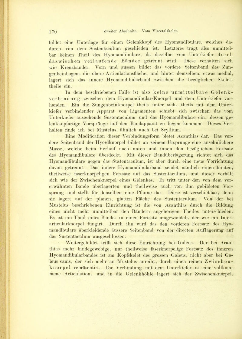 bildet eine Unterlage für einen Gelenkkopf des Hyomandibulare, welches da- durch von dem Sustentaculum geschieden ist. Letzteres trägt also unmittel- bar keinen Theil des Hyomandibulare, da dasselbe vom Unterkiefer durch dazwischen verlaufende Bänder getrennt wird. Diese verhalten sich wie Kreuzbänder. Vorn und aussen bildet das vordere Seitenband des Zun- genbeinbogens die obere Articulationsfläche, und hinter demselben, etwas medial, lagert sich das innere Hyomandibularband zwischen die bezüglichen Skelet- theile ein. In dem beschriebenen Falle ist also keine unmittelbare Gelenk- verbindung zwischen dem Hyomandibular-Knorpel und dem Unterkiefer vor- handen. Ein die Zungenbeinknorpel theils unter sich, theils mit dem Unter- kiefer verbindender Apparat von Ligamenten schiebt sich zwischen das vom Unterkiefer ausgehende Sustentaculum und das Hyomandibulare ein, dessen ge- lenkkopfartige Vorsprünge auf den Bandapparat zu liegen kommen. Dieses Ver- halten finde ich bei Mustelus, ähnlich auch bei Scyllium. Eine Modification dieser Verbindungsform bietet Acanthias dar. Das vor- dere Seitenband der Hyoidknorpel bildet an seinem Ursprünge eine ansehnlichere Masse, welche beim Verlauf nach unten und innen den bezüglichen Fortsatz des Hyomandibulare überdeckt. Mit dieser Bandüberlagerung richtet sich das Hyomandibulare gegen das Sustentaculum, ist aber durch eine neue Vorrichtung davon getrennt. Das innere Hyomandibularband sendet nämlich einen breiten, theil weise faserknorpeligen Fortsatz auf das Sustentaculum, und dieser verhält sich wie der Zwischenknorpel eines Gelenkes. Er tritt unter den von dem vor- erwähnten Bande überlagerten und theilweise auch von ihm gebildeten Vor- sprung und stellt für denselben eine Pfanne dar. Diese ist verschiebbar, denn sie lagert auf der planen, glatten Fläche des Sustentaculum. Von der bei Mustelus beschriebenen Einrichtung ist die von Acanthias durch die Bildung eines nicht mehr unmittelbar den Bändern angehörigen Theiles unterschieden. Es ist ein Theil eines Bandes in einen Fortsatz umgewandelt, der wie ein Inter- articularknorpel fungirt. Durch ihn wird das den vorderen Fortsatz des Hyo- mandibulare überkleidende äussere Seitenband von der directen Auflagerung auf das Sustentaculum ausgeschlossen. Weitergebildet trifft sich diese Einrichtung bei Galeus. Der bei Acan- thias mehr bindegewebige, nur theilweise faserknorpelige Fortsatz des inneren Hyomandibularbandes ist am Kopfskelet des grossen Galeus, nicht aber bei Ga- leus canis, der sich mehr an Mustelus anreiht, durch einen reinen Zwischen- knorpel repräsentirt. Die Verbindung mit dem Unterkiefer ist eine vollkom- mene Articulation, und in die Gelenkhöhle lagert sich der Zwischenknorpel,