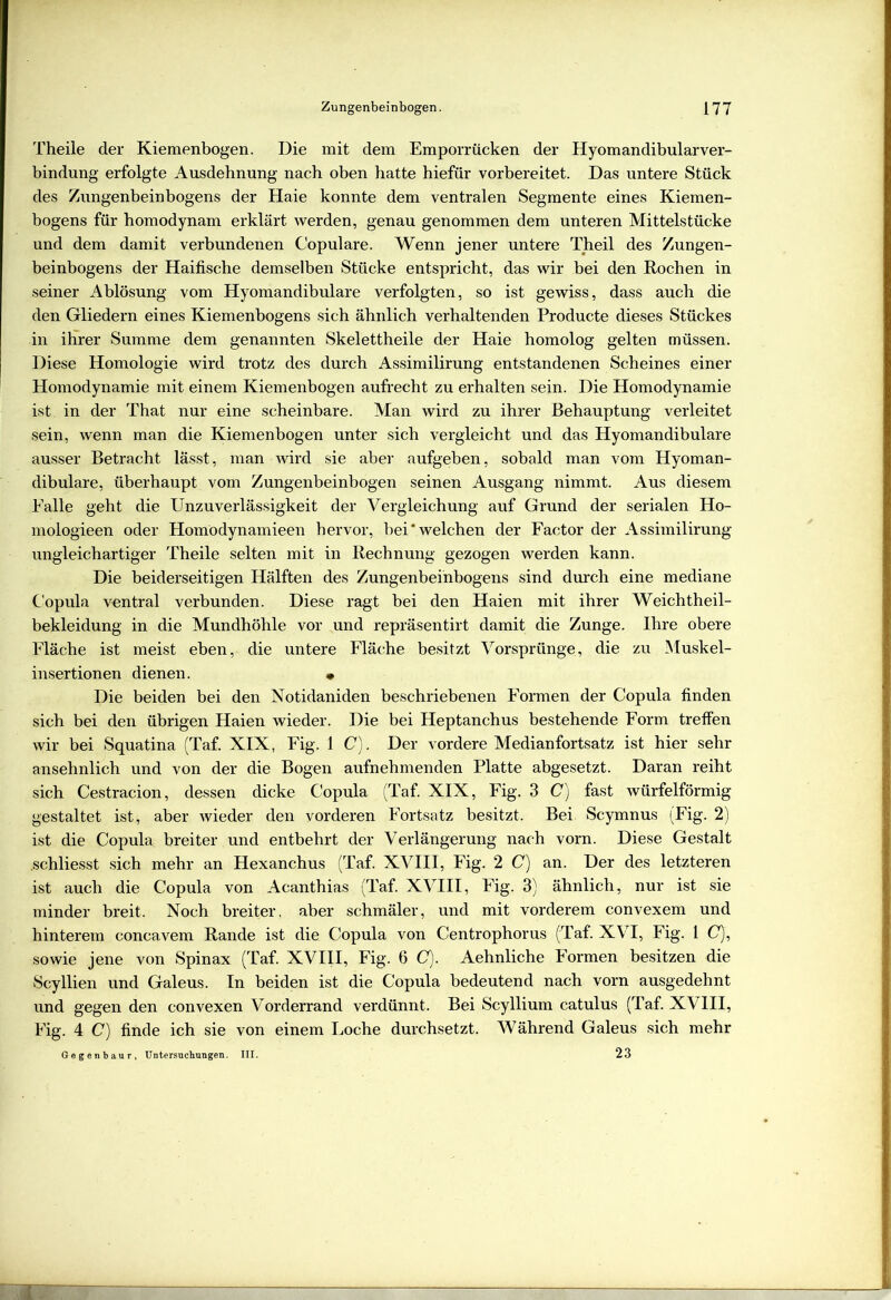 Theile der Kiemenbogen. Die mit dem Emporriicken der Hyomandibularver- bindung erfolgte Ausdehnung nach oben hatte hiefür vorbereitet. Das untere Stück des Zungenbeinbogens der Haie konnte dem ventralen Segmente eines Kiemen- bogens für homodynam erklärt werden, genau genommen dem unteren Mittelstücke und dem damit verbundenen Copulare. Wenn jener untere Theil des Zungen- beinbogens der Haifische demselben Stücke entspricht, das wir bei den Rochen in seiner Ablösung vom Hyomandibulare verfolgten, so ist gewiss, dass auch die den Gliedern eines Kiemenbogens sich ähnlich verhaltenden Producte dieses Stückes in ihrer Summe dem genannten Skelettheile der Haie homolog gelten müssen. Diese Homologie wird trotz des durch Assimilirung entstandenen Scheines einer Homodynamie mit einem Kiemenbogen aufrecht zu erhalten sein. Die Homodynamie ist in der That nur eine scheinbare. Man wird zu ihrer Behauptung verleitet sein, wenn man die Kiemenbogen unter sich vergleicht und das Hyomandibulare ausser Betracht lässt, man wird sie aber aufgeben, sobald man vom Hyoman- dibulare, überhaupt vom Zungenbeinbogen seinen Ausgang nimmt. Aus diesem Falle geht die Unzuverlässigkeit der Vergleichung auf Grund der serialen Ho- mologieen oder Homödynamieen hervor, bei‘welchen der Factor der Assimilirung ungleichartiger Theile selten mit in Rechnung gezogen werden kann. Die beiderseitigen Hälften des Zungenbeinbogens sind durch eine mediane Copula ventral verbunden. Diese ragt bei den Haien mit ihrer Weichtheil- bekleidung in die Mundhöhle vor und repräsentirt damit die Zunge. Ihre obere Fläche ist meist eben, die untere Fläche besitzt Vorsprünge, die zu Muskel- insertionen dienen. • Die beiden bei den Notidaniden beschriebenen Formen der Copula finden sich bei den übrigen Haien wieder. Die bei Heptanchus bestehende Form treffen wir bei Squatina (Taf. XIX, Fig. 1 C). Der vordere Medianfortsatz ist hier sehr ansehnlich und von der die Bogen aufnehmenden Platte abgesetzt. Daran reiht sich Cestracion, dessen dicke Copula (Taf. XIX, Fig. 3 C) fast würfelförmig gestaltet ist, aber wieder den vorderen Fortsatz besitzt. Bei Scymnus (Fig. 2) ist die Copula breiter und entbehrt der Verlängerung nach vorn. Diese Gestalt .schliesst sich mehr an Hexanchus (Taf. XVIII, Fig. 2 C) an. Der des letzteren ist auch die Copula von Acanthias (Taf. XVIII, Fig. 3) ähnlich, nur ist sie minder breit. Noch breiter, aber schmäler, und mit vorderem convexem und hinterem concavem Rande ist die Copula von Centrophorus (Taf. XVI, Fig. 1 C), sowie jene von Spinax (Taf. XVIII, Fig. 6 C). Aehnliche Formen besitzen die Scyllien und Galeus. In beiden ist die Copula bedeutend nach vorn ausgedehnt und gegen den convexen Vorderrand verdünnt. Bei Scyllium catulus (Taf. XVIII, Fig. 4 C) finde ich sie von einem Loche durchsetzt. Während Galeus sich mehr Gegenbaur, Untersuchungen. III. 23