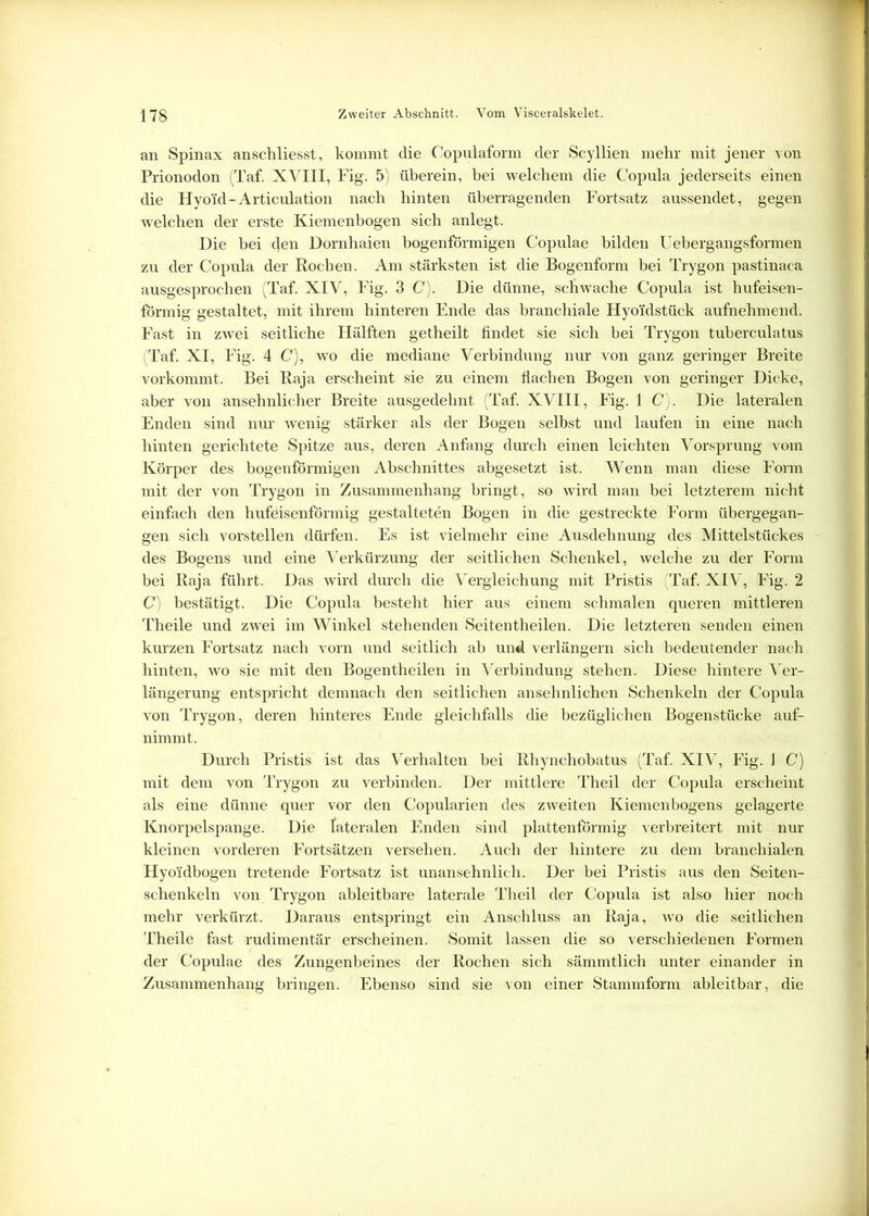 an Spinax anschliesst, kommt die Copulaform der Scyllien mehr mit jener von Prionodon (Taf. XVIII, Fig. 5) überein, bei welchem die Copula jederseits einen die Hyoi'd-Articulation nach hinten überragenden Fortsatz aussendet, gegen welchen der erste Kiemenbogen sich anlegt. Die bei den Dornhaien bogenförmigen Copulae bilden Uebergangsformen zu der Copula der Rochen. Am stärksten ist die Bogenform bei Trygon pastinaca ausgesprochen (Taf. XIV, Fig. 3 C). Die dünne, schwache Copula ist hufeisen- förmig gestaltet, mit ihrem hinteren Ende das branchiale Hyoi'dstück aufnehmend. Fast in zwei seitliche Hälften getheilt findet sie sich bei Trygon tuberculatus (Taf. XI, Fig. 4 C), wo die mediane Verbindung nur von ganz geringer Breite vorkommt. Bei Raja erscheint sie zu einem flachen Bogen von geringer Dicke, aber von ansehnlicher Breite ausgedehnt (Taf. XVIII, Fig. 1 C). Die lateralen Enden sind nur wenig stärker als der Bogen selbst und laufen in eine nach hinten gerichtete Spitze aus, deren Anfang durch einen leichten Vorsprung vom Körper des bogenförmigen Abschnittes abgesetzt ist. Wenn man diese Form mit der von Trygon in Zusammenhang bringt, so wird man bei letzterem nicht einfach den hufeisenförmig gestalteten Bogen in die gestreckte Form übergegan- gen sich vorstellen dürfen. Es ist vielmehr eine Ausdehnung des Mittelstückes des Bogens und eine Verkürzung der seitlichen Schenkel, welche zu der Form bei Raja führt. Das wird durch die Vergleichung mit Pristis (Taf. XIV', Fig. 2 C) bestätigt. Die Copula besteht hier aus einem schmalen queren mittleren Theile und zwei im Winkel stehenden Seitentheilen. Die letzteren senden einen kurzen Fortsatz nach vorn und seitlich ab und verlängern sich bedeutender nach hinten, wo sie mit den Bogentheilen in Verbindung stehen. Diese hintere Ver- längerung entspricht demnach den seitlichen ansehnlichen Schenkeln der Copula von Trygon, deren hinteres Ende gleichfalls die bezüglichen Bogenstücke auf- nimmt. Durch Pristis ist das Verhalten bei Rhynchobatus (Taf. XIV, Fig. J C) mit dem von Trygon zu verbinden. Der mittlere Theil der Copula erscheint als eine dünne quer vor den Copularien des zweiten Kiemenbogens gelagerte Knorpelspange. Die lateralen Enden sind plattenförmig verbreitert mit nur kleinen vorderen Fortsätzen versehen. Auch der hintere zu dem branchialen Hyo'idbogen tretende Fortsatz ist unansehnlich. Der bei Pristis aus den Seiten- schenkeln von Trygon ableitbare laterale Theil der Copula ist also hier noch mehr verkürzt. Daraus entspringt ein Anschluss an Raja, wo die seitlichen Theile fast rudimentär erscheinen. Somit lassen die so verschiedenen Formen der Copulae des Zungenbeines der Rochen sich sämmtlich unter einander in Zusammenhang bringen. Ebenso sind sie von einer Stammform ableitbar, die