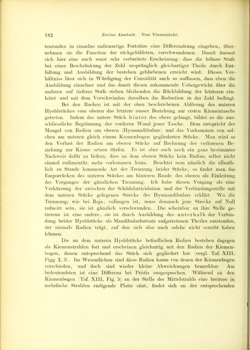 tenrandes in einzelne radienartige Fortsätze eine Differenzirung eingehen, über- nehmen sie die Function der rückgebildeten, verschwundenen. Damit äussert sich hier eine auch sonst sehr verbreitete Erscheinung: dass die höhere Stufe bei einer Beschränkung der Zahl ursprünglich gleichartiger Theile durch Ent- faltung und Ausbildung der bestehen gebliebenen erreicht wird. Dieses Ver- hältniss lässt sich in Würdigung der Causalität auch so auffassen, dass eben die Ausbildung einzelner und das damit diesen zukommende Uebergewicht über die anderen auf tieferer Stufe stehen bleibenden die Rückbildung der letzteren ein- leitet und mit dem Verschwinden derselben die Reduction in der Zahl bedingt. Bei den Rochen ist mit der oben beschriebenen Ablösung des unteren Hyo'idstückes vom oberen das letztere ausser Beziehung zur ersten Kiementasche getreten. Indem das untere Stück hinter das obere gelangt, bildet es die aus- schliessliche Begränzung der vorderen Wand jener Tasche. Dem entspricht der Mangel von Radien am oberen (Hyomandibulare) und das Vorkommen von sol- chen am unteren gleich einem Kiemenbogen gegliederten Stücke. Man wird so den Verlust der Radien am oberen Stücke auf Rechnung der verlorenen Be- ziehung zur Kieme setzen dürfen. Es ist aber auch noch ein ganz bestimmter Nachweis dafür zu liefern, dass an dem oberen Stücke kein Radius, selbst nicht einmal rudimentär, mehr Vorkommen kann. Beachtet man nämlich die allmäh- lich zu Stande kommende Art der Trennung beider Stücke, so findet man das Emporrücken des unteren Stückes am hinteren Rande des oberen als Einleitung des Vorganges der gänzlichen Trennung. Ich habe diesen Vorgang als eine Verkürzung der zwischen der Schädelarticulation und der Verbindungsstelle mit dem unteren Stücke gelegenen Strecke des Hyomandibulare erklärt. Wo die Trennung,- wie bei Raja, vollzogen ist, muss demnach jene Strecke auf Null reducirt sein, sie ist gänzlich verschwunden. Die scheinbar an ihre Stelle ge- tretene ist eine andere, sie ist durch Ausbildung des unterhalb der Verbin- dung beider Hyoidstücke als Mandibularfortsatz aufgetretenen Theiles entstanden, der niemals Radien trägt, auf den sich also auch solche nicht vererbt haben können. Die an dem unteren Hyoidstücke befindlichen Radien bestehen dagegen als Kiemenstrahlen fort und erscheinen gleichartig mit den Radien der Kiemen- bogen, denen entsprechend das Stück sich gegliedert hat (vergl. Taf. XIII, Figg. 2, 3). Im Wesentlichen sind diese Radien kaum von denen der Kiemenbogen verschieden, und doch sind wieder kleine Abweichungen bemerkbar. Am bedeutendsten ist eine Differenz bei Pristis ausgesprochen. Während an den Kiemenbogen (Taf. XIII, Fig. 5) an der Stelle des Mittelstrahls eine breitere in mehrfache Strahlen endigende Platte sitzt, findet sich an der entsprechenden