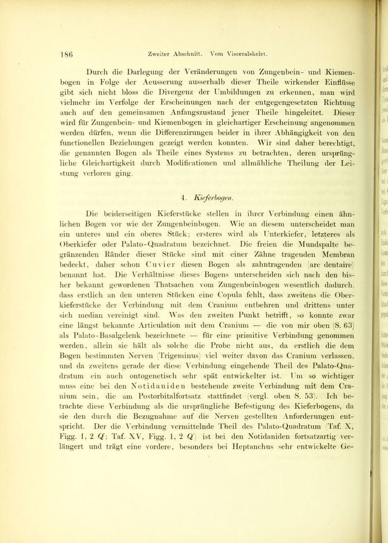 Durch die Darlegung- der Veränderungen von Zungenbein- und Kiemen- bogen in Folge der Aeusserung ausserhalb dieser Theile wirkender Einflüsse gibt sich nicht bloss die Divergenz der Umbildungen zu erkennen, man wird vielmehr im Verfolge der Erscheinungen nach der entgegengesetzten Richtung auch auf den gemeinsamen Anfangszustand jener Theile hingeleitet. Dieser wird für Zungenbein- und Kiemenbogen in gleichartiger Erscheinung angenommen werden dürfen, wenn die DifFerenzirungen beider in ihrer Abhängigkeit von den funetionellen Beziehungen gezeigt werden konnten. Wir sind daher berechtigt, die genannten Bogen als Theile eines Systems zu betrachten, deren ursprüng- liche Gleichartigkeit durch Modificationen und allmähliche Theilung der Lei- stung verloren ging. 4. Kieferbogen. Die beiderseitigen Kieferstücke stellen in ihrer Verbindung einen ähn- lichen Bogen vor wie der Zungenbeinbogen. Wie an diesem unterscheidet man ein unteres und ein oberes Stück; ersteres wird als Unterkiefer, letzteres als Oberkiefer oder Palato-Quadratum bezeichnet. Die freien die Mundspalte be- gränzenden Ränder dieser Stücke sind mit einer Zähne tragenden Membran bedeckt, daher schon Cu vier diesen Bogen als zahntragenden (arc dentaire; benannt hat. Die Verhältnisse dieses Bogens unterscheiden sich nach den bis- her bekannt gewordenen Thatsachen vom Zungenbeinbogen wesentlich dadurch, dass erstlich an den unteren Stücken eine Copula fehlt, dass zweitens die Ober- kieferstücke der Verbindung mit dem Cranium entbehren und drittens unter sich median vereinigt sind. Was den zweiten Punkt betrifft, so konnte zwar eine längst bekannte Articulation mit dem Cranium — die von mir oben (S. 63) als Palato-Basalgelenk bezeichnete — für eine primitive Verbindung genommen werden, allein sie hält als solche die Probe nicht aus, da erstlich die dem Bogen bestimmten Nerven Trigeminus) viel weiter davon das Cranium verlassen, und da zweitens gerade der diese Verbindung eingehende Th eil des Palato-Qua- dratum ein auch ontogenetisch sehr spät entwickelter ist. Um so wichtiger muss eine bei den Notidaniden bestehende zweite Verbindung mit dem Cra- nium sein, die am Postorbitalfortsatz stattfindet (vergl. oben S. 53). Ich be- trachte diese Verbindung als die ursprüngliche Befestigung des Kieferbogens, da sie den durch die Bezugnahme auf die Nerven gestellten Anforderungen ent- spricht. Der die Verbindung vermittelnde Theil des Palato-Quadratum (Taf. X, Figg. 1,2 Q; Taf. XV, Figg. 1,2 Q!) ist bei den Notidaniden fortsatzartig ver- längert und trägt eine vordere, besonders bei Heptanchus sehr entwickelte Ge-