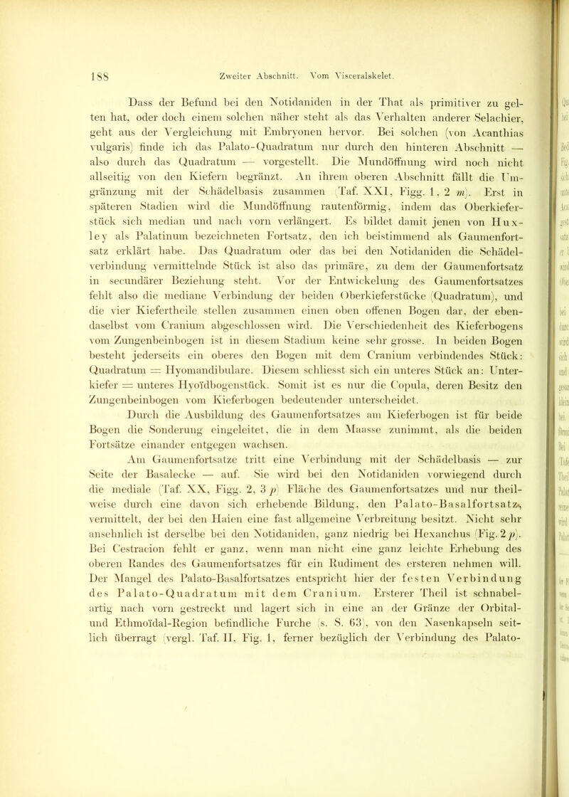 Dass der Befund bei den Notidaniden in der That als primitiver zu gel- ten hat, oder doch einem solchen näher steht als das Verhalten anderer Selachier, geht aus der Vergleichung mit Embryonen hervor. Bei solchen (von Acanthias vulgaris) finde ich das Palato-Quadratum nur durch den hinteren Abschnitt — also durch das Quadratum — vorgestellt. Die Mundöffnung wird noch nicht allseitig von den Kiefern begränzt. An ihrem oberen Abschnitt fällt die Urn- gränzung mit der Schädelbasis zusammen Taf. XXI, Figg. 1, 2 m). Erst in späteren Stadien wird die Mundöffnung rautenförmig, indem das Oberkiefer- stück sich median und nach vorn verlängert. Es bildet damit jenen von Hux- ley als Palatinum bezeichneten Fortsatz, den ich beistimmend als Gaumenfort- satz erklärt habe. Das Quadratum oder das bei den Notidaniden die Schädel- verbindung vermittelnde Stück ist also das primäre, zu dem der Gaumenfortsatz in secundärer Beziehung steht. Vor der Entwickelung des Gaumenfortsatzes fehlt also die mediane Verbindung der beiden Oberkieferstücke (Quadratum), und die vier Kiefertheile stellen zusammen einen oben offenen Bogen dar, der eben- daselbst vom Cranium abgeschlossen wird. Die Verschiedenheit des Kieferbogens vom Zungenbeinbogen ist in diesem Stadium keine sehr grosse. In beiden Bogen besteht jederseits ein oberes den Bogen mit dem Cranium verbindendes Stück: Quadratum = Hyomandibulare. Diesem schliesst sich ein unteres Stück an: Unter- kiefer = unteres Hyoi'dbogenstück. Somit ist es nur die Copula, deren Besitz den Zungenbeinbogen vom Kieferbogen bedeutender unterscheidet. Durch die Ausbildung des Gaumenfortsatzes am Kieferbogen ist für beide Bogen die Sonderung eingeleitet, die in dem Maasse zunimmt, als die beiden Fortsätze einander entgegen wachsen. Am Gaumenfortsatze tritt eine Verbindung mit der Schädelbasis — zur Seite der Basalecke — auf. Sie wird bei den Notidaniden vorwiegend durch die mediale (Taf. XX, Figg. 2, 3 p) Fläche des Gaumenfortsatzes und nur theil- weise durch eine davon sich erhebende Bildung, den Palato-Basalfortsatz^ vermittelt, der bei den Haien eine fast allgemeine Verbreitung besitzt. Nicht sehr ansehnlich ist derselbe bei den Notidaniden, ganz niedrig bei Hexanchus (Fig. 2 p). Bei Cestracion fehlt er ganz, wenn man nicht eine ganz leichte Erhebung des oberen Randes des Gaumenfortsatzes für ein Rudiment des ersteren nehmen will. Der Mangel des Palato-Basalfortsatzes entspricht hier der festen Verbindung des Palato-Quadratum mit dem Cranium. Ersterer Theil ist schnabel- artig nach vorn gestreckt und lagert sich in eine an der Gränze der Orbital- und Ethmo'idal-Region befindliche Furche (s. S. 63), von den Nasenkapseln seit- lich überragt ivergl. Taf. II, Fig. 1, ferner bezüglich der Verbindung des Palato-