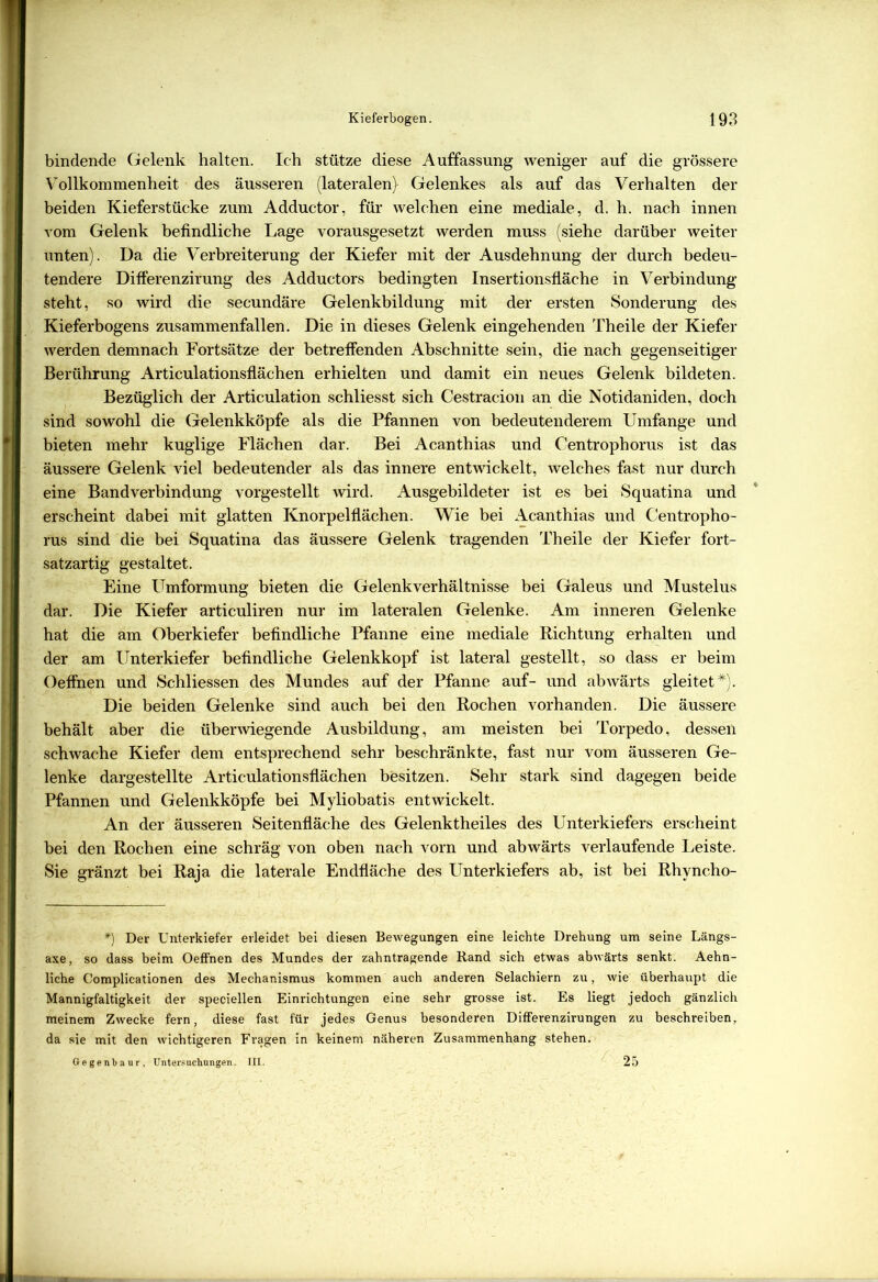 bindende Gelenk halten. Ich stütze diese Auffassung weniger auf die grössere Vollkommenheit des äusseren (lateralen) Gelenkes als auf das Verhalten der beiden Kieferstücke zum Adductor, für welchen eine mediale, d. h. nach innen vom Gelenk befindliche Lage vorausgesetzt werden muss (siehe darüber weiter unten). Da die Verbreiterung der Kiefer mit der Ausdehnung der durch bedeu- tendere Differenzirung des Adductors bedingten Insertionsfläche in Verbindung steht, so wird die secundäre Gelenkbildung mit der ersten Sonderung des Kieferbogens zusammenfallen. Die in dieses Gelenk eingehenden Theile der Kiefer werden demnach Fortsätze der betreffenden Abschnitte sein, die nach gegenseitiger Berührung Articulationsflächen erhielten und damit ein neues Gelenk bildeten. Bezüglich der Articulation schliesst sich Cestracion an die Notidaniden, doch sind sowohl die Gelenkköpfe als die Pfannen von bedeutenderem Umfange und bieten mehr kuglige Flächen dar. Bei Acanthias und Centrophorus ist das äussere Gelenk viel bedeutender als das innere entwickelt, welches fast nur durch eine Band Verbindung vorgestellt wird. Ausgebildeter ist es bei Squatina und erscheint dabei mit glatten Knorpelflächen. Wie bei Acanthias und Centropho- rus sind die bei Squatina das äussere Gelenk tragenden Theile der Kiefer fort- satzartig gestaltet. Eine Umformung bieten die Gelenkverhältnisse bei Galeus und Mustelus dar. Die Kiefer articuliren nur im lateralen Gelenke. Am inneren Gelenke hat die am Oberkiefer befindliche Pfanne eine mediale Richtung erhalten und der am Unterkiefer befindliche Gelenkkopf ist lateral gestellt, so dass er beim Oeffnen und Schliessen des Mundes auf der Pfanne auf- und abwärts gleitet*). Die beiden Gelenke sind auch bei den Rochen vorhanden. Die äussere behält aber die überwiegende Ausbildung, am meisten bei Torpedo, dessen schwache Kiefer dem entsprechend sehr beschränkte, fast nur vom äusseren Ge- lenke dargestellte Articulationsflächen besitzen. Sehr stark sind dagegen beide Pfannen und Gelenkköpfe bei Myliobatis entwickelt. An der äusseren Seitenfläche des Gelenktheiles des Unterkiefers erscheint bei den Rochen eine schräg von oben nach vorn und abwärts verlaufende Leiste. Sie gränzt bei Raja die laterale Endfläche des Unterkiefers ab, ist bei Rhvncho- *) Der Unterkiefer erleidet bei diesen Bewegungen eine leichte Drehung um seine Längs- axe, so dass beim Oeffnen des Mundes der zahntragende Rand sich etwas abwärts senkt. Aehn- liche Complicationen des Mechanismus kommen auch anderen Selachiern zu, wie überhaupt die Mannigfaltigkeit der speciellen Einrichtungen eine sehr grosse ist. Es liegt jedoch gänzlich meinem Zwecke fern, diese fast für jedes Genus besonderen Differenzirungen zu beschreiben, da sie mit den wichtigeren Fragen in keinem näheren Zusammenhang stehen. Gegenbaur, Untersuchungen. III. 25