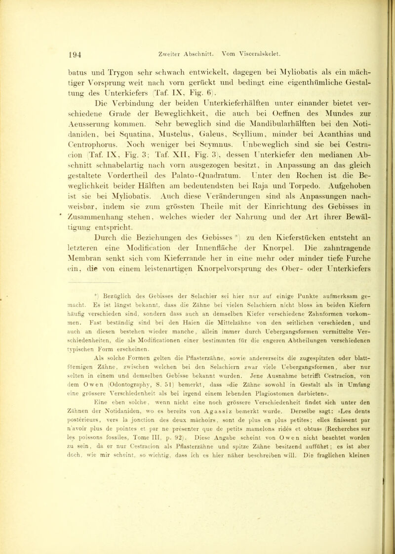 batus und Trygon sehr schwach entwickelt, dagegen bei Myliobatis als ein mäch- tiger Vorsprung weit nach vorn gerückt und bedingt eine eigenthümliche Gestal- tung des Unterkiefers (Taf. IX, Fig. 6). Die Verbindung der beiden Unterkieferhälften unter einander bietet ver- schiedene Grade der Beweglichkeit, die auch bei Oeffnen des Mundes zur Aeusserung kommen. Sehr beweglich sind die Mandibularhälften bei den Noti- daniden, bei Squatina, Mustelus, Galeus, Scyllium, minder bei Acanthias und Centrophorus. Noch weniger bei Scymnus. Unbeweglich sind sie bei Cestra- cion (Taf. IX, Fig. 3; Taf. XII, Fig. 3), dessen Unterkiefer den medianen Ab- schnitt schnabelartig nach vorn ausgezogen besitzt, in Anpassung an das gleich gestaltete Vordertheil des Palato-Quadratum. Unter den Rochen ist die Be- weglichkeit beider Hälften am bedeutendsten bei Raja und Torpedo. Aufgehoben ist sie bei Myliobatis. Auch diese Veränderungen sind als Anpassungen nach- weisbar, indem sie zum grössten Theile mit der Einrichtung des Gebisses in Zusammenhang stehen, welches wieder der Nahrung und der Art ihrer Bewäl- tigung entspricht. Durch die Beziehungen des Gebisses ' zu den Kieferstücken entsteht an letzteren eine Modification der Innenfläche der Knorpel. Die zahntragende Membran senkt sich vom Kieferrande her in eine mehr oder minder tiefe Furche ein, die von einem leistenartigen Knorpelvorsprung des Ober- oder Unterkiefers ': Bezüglich des Gebisses der Selachier sei hier nur auf einige Punkte aufmerksam ge- macht. Es ist längst bekannt, dass die Zähne bei vielen Selachiern nicht bloss an beiden Kiefern häufig verschieden sind, sondern dass auch an demselben Kiefer verschiedene Zahnformen Vorkom- men. Fast beständig sind bei den Haien die Mittelzähne von den seitlichen verschieden, und auch an diesen bestehen wieder manche, allein immer durch Uebergangsformen vermittelte Ver- schiedenheiten, die als Modificationen einer bestimmten für die engeren Abtheilungen verschiedenen typischen Form erscheinen. Als solche Formen gelten die Pflasterzähne, sowie andererseits die zugespitzten oder blatt- förmigen Zähne, zwischen welchen bei den Selachiern zwar viele Uebergangsformen, aber nur selten in einem und demselben Gebisse bekannt wurden. Jene Ausnahme betrifft Cestracion, von dem Owen (Odontography, S. 51) bemerkt, dass »die Zähne sowohl in Gestalt als in Umfang eine grössere Verschiedenheit als bei irgend einem lebenden Plagiostomen darbieten«. Eine eben solche, wenn nicht eine noch grössere Verschiedenheit findet sich unter den Zähnen der Notidaniden, wo es bereits von Agassiz bemerkt wurde. Derselbe sagt: »Les dents posterieurs, vers la jonction des deux mächoirs, sont de plus en plus petites; eiles finissent par n’avoir plus de pointes et par ne presenter que de petits mamelons rides et obtus« (Recherches sur les poissons fossiles, Tome III, p. 92). Diese Angabe scheint von Owen nicht beachtet worden zu sein, da er nur Cestracion als Pflasterzähne und spitze Zähne besitzend aufführt; es ist aber döch, wie mir scheint, so wichtig, dass ich es hier näher beschreiben will. Die fraglichen kleinen