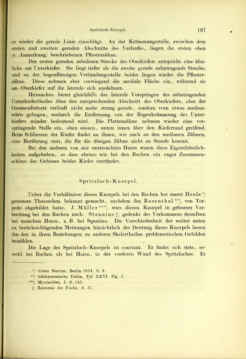 I er wieder die gerade Linie einschlägt. An der Krümmungsstelle, zwischen dem I ersten und zweiten geraden Abschnitte des Verlaufes, liegen die ersten oben I (s. Anmerkung) beschriebenen Pflasterzähne. Der ersten geraden zahnlosen Strecke des Oberkiefers entspricht eine ähn- liche am Unterkiefer. Sie liegt tiefer als die zweite gerade zahntragende Strecke, und an der bogenförmigen Verbindungsstelle beider liegen wieder die Pflaster- zähne. Diese nehmen aber vorwiegend die mediale Fläche ein, während sie am Oberkiefer auf die laterale sich ausdehnen. Hexanchus bietet gleichfalls das laterale Vorspringen des zahntragenden Unterkiefertheiles über den entsprechenden Abschnitt des Oberkiefers, aber der Gaumenfortsatz verläuft nicht mehr streng gerade, sondern vorn etwas median- wärts gebogen, wodurch die Entfernung von der Bogenkrümmung des Unter- kiefers minder bedeutend wird. Die Plattenzähne nehmen wieder eine vor- springende Stelle ein, oben aussen, unten innen über den Kieferrand greifend. Beim Schliessen der Kiefer findet an ihnen, wie auch an den medianen Zähnen, eine Berührung statt, die für die übrigen Zähne nicht zu Stande kommt. Bei den anderen von mir untersuchten Haien waren diese Eigentümlich- keiten aufgehoben, so dass ebenso wie bei den Rochen ein enger Zusammen- I Schluss des Gebisses beider Kiefer stattfindet. Spritzloch-Knorpel. Ueber die Verhältnisse dieses Knorpels bei den Rochen hat zuerst Henle* **) ***)) genauere Thatsachen bekannt gemacht, nachdem ihn Rosenthal von Tor- pedo abgebildet hatte. J. Müller ###) wies diesen Knorpel in grösserer Ver- breitung bei den Rochen nach. Stanniusj) gedenkt des Vorkommens desselben bei manchen Haien, z. B. bei Squatina. Die Verschiedenheit der weiter unten zu berücksichtigenden Meinungen hinsichtlich der Deutung dieses Knorpels lassen ihn den in ihren Beziehungen zu anderen Skelettheilen problematischen Gebilden beizählen. Die Lage des Spritzloch-Knorpels ist constant. Er findet sich stets, so- wohl bei Rochen als bei Haien, in der vorderen Wand des Spritzloches. Er *) üeber Narcine, Berlin 1834, S. 8. **) Ichtbyotomische Tafeln, Taf- XXVI, Fig. 3. ***) Myxinoiden, I, S. 142. f) Zootomie der Fische, S. 47.