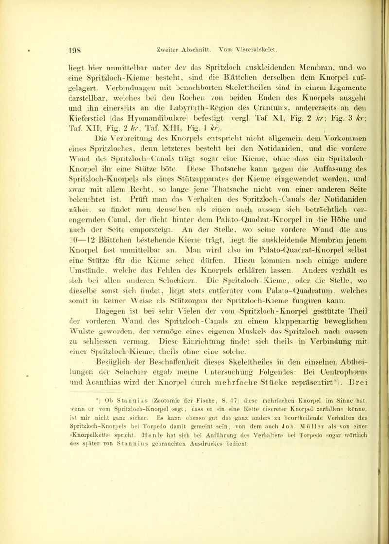 liegt hier unmittelbar unter der das Spritzloch auskleidenden Membran, und wo eine Spritzloch-Kieme besteht, sind die Blättchen derselben dem Knorpel auf- gelagert. Verbindungen mit benachbarten Skelettheilen sind in einem Ligamente darstellbar, welches bei den Rochen von beiden Enden des Knorpels ausgeht und ihn einerseits an die Labyrinth-Region des Craniums, andererseits an den Kieferstiel (das Hyomandibulare) befestigt vergl. Taf. XI, Fig. 2 kr; Fig. 3 kr; Taf. XII, Fig. 2 kr; Taf. XIII, Fig. 1 kr). Die Verbreitung des Knorpels entspricht nicht allgemein dem Vorkommen eines Spritzloches, denn letzteres besteht bei den Notidaniden, und die vordere Wand des Spritzloch-Canals trägt sogar eine Kieme, ohne dass ein Spritzloch- Knorpel ihr eine Stütze böte. Diese Thatsache kann gegen die Auffassung des Spritzloch-Knorpels als eines Stützapparates der Kieme eingewendet werden, und zwar mit allem Recht, so lange jene Thatsache nicht von einer anderen Seite beleuchtet ist. Prüft man das Verhalten des Spritzloch-Canals der Notidaniden näher, so findet man denselben als einen nach aussen sich beträchtlich ver- engernden Canal, der dicht hinter dem Palato-Quadrat-Knorpel in die Höhe und nach der Seite emporsteigt. An der Stelle, wo seine vordere Wand die aus 10—12 Blättchen bestehende Kieme trägt, liegt die auskleidende Membran jenem Knorpel fast unmittelbar an. Man wird also im Palato-Quadrat-Knorpel selbst eine Stütze für die Kieme sehen dürfen. Hiezu kommen noch einige andere Umstände, welche das Fehlen des Knorpels erklären lassen. Anders verhält es sich bei allen anderen Selachiern. Die Spritzloch-Kieme, oder die Stelle, wo dieselbe sonst sich findet, liegt stets entfernter vom Palato-Quadratum, welches somit in keiner Weise als Stützorgan der Spritzloch-Kieme fungiren kann. Dagegen ist bei sehr Vielen der vom Spritzloch-Knorpel gestützte Theil der vorderen Wand des Spritzloch-Canals zu einem klappenartig beweglichen Wulste geworden, der vermöge eines eigenen Muskels das Spritzloch nach aussen zu schliessen vermag. Diese Einrichtung findet sich theils in Verbindung mit einer Spritzloch-Kieme, theils ohne eine solche. Bezüglich der Beschaffenheit dieses Skelettheiles in den einzelnen Abthei- lungen der Selachier ergab meine Untersuchung Folgendes: Bei Centrophorus und Acanthias wird der Knorpel durch mehrfache Stücke repräsentirt*). Drei *) Ob Stannius (Zootomie der Fische, S. 47) diese mehrfachen Knorpel im Sinne hat, wenn er vom Spritzloch-Knorpel sagt, dass er »in eine Kette discreter Knorpel zerfallen« könne, ist mir nicht ganz sicher. Es kann ebenso gut das ganz anders zu beurtheilende Verhalten des Spritzloch-Knorpels bei Torpedo damit gemeint sein, von dem auch Joh. Müller als von einer »Knorpelkette« spricht. He nie hat sich bei Anführung des Verhaltens bei Torpedo sogar wörtlich des später von Stannius gebrauchten Ausdruckes bedient.